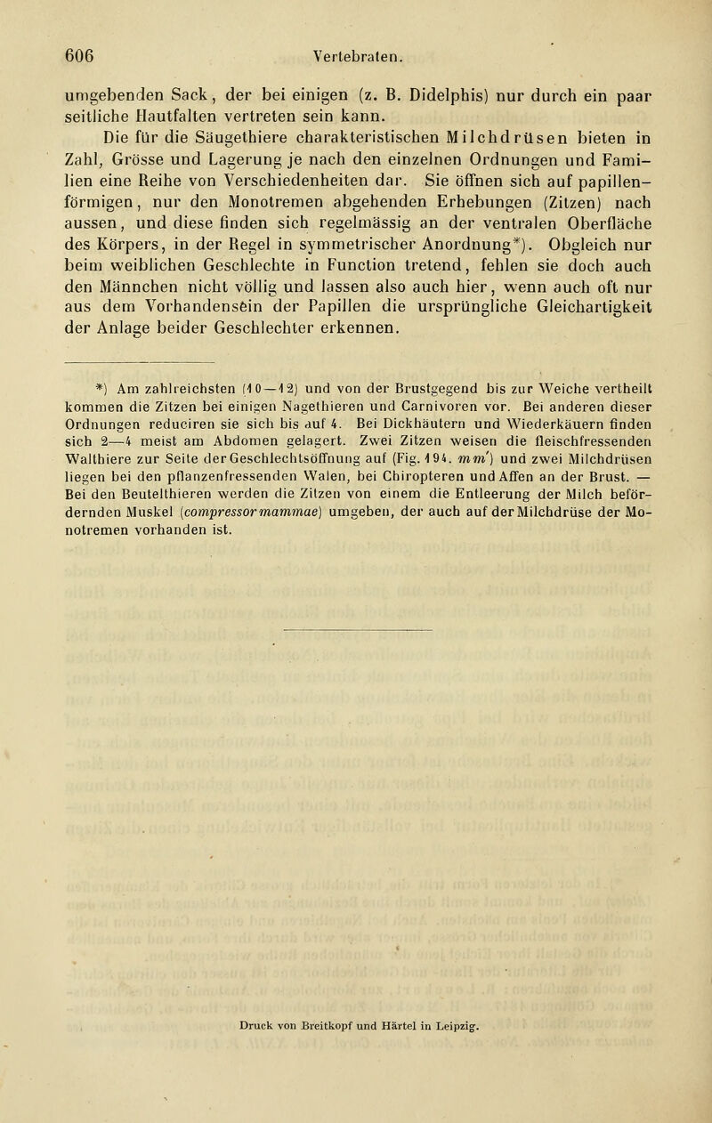 umgebenden Sack, der bei einigen (z. B. Didelphis) nur durch ein paar seitliche Hautfalten vertreten sein kann. Die für die Säugethiere charakteristischen Milchdrüsen bieten in Zahl, Grösse und Lagerung je nach den einzelnen Ordnungen und Fami- lien eine Reihe von Verschiedenheiten dar. Sie öffnen sich auf papillen- förmigen, nur den Monotremen abgehenden Erhebungen (Zitzen) nach aussen, und diese finden sich regelmässig an der ventralen Oberfläche des Körpers, in der Regel in symmetrischer Anordnung*). Obgleich nur beim weiblichen Geschlechte in Function tretend, fehlen sie doch auch den Männchen nicht völlig und lassen also auch hier, wenn auch oft nur aus dem Vorhandensein der Papillen die ursprüngliche Gleichartigkeit der Anlage beider Geschlechter erkennen. *) Am zahlreichsten (10 —12) und von der Brustgegend bis zur Weiche vertheilt kommen die Zitzen bei einigen Nagethieren und Carnivoren vor. Bei anderen dieser Ordnungen reduciren sie sich bis auf 4. Bei Dickhäutern und Wiederkäuern finden sich 2—4 meist am Abdomen gelagert. Zwei Zitzen weisen die fleischfressenden Walthiere zur Seite derGeschlechtsöffhung auf (Fig. 194. mm) und zwei Milchdrüsen liegen bei den pflanzenfressenden Walen, bei Chiropteren und Affen an der Brust. — Bei den Beutelthieren werden die Zitzen von einem die Entleerung der Milch beför- dernden Muskel (compressor mammae) umgeben, der auch auf der Milchdrüse der Mo- notremen vorhanden ist. Druck von Breitkopf und Härtel in Leipzig