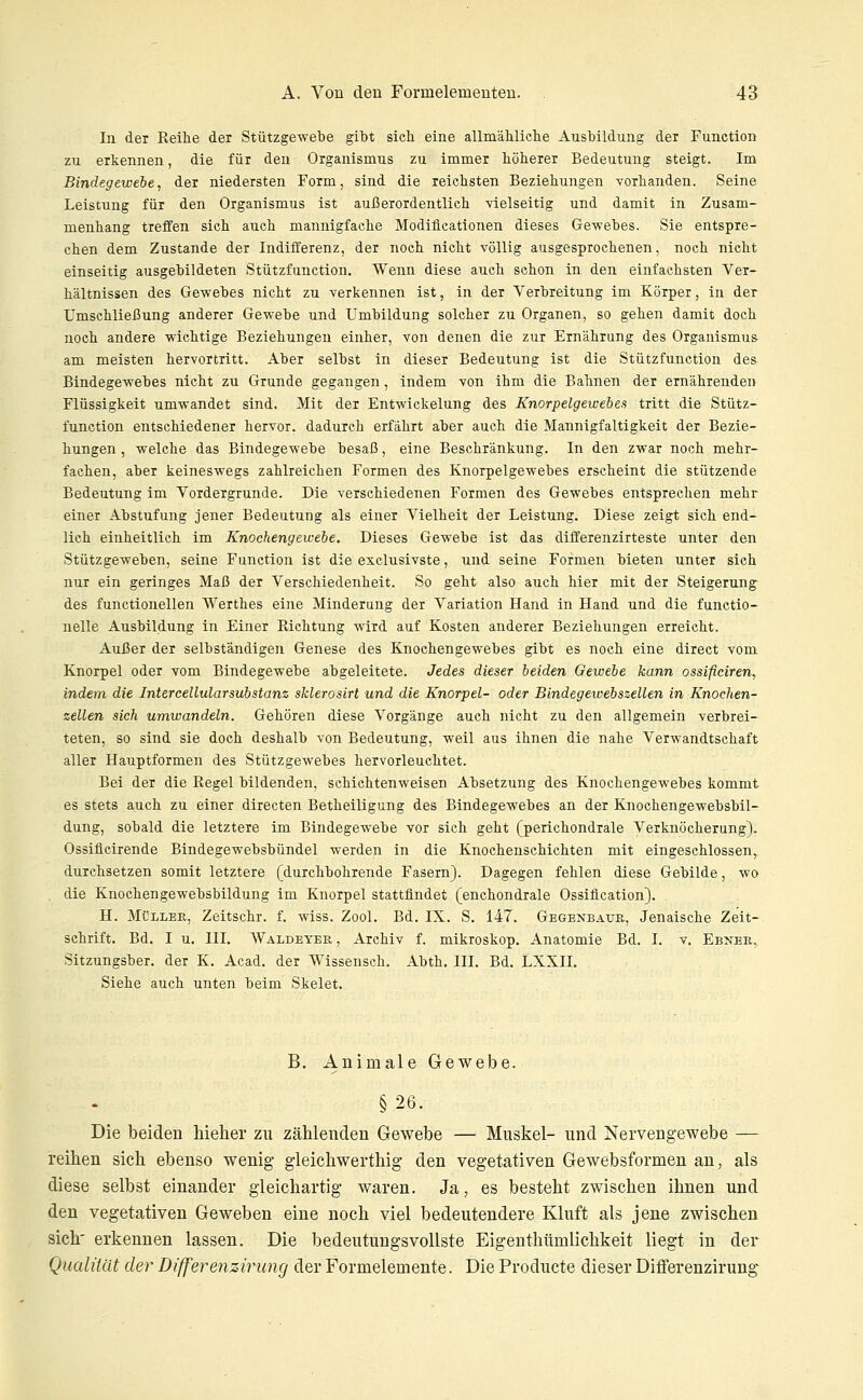 In der Reihe der Stützgewebe gibt sieb eine allmählicbe Ausbildung der Function zu erkennen, die für den Organismus zu immer höherer Bedeutung steigt. Im Bindegewebe, der niedersten Form, sind die reichsten Beziehungen vorhanden. Seine Leistung für den Organismus ist außerordentlich vielseitig und damit in Zusam- menhang treffen sich auch mannigfache Modiflcationen dieses Gewebes. Sie entspre- chen dem Zustande der Indifferenz, der noch nicht völlig ausgesprochenen, noch nicht einseitig ausgebildeten Stützfunction. Wenn diese auch schon in den einfachsten Ver- hältnissen des Gewebes nicht zu verkennen ist, in der Verbreitung im Körper, in der Umschließung anderer Gewebe und Umbildung solcher zu Organen, so gehen damit doch noch andere wichtige Beziehungen einher, von denen die zur Ernährung des Organismus am meisten hervortritt. Aber selbst in dieser Bedeutung ist die Stützfunction des Bindegewebes nicht zu Grunde gegangen, indem von ihm die Bahnen der ernährenden Flüssigkeit umwandet sind. Mit der Entwickelung des Knorpelgewebes tritt die Stütz- function entschiedener hervor, dadurch erfährt aber auch die Mannigfaltigkeit der Bezie- hungen , welche das Bindegewebe besaß, eine Beschränkung. In den zwar noch mehr- fachen, aber keineswegs zahlreichen Formen des Knorpelgewebes erscheint die stützende Bedeutung im Vordergrunde. Die verschiedenen Formen des Gewebes entsprechen mehr einer Abstufung jener Bedeutung als einer Vielheit der Leistung. Diese zeigt sich end- lich einheitlich im Knochengewebe, Dieses Gewebe ist das differenzirteste unter den Stützgeweben, seine Function ist die exclusivste, und seine Formen bieten unter sich nur ein geringes Maß der Verschiedenheit. So geht also auch hier mit der Steigerung des functionellen Werthes eine Minderung der Variation Hand in Hand und die functio- nelle Ausbildung in Einer Richtung wird auf Kosten anderer Beziehungen erreicht. Außer der selbständigen Genese des Knochengewebes gibt es noch eine direct vom Knorpel oder vom Bindegewebe abgeleitete. Jedes dieser beiden Gewebe kann ossificiren, indem die Intercellularsubstanz sklerosirt und die Knorpel- oder Bindegewebszellen in Knochen- zellen sich umwandeln. Gehören diese Vorgänge auch nicht zu den allgemein verbrei- teten, so sind sie doch deshalb von Bedeutung, weil aus ihnen die nahe Verwandtschaft aller Hauptformen des Stützgewebes hervorleuchtet. Bei der die Regel bildenden, schichtenweisen Absetzung des Knochengewebes kommt es stets auch zu einer directen Betheiligung des Bindegewebes an der Knochengewebsbil- dung, sobald die letztere im Bindegewebe vor sich geht (perichondrale Verknöcherung). Ossifieirende Bindegewebsbündel werden in die Knochenschichten mit eingeschlossen,, durchsetzen somit letztere (durchbohrende Fasern). Dagegen fehlen diese Gebilde, wo die Knochengewebsbildung im Knorpel stattfindet (enchondrale Ossiflcation). H. Müller, Zeitschr. f. wiss. Zool. Bd. IX. S. 147. Gegenbauk, Jenaische Zeit- schrift. Bd. I u. III. AValdeyer , Archiv f. mikroskop. Anatomie Bd. I. v. Ebner, Sitzungsber. der K. Acad. der Wissensch. Abth, III. Bd. LXXII. Siehe auch unten beim Skelet. B. Animale Gewebe. §26. Die beiden Meher zu zählenden Gewebe — Muskel- und Nervengewebe — reihen sich ebenso wenig gleichwerthig den vegetativen Gewebsformen an, als diese selbst einander gleichartig waren. Ja, es besteht zwischen ihnen und den vegetativen Geweben eine noch viel bedeutendere Kluft als jene zwischen sich' erkennen lassen. Die bedeutungsvollste Eigenthümlichkeit liegt in der Qualität der Differenzirung der Formelemente. Die Producte dieser Differenzirung