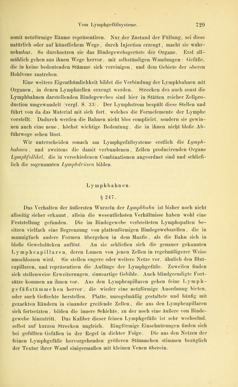 somit netzförmige Räume repräsentiren. Nur der Zustand der Füllung, sei diese nattirlicli oder auf künstlichem Wege, durch Injection erzeugt, macht sie wahr- nehmbar. So durchsetzen sie das Bindegewebsgerüste der Organe. Erst all- mählich gehen aus ihnen Wege hervor, mit selbständigen Wandungen : Gefäße, die in keine bedeutenden Stämme sich vereinigen, und dem Gebiete der oberen Hohlvene zustreben. Eine weitere Eigenthümlichkeit bildet die Verbindung der Lymphbahnen mit Organen, in denen Lymphzellen erzeugt werden. Strecken des auch sonst die Lymphbahnen darstellenden Bindegewebes sind hier in Stätten reicher Zellpro- duction umgewandelt (vergl. S. 33). Der Lymphstrom bespült diese Stellen und führt von da das Material mit sich fort, welches die Formelemente der Lymphe vorstellt. Dadurch werden die Bahnen nicht blos complicirt, sondern sie gewin- nen auch eine neue, höchst wichtige Bedeutung, die in ihnen nicl^t bloße Ab- führwege sehen lässt. Wir unterscheiden sonach am Lymphgefäßsysteme erstlich die Lymph- hahnen, und zweitens die damit verbundenen, Zellen producirenden Organe Lymphfollikel, die in verschiedenen Combinationen angeordnet sind und schließ- lich die sogenannten Lymphdrüsen bilden. Lymphbahnen. §247. Das Verhalten der äußersten Wurzeln der LymphbaJm ist bisher noch nicht allseitig sicher erkannt, allein die wesentlichsten Verhältnisse haben wohl eine Feststellung gefunden. Die im Bindegewebe verbreiteten Lymphspalten be- sitzen vielfach eine Begrenzung von plattenförmigen Bindegewebszellen, die in mannigfach andere Formen übergehen in dem Maaße, als die Bahn sich in bloße Gewebslücken auflöst. An sie schließen sich die genauer gekannten Lymphcapillaren, deren Lumen von jenen Zellen in regelmäßigerer Weise umschlossen wird. Sie stellen engere oder weitere Netze vor, ähnlich den Blut- capillaren, und repräsentiren die Anfänge der Lymphgefäße. Zuweilen finden sich stellenweise Erweiterungen, sinusartige Gebilde. Auch blindgeendigte Fort- sätze kommen an ihnen vor. Aus den Lymphcapillaren gehen feine Lymph- ge fäßstämmchen hervor, die wieder eine netzförmige Anordnung bieten, oder auch Geflechte herstellen. Platte, unregelmäßig gestaltete und häufig mit gezackten Räudern in einander greifende Zellen, die aus den Lymphcapillaren sich fortsetzten, bilden die innere Schichte, zu der noch eine äußere von Binde- gewebe hinzutritt. Das Kaliber dieser feinen Lymphgefäße ist sehr wechselnd, selbst auf kurzen Strecken ungleich. Ringförmige Einschnürungen finden sich bei gefüllten Gefäßen in der Regel in dichter Folge. Die aus den Netzen der feinen Lymphgefäße hervorgehenden größeren Stämmchen stimmen bezüglich der Textur ihrer Wand eini>q:ermaßen mit kleinen Venen tiberein.