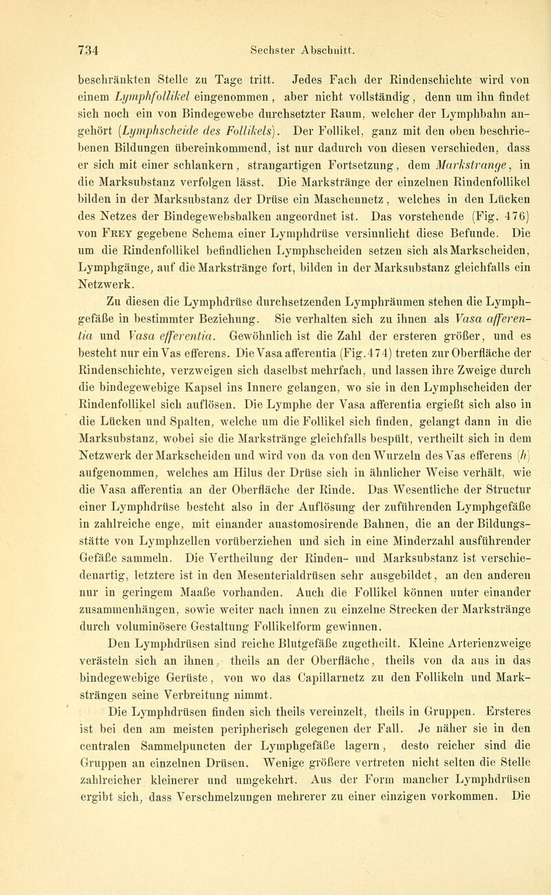 beschränkten Stelle zu Tage tritt. Jedes Fach, der Rindenschichte wird von einem Lymphfollikel eingenommen , aber nicht vollständig, denn um ihn findet sich noch ein von Bindegewebe durchsetzter Raum, welcher der Lymphbahn an- gehört {Lymphscheide des Follikels). Der Follikel, ganz mit den oben beschrie- benen Bildungen übereinkommend, ist nur dadurch von diesen verschieden, dass er sich mit einer schiankern, strangartigen Fortsetzung, dem Markslrange, in die Marksubstanz verfolgen lässt. Die Markstränge der einzelnen Rindenfollikel bilden in der Marksubstanz der Drüse ein Maschennetz, welches in den Lücken des Netzes der Bindegewebsbalken angeordnet ist. Das vorstehende (Fig. 476) von Frey gegebene Schema einer Lymphdrüse versinnlicht diese Befunde. Die um die Rindenfollikel befindlichen Lymphscheiden setzen sich als Markscheiden, Lymphgänge, auf die Markstränge fort, bilden in der Marksubstanz gleichfalls ein Netzwerk. Zu diesen die Lymphdrüse durchsetzenden Lymphräumen stehen die Lymph- gefäße in bestimmter Beziehung. Sie verhalten sich zu ihnen als Vasa afferen- tia und Vasa efferentia. Gewöhnlich ist die Zahl der ersteren größer, und es besteht nur einVas efierens. Die Vasa afi'erentia (Fig. 474) treten zur Oberfläche der Rindenschichte, verzweigen sich daselbst mehrfach, und lassen ihre Zweige durch die bindegewebige Kapsel ins Innere gelangen, wo sie in den Lymphscheiden der Rindenfollikel sich auflösen. Die Lymphe der Vasa afFerentia ergießt sich also in die Lücken und Spalten, welche um die Follikel sich finden, gelangt dann in die Marksubstanz, wobei sie die Markstränge gleichfalls bespült, vertheilt sich in dem Netzwerk der Markscheiden und wird von da von den Wurzeln des Vas efferens [h] aufgenommen, welches am Hilus der Drüse sich in ähnlicher Weise verhält, wie die Vasa afferentia an der Oberfläche der Rinde. Das Wesentliche der Structur einer Lymphdrüse besteht also in der Auflösung der zuführenden Lymphgefäße in zahlreiche enge, mit einander auastomosirende Bahnen, die an der Bildungs- stätte von Lymphzellen vorüberziehen und sich in eine Minderzahl ausführender Gefäße sammeln. Die Vertheilung der Rinden- und Marksubstanz ist verschie- denartig, letztere ist in den Mesenterialdrüsen sehr ausgebildet, an den anderen nur in geringem Maaße vorhanden. Auch die Follikel können unter einander zusammenhängen, sowie weiter nach innen zu einzelne Strecken der Markstränge durch voluminösere Gestaltung Follikelform gewinnen. Den Lymphdrüsen sind reiche Blutgefäße zugetheilt. Kleine Arterienzweige verästeln sich an ihnen, theils an der Oberfläche, theils von da aus in das bindegewebige Gerüste, von wo das Capillarnetz zu den Follikeln und Mark- strängen seine Verbreitung nimmt. Die Lymphdrüsen finden sich theils vereinzelt, theils in Gruppen. Ersteres ist bei den am meisten peripherisch gelegenen der Fall. Je näher sie in den centralen Sammelpuncten der Lymphgefäße lagern, desto reicher sind die Gruppen an einzelnen Drüsen. Wenige größere vertreten nicht selten die Stelle zahlreicher kleinerer und umgekehrt. Aus der Form mancher Lymphdrüsen ergibt sich, dass Verschmelzungen mehrerer zu einer einzigen vorkommen. Die