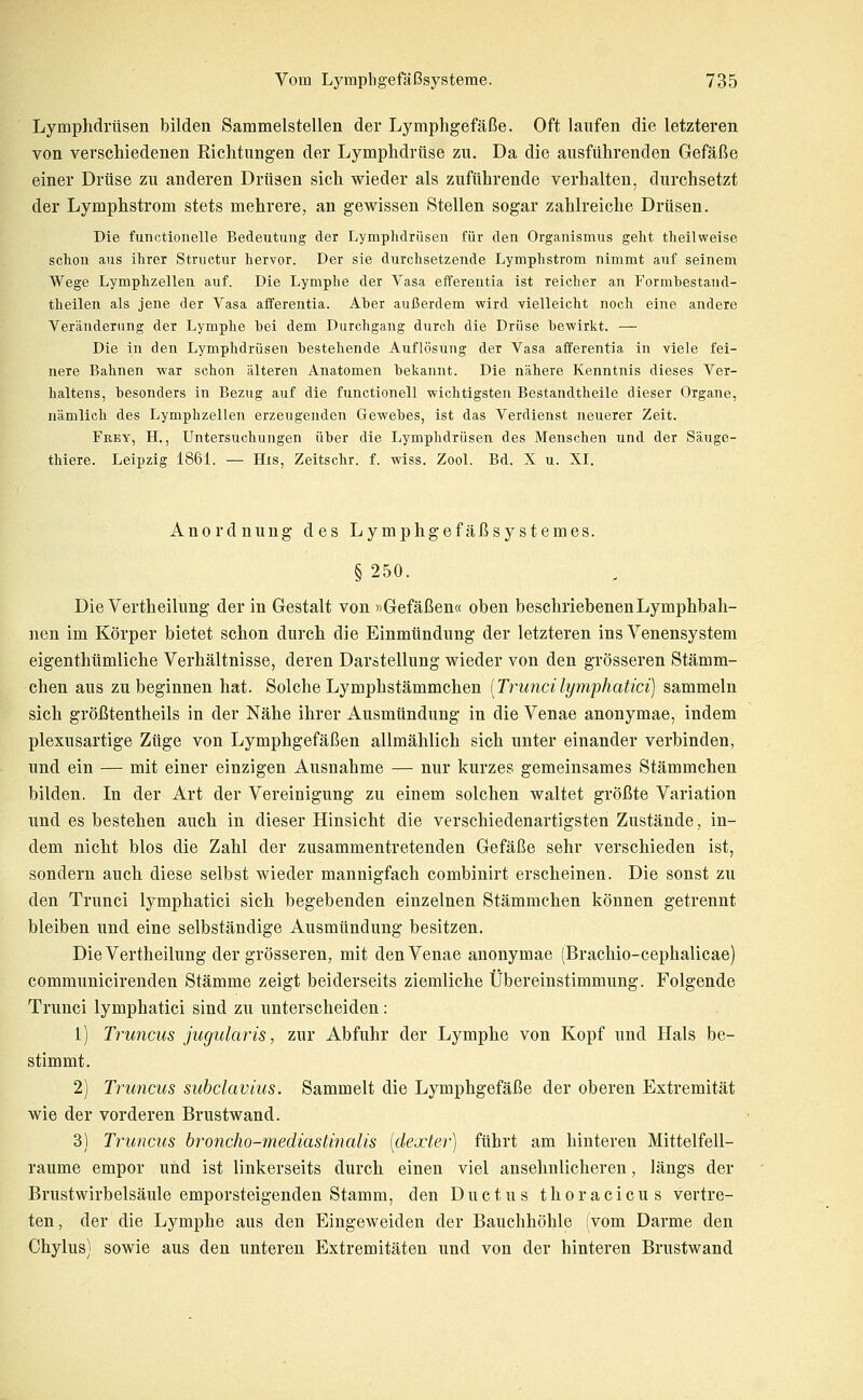 Lymphdrüsen bilden Sammelstellen der Lymphgefäße. Oft laufen die letzteren von verschiedenen Richtungen der Lymphdrüse zu. Da die ausführenden Gefäße einer Drüse zu anderen Drüsen sich wieder als zuführende verhalten, durchsetzt der Lymphstrom stets mehrere, an gewissen Stellen sogar zahlreiche Drüsen. Die functionelle Bedeutung der Lymphdrüsen für den Organismus geht theilweise schon aus ihrer Structur hervor. Der sie durchsetzende Lymphstrom nimmt auf seinem Wege Lymphzellen auf. Die Lymphe der Vasa efferentia ist reicher an Formhestand- theilen als jene der Vasa afferentia. Aber außerdem wird vielleicht noch eine andere Veränderung der Lymphe bei dem Durchgang durch die Drüse bewirkt. — Die in den Lymphdrüsen bestehende Auflösung der Vasa afferentia in viele fei- nere Bahnen war schon älteren Anatomen bekannt. Die nähere Kenntnis dieses Ver- haltens, besonders in Bezug auf die functionell wichtigsten Bestandtheile dieser Organe, nämlich des Lymphzellen erzeugenden Gewebes, ist das Verdienst neuerer Zeit. Frey, H., Untersuchungen über die Lymphdrüsen des Menschen und der Säuge- thiere. Leipzig 1861. — His, Zeitschr. f. wiss. Zool. Bd. X u. XI. Anordnung des Lymphgefäßsystemes. §250. Die Vertheilung der in Gestalt von »Gefäßen« oben beschriebenen Lymphbah- nen im Körper bietet schon durch die Einmündung der letzteren ins Venensystem eigenthümliche Verhältnisse, deren Darstellung wieder von den grösseren Stämm- chen aus zu beginnen hat. Solche Lymphstämmchen (Truncilymphatici) sammeln sich größtentheils in der Nähe ihrer Ausmündung in die Venae anonymae, indem plexusartige Züge von Lymphgefäßen allmählich sich unter einander verbinden, und ein — mit einer einzigen Ausnahme — nur kurzes gemeinsames Stämmchen bilden. In der Art der Vereinigung zu einem solchen waltet größte Variation und es bestehen auch in dieser Hinsicht die verschiedenartigsten Zustände, in- dem nicht blos die Zahl der zusammentretenden Gefäße sehr verschieden ist, sondern auch diese selbst wieder mannigfach combinirt erscheinen. Die sonst zu den Trunci lymphatici sich begebenden einzelnen Stämmchen können getrennt bleiben und eine selbständige Ausmttndung besitzen. Die Vertheilung der grösseren, mit den Venae anonymae (Brachio-cephalicae) communicirenden Stämme zeigt beiderseits ziemliche Übereinstimmung. Folgende Trunci lymphatici sind zu unterscheiden: 1) Truncus jugularis, zur Abfuhr der Lymphe von Kopf und Hals be- stimmt. 2) Truncus subclavius. Sammelt die Lymphgefäße der oberen Extremität wie der vorderen Brustwand. 3) Truncus broncho-mediastinalis [dexter) führt am hinteren Mittelfell- raume empor und ist linkerseits durch einen viel ansehnlicheren, längs der Brustwirbelsäule emporsteigenden Stamm, den Ductus thoracicus vertre- ten, der die Lymphe aus den Eingeweiden der Bauchhöhle (vom Darme den Chylus) sowie aus den unteren Extremitäten und von der hinteren Brustwand