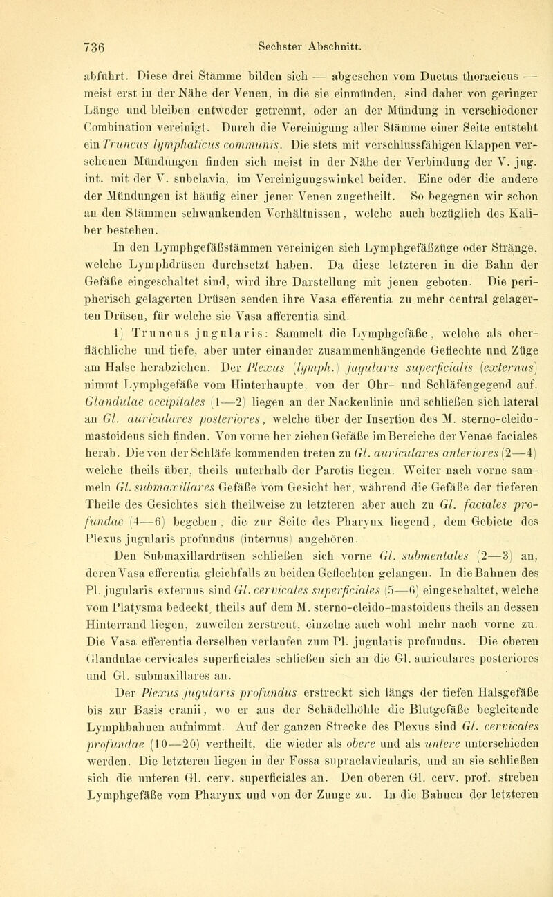 abführt. Diese drei Stämme bilden sich — abgesehen vom Ductus thoracicus — meist erst in der Nähe der Venen, in die sie einmünden, sind daher von geringer Länge und bleiben entweder getrennt, oder an der Mündung in verschiedener Combination vereinigt. Durch die Vereinigung aller Stämme einer Seite entsteht ein Truncus lymphaticus communis. Die stets mit vcrschlussfähigen Klappen ver- sehenen Mündungen finden sich meist in der Nähe der Verbindung der V. jug. int. mit der V. subclavia, im Vereinigungswinkel beider. Eine oder die andere der Mündungen ist häufig einer jener Venen zugetheilt. So begegnen wir schon an den Stämmen schwankenden Verhältnissen, welche auch bezüglich des Kali- ber bestehen. In den Lymphgefäßstämmen vereinigen sich Lymphgefäßzüge oder Stränge, welche Lymphdrüsen durchsetzt haben. Da diese letzteren in die Bahn der Gefäße eingeschaltet sind, wird ihre Darstellung mit jenen geboten. Die peri- pherisch gelagerten Drüsen senden ihre Vasa efferentia zu mehr central gelager- ten DrüseU;, für welche sie Vasa afFerentia sind. 1) Truncus jugularis: Sammelt die Lymphgefäße, welche als ober- flächliche und tiefe, aber unter einander zusammenhängende Geflechte und Züge am Halse herabziehen. Der Plexus [lymph.) jugularis superficialis [externus] nimmt Lymphgefäße vom Hinterhaupte, von der Ohr- und Schläfengegend auf. Glandulae occipitales [l—2] liegen an der Nackeulinie und schließen sich lateral an GL auriculares posteriores, welche über der Insertion des M. sterno-cleido- mastoideus sich finden. Von vorne her ziehen Gefäße im Bereiche derVenae faciales herab. Die von der Schläfe kommenden treten zu Gl. auriculares anteriores (2—4) welche theils über, theils unterhalb der Parotis liegen. Weiter nach vorne sam- meln Gl. submaxillares Gefäße vom Gesicht her, während die Gefäße der tieferen Theile des Gesichtes sich theilweise zu letzteren aber auch zu Gl. faciales pro- funclae (4—6) begeben . die zur Seite des Pharynx liegend , dem Gebiete des Plexus jugularis profundus (internus) angehören. Den Submaxillardrüsen schließen sich vorne Gl. submentales (2—3) an, deren Vasa efi'erentia gleichfalls zu beiden Geflechten gelangen. In die Bahnen des PI. jugularis externus und Gl. cervicales superficiales (5—6) eingeschaltet, welche vom Platysma bedeckt, theils auf dem M. sterno-cleido-mastoideus theils an dessen Hinterrand liegen, zuweilen zerstreut, einzelne auch wohl mehr nach vorne zu. Die Vasa efferentia derselben verlaufen zum PI. jugularis profundus. Die oberen Glandulae cervicales superficiales schließen sich an die Gl. auriculares posteriores und Gl. submaxillares an. Der Plexus jugularis profundus erstreckt sich längs der tiefen Halsgefäße bis zur Basis cranii, wo er aus der Schädelhöhle die Blutgefäße begleitende Lymphbahnen aufnimmt. Auf der ganzen Strecke des Plexus sind Gl. cervicales profundae (10—20) vertheilt, die wieder als obere und als untere unterschieden werden. Die letzteren liegen in der Fossa supraclavicularis, und an sie schließen sich die unteren Gl. cerv. superficiales an. Den oberen Gl. cerv. prof. streben Lymphgefäße vom Pharynx und von der Zunge zu. In die Bahnen der letzteren