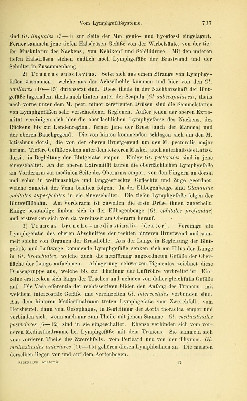 sind GL linguales (3—4) zur Seite der Mm. genio- und hyoglossi eingelagert. Ferner sammeln jene tiefen Halsdrüsen Gefäße von der Wirbelsäule, von der tie- fen Muskulatur des Nackens, von Kehlkopf und Schilddrüse. Mit den unteren tiefen Halsdrüsen stehen endlich noch Lymphgefäße der Brustwand und der Schulter in Zusammenhang. 2) Truncus subclavius. Setzt sich aus einem Strange von Lymphge- fäßen zusammen, welche aus der Achselhöhle kommen und hier von den Gl. axillares (10—15) durchsetzt sind. Diese theils in der Nachbarschaft der Blut- gefäße lagernden, theils nach hinten unter der Scapula [Gl. suhscapulares], theils nach vorne unter dem M. pect, minor zerstreuten Drüsen sind die Sammelstätten von Lymphgefäßen sehr verschiedener Regionen. Außer jenen der oberen Extre- mität vereinigen sich hier die oberflächlichen Lymphgefässe des Nackens, des Rückens bis zur Lendenregion, ferner jene der Brust (auch der Mamma) und der oberen Bauchgegend. Die von hinten kommenden schlagen sich um den M. latissimus dorsi, die von der oberen Brustgegend um den M. pectoralis major herum. Tiefere Gefäße ziehen unter dem letzteren Muskel, auch unterhalb des Latiss. dorsi, in Begleitung der Blutgefäße empor. Einige Gl. pectorales sind in jene eingeschaltet. An der oberen Extremität laufen die oberflächlichen Lymphgefäße am Vorderarm zur medialen Seite des Oberarms empor, von den Fingern an dorsal und volar in weitmaschige und langgestreckte Geflechte und Züge geordnet, welche zumeist der Vena basilica folgen. In der Ellbogenbeuge sind Glandulae cubitales superficiales in sie eingeschaltet. Die tiefen Lymphgefäße folgen der Blutgefäßbahn. Am Vorderarm ist zuweilen die erste Drüse ihnen zugetheilt. Einige beständige finden sich in der Ellbogenbeuge {Gl. cubitales profunclae) und erstrecken sich von da vereinzelt am Oberarm herauf. 3) Truncus broncho-mediastinalis (dexter). Vereinigt die Lymphgefäße des oberen Abschnittes der rechten hinteren Brustwand und sam- melt solche von Organen der Brusthöhle. Aus der Lunge in Begleitung der Blut- gefäße und Luftwege kommende Lymphgefäße senken sich am Hilus der Lunge in Gl. hronchiales, welche auch die netzförmig angeordneten Gefäße der Ober- fläche der Lunge aufnehmen. Ablagerung schwarzen Pigmentes zeichnet diese Drüsengruppe aus, welche bis zur Theilung der Luftröhre verbreitet ist. Ein- zelne erstrecken sich längs der Trachea und nehmen von daher gleichfalls Gefäße auf. Die Vasa efi'erentia der rechtsseitigen bilden den Anfang des Truncus, mit welchem intercostale Gefäße mit vereinzelten Gl. intercostales verbunden sind. Aus dem hinteren Mediastinalraum treten Lymphgefäße vom Zwerchfell, vom Herzbeutel, dann vom Oesophagus, in Begleitung der Aorta thoracica empor und verbinden sich, wenn auch nur zum Theile mit jenem Stamme; Gl. mediastinales posteriores (6—12) sind in sie eingeschaltet. Ebenso verbinden sich vom vor- deren Mediastinalraume her Lymphgefäße mit dem Truncus. Sie sammeln sich vom vorderen Theile des Zwerchfells, vom Pericard und von der Thymus. Gl. mediastinales anteriores (10—15) gehören diesen Lymphbahnen an. Die meisten derselben liegen vor und auf dem. Aortenbogen. Gegenbauk, Anatomie. 4.7