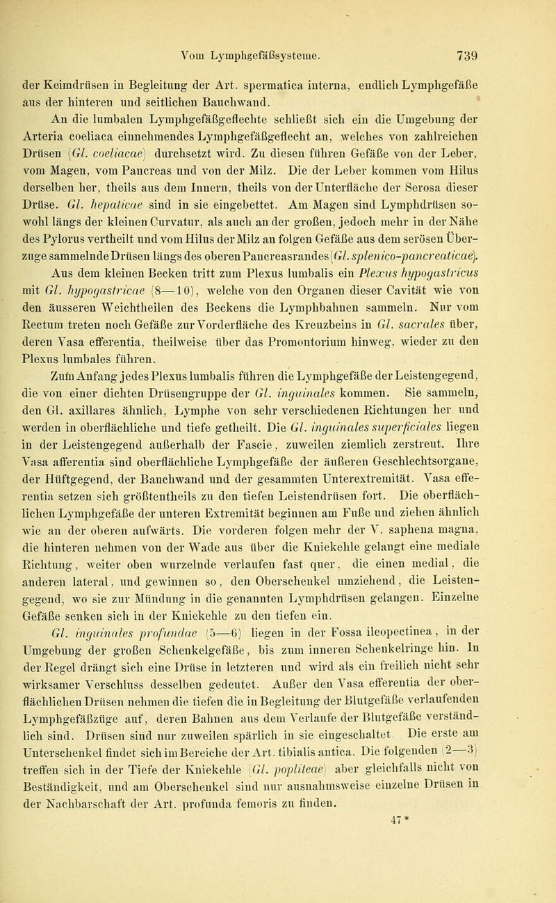 der Keimdrüsen in Begleitung der Art. spermatica interna, endlicli Lymphgefäße aus der hinteren und seitlichen Bauchwand. An die lumbalen Lymphgefäßgeflechte schließt sich ein die Umgebung der Arteria coeliaca einnehmendes Lymphgefäßgeflecht an, welches von zahlreichen Drüsen [GL coeliacae) durchsetzt wird. Zu diesen führen Gefäße von der Leber, vom Magen, vom Pancreas und von der Milz. Die der Leber kommen vom Hilus derselben her, theils aus dem Innern, theils von der ünterfläche der Serosa dieser Drüse. Gl. hepaticae sind in sie eingebettet. Am Magen sind Lymphdrüsen so- wohl längs der kleinen Curvatur, als auch ander großen, jedoch mehr in der Nähe des Pylorus vertheilt und vom Hilus der Milz an folgen Gefäße aus dem serösen Über- zuge sammelnde Drüsen längs des oberen Pancreasrandes(G/. splenico-ipancreaticae). Aus dem kleinen Becken tritt zum Plexus lumbalis ein Plexus hypogastricus mit Gl. hypogastricae (8—10), welche von den Organen dieser Cavität wie von den äusseren Weichtheilen des Beckens die Lymphbahnen sammeln. Nur vom Rectum treten noch Gefäße zur Vorderfläche des Kreuzbeins in Gl. sacrales über, deren Vasa efi'erentia, theilweise über das Promontorium hinweg, wieder zu den Plexus lumbales führen. Zuta Anfang jedes Plexus lumbalis führen die Lymphgefäße der Leistengegend, die von einer dichten Drüsengruppe der Gl. inguinales kommen. Sie sammeln, den Gl. axillares ähnlich, Lymphe von sehr verschiedenen Richtungen her und werden in oberflächliche und tiefe getheilt. Die Gl. inguinales superficiales liegen in der Leistengegend außerhalb der Fascie, zuweilen ziemlich zerstreut. Ihre Vasa aflTerentia sind oberflächliche Lymphgefäße der äußeren Geschlechtsorgane, der Htiftgegend, der Bauchwand und der gesammten Unterextremität. Vasa effe- rentia setzen sich größtentheils zu den tiefen Leistendrüsen fort. Die oberfläch- lichen Lymphgefäße der unteren Extremität beginnen am Fuße und ziehen ähnlich wie an der oberen aufwärts. Die vorderen folgen mehr der V. saphena magna, die hinteren nehmen von der Wade aus über die Kniekehle gelangt eine mediale Richtung, weiter oben wurzelnde verlaufen fast quer, die einen medial, die anderen lateral, und gewinnen so, den Oberschenkel umziehend, die Leisten- gegend, wo sie zur Mündung in die genannten Lymphdrüsen gelangen. Einzelne Gefäße senken sich in der Kniekehle zu den tiefen ein. Gl. inguinales profundae (5—6) liegen in der Fossa ileopectinea, in der Umgebung der großen Schenkelgefäße, bis zum inneren Schenkelringe hin. In der Regel drängt sich eine Drüse in letzteren und wird als ein freilich nicht sehr wirksamer Verschluss desselben gedeutet. Außer den Vasa efi'erentia der ober- flächlichen Drüsen nehmen die tiefen die in Begleitung der Blutgefäße verlaufenden Lymphgefäßzüge auf, deren Bahnen aus dem Verlaufe der Blutgefäße verständ- lich sind. Drüsen sind nur zuweilen spärlich in sie eingeschaltet. Die erste am Unterschenkel findet sich im Bereiche der Art. tibialis antica. Die folgenden (2—3) trefi'en sich in der Tiefe der Kniekehle (67. popliteae) aber gleichfalls nicht von Beständigkeit, und am Oberschenkel sind nur ausnahmsweise einzelne Drüsen in der Nachbarschaft der Art. profunda femoris zu finden. 47*