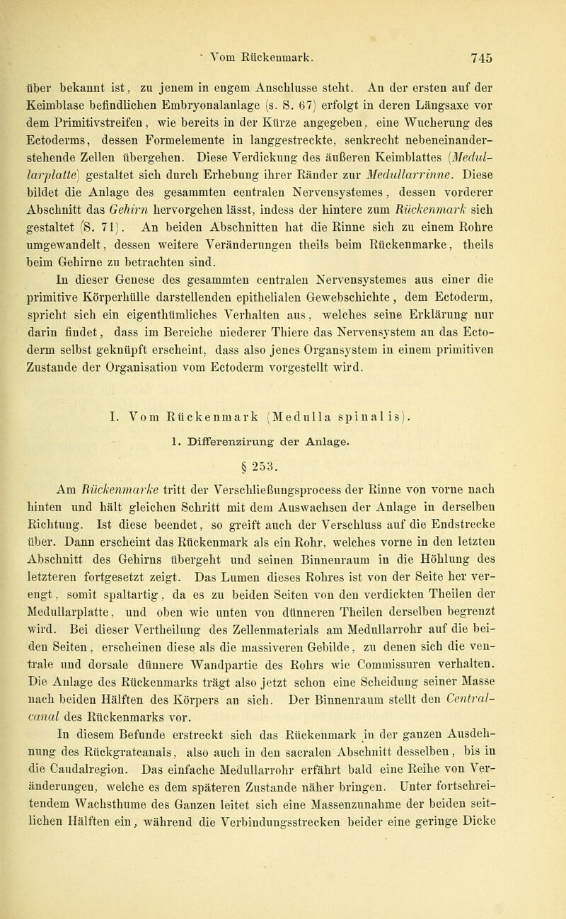 über bekannt ist, zu jenem in engem Anschlüsse steht. An der ersten auf der Keimblase befindlichen Embryonalanlage (s. S. 67) erfolgt in deren Längsaxe vor dem Primitivstreifen, wie bereits in der Kürze angegeben, eine Wucherung des Ectoderms, dessen Formelemente in langgestreckte, senkrecht nebeneinander- stehende Zellen übergehen. Diese Verdickung des äußeren Keimblattes [Medul- larplatte) gestaltet sich durch Erhebung ihrer Eänder zur Medullm^rinne. Diese bildet die Anlage des gesammten centralen Nervensystemes, dessen vorderer Abschnitt das Gehirn hervorgehen lässt, indess der hintere zum Rückenmark sich gestaltet (S. 71). An beiden Abschnitten hat die Rinne sich zu einem Rohre umgewandelt, dessen weitere Veränderungen theils beim Rückenmarke, theils beim Gehirne zu betrachten sind. In dieser Genese des gesammten centralen Nervensystemes aus einer die primitive Körperhülle darstellenden epithelialen Gewebschichte, dem Ectoderm, spricht sich ein eigenthümliches Verhalten aus, welches seine Erklärung nur darin findet, dass im Bereiche niederer Thiere das Nervensystem an das Ecto- derm selbst geknüpft erscheint, dass also jenes Organsystem in einem primitiven Zustande der Organisation vom Ectoderm vorgestellt wird. I. Vom Rückenmark (MeduIIa spinal is). 1. Differenzirung der Anlage. § 253. Am Rückenmarke tritt der Verschließungsprocess der Rinne von vorne nach hinten und hält gleichen Schritt mit dem Auswachsen der Anlage in derselben Richtung. Ist diese beendet, so greift auch der Verschluss auf die Endstrecke über. Dann erscheint das Rückenmark als ein Rohr, welches vorne in den letzten Abschnitt des Gehirns übergeht und seinen Binnenraum in die Höhlung des letzteren fortgesetzt zeigt. Das Lumen dieses Rohres ist von der Seite her ver- engt , somit spaltartig, da es zu beiden Seiten von den verdickten Theilen der Medullarplatte, und oben wie unten von dünneren Theilen derselben begrenzt wird. Bei dieser Vertheilung des Zellenmaterials am Medullarrohr auf die bei- den Seiten, erscheinen diese als die massiveren Gebilde, zu denen sich die ven- trale und dorsale dünnere Wandpartie des Rohrs wie Commissuren verhalten. Die Anlage des Rückenmarks trägt also jetzt schon eine Scheidung seiner Masse nach beiden Hälften des Körpers an sich. Der Binnenraum stellt den Central- canal des Rückenmarks vor. In diesem Befunde erstreckt sich das Rückenmark in der ganzen Ausdeh- nung des Rückgratcanals, also auch in den sacralen Abschnitt desselben, bis in die Caudalregion. Das einfache Medullarrohr erfährt bald eine Reihe von Ver- änderungen, welche es dem späteren Zustande näher bringen. Unter fortschrei- tendem Wachsthume des Ganzen leitet sich eine Massenzunahme der beiden seit- lichen Hälften ein, während die Verbindungsstrecken beider eine geringe Dicke