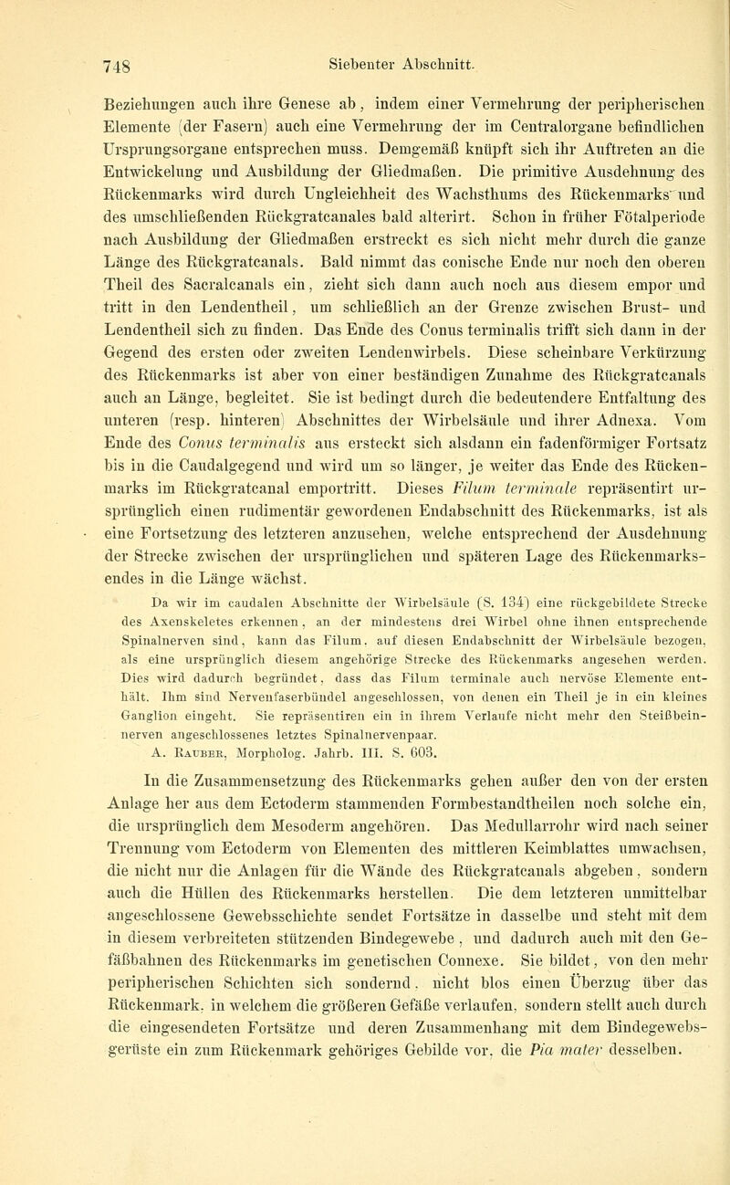 Beziehungen auch ihre Genese ab, indem einer Vermehrung der peripherischen Elemente (der Fasern) auch eine Vermehrung der im Centralorgane befindlichen ürsprungsorgane entsprechen muss. Demgemäß knüpft sich ihr Auftreten an die Entwicklung und Ausbildung der Gliedmaßen. Die primitive Ausdehnung des Rückenmarks wird durch Ungleichheit des Wachsthums des Rückenmarks' und des umschließenden Rückgratcanales bald alterirt. Schon in früher Fötalperiode nach Ausbildung der Gliedmaßen erstreckt es sich nicht mehr durch die ganze Länge des Rückgratcanals. Bald nimmt das conische Ende nur noch den oberen Theil des Sacralcanals ein, zieht sich dann auch noch aus diesem empor und tritt in den Lendentheil, um schließlich an der Grenze zwischen Brust- und Lendentheil sich zu finden. Das Ende des Conus terminalis trifift sich dann in der Gegend des ersten oder zweiten Lendenwirbels. Diese scheinbare Verkürzung des Rückenmarks ist aber von einer beständigen Zunahme des Rückgratcanals auch an Länge, begleitet. Sie ist bedingt durch die bedeutendere Entfaltung des unteren (resp. hinteren) Abschnittes der Wirbelsäule und ihrer Adnexa. Vom Ende des Conus terminalis aus ersteckt sich alsdann ein fadenförmiger Fortsatz bis in die Caudalgegend und wird um so länger, je weiter das Ende des Rücken- marks im Rückgratcanal emportritt. Dieses Filum terminale repräsentirt ur- sprünglich einen rudimentär gewordenen Endabschnitt des Rückenmarks, ist als eine Fortsetzung des letzteren anzusehen, welche entsprechend der Ausdehnung der Strecke zwischen der ursprünglichen und späteren Lage des Rückenmarks- endes in die Länge wächst. Da wir im caudalen Absclinitte der Wirbelsäule (S. 134} eine rückgeMldete Strecke des Axenskeletes erkennen, an der mindestens drei Wirbel ohne ihnen entsprechende Spinalnerven sind, kann das Filum. auf diesen Endabschnitt der Wirbelsäule bezogen, als eine ursprünglich diesem angehörige Strecke des Rückenmarks angesehen -werden. Dies wird dadurch begründet, dass das Filum terminale auch nervöse Elemente ent- hält. Ihm sind Nervenfaserbündel angeschlossen, von denen ein Theil je in ein kleines Ganglion eingeht. Sie repräsentiren ein in ihrem Verlaufe nicht mehr den Steißbein- nerven angeschlossenes letztes Spinalnervenpaar. A. Rauber, Morpholog. Jahrb. III. S. 603. In die Zusammensetzung des Rückenmarks gehen außer den von der ersten Anlage her aus dem Ectoderm stammenden Formbestandtheilen noch solche ein, die ursprünglich dem Mesoderm angehören. Das Medullarrohr wird nach seiner Trennung vom Ectoderm von Elementen des mittleren Keimblattes umwachsen, die nicht nur die Anlagen für die Wände des Rückgratcanals abgeben, sondern auch die Hüllen des Rückenmarks herstellen. Die dem letzteren unmittelbar angeschlossene Gewebsschichte sendet Fortsätze in dasselbe und steht mit dem in diesem verbreiteten stützenden Bindegewebe . und dadurch auch mit den Ge- fäßbahnen des Rückenmarks im genetischen Connexe. Sie bildet, von den mehr peripherischen Schichten sich sondernd. nicht blos einen Überzug über das Rückenmark; in welchem die größeren Gefäße verlaufen, sondern stellt auch durch die eingesendeten Fortsätze und deren Zusammenhang mit dem Bindegewebs- gerüste ein zum Rückenmark gehöriges Gebilde vor. die Pia mater desselben.