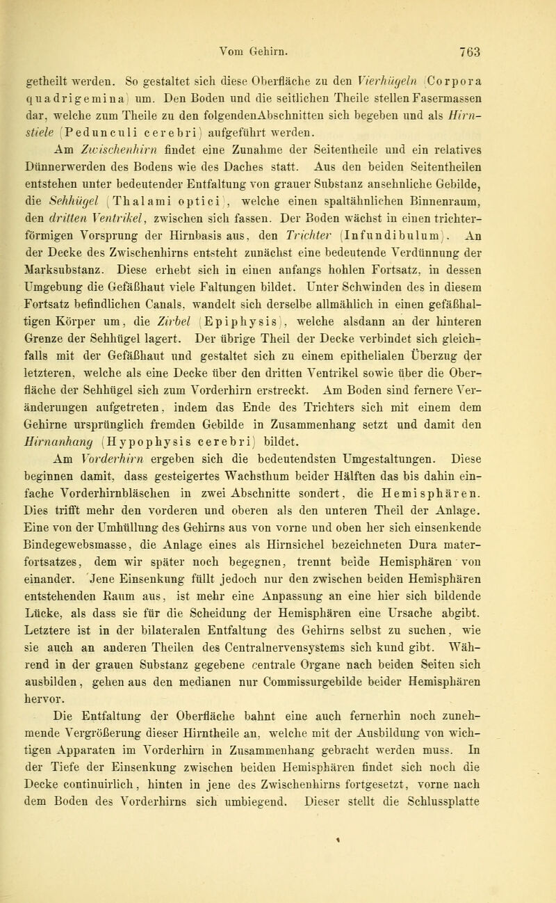 getheilt werden. So gestaltet sich diese Oberfläche zu den Vierhügeln Corpora quadrigemina! um. Den Boden und die seitlichen Theile stellenFasermassen dar, welche zum Theile zu den folgendenAbschnitten sich begeben und als Hirn- stiele 'Pedunculi cerebri) aufgeführt werden. Am Zicischenhirn findet eine Zunahme der Seitentheile und ein relatives Dünnerwerden des Bodens wie des Daches statt. Aus den beiden Seitentheilen entstehen unter bedeutender Entfaltung von grauer Substanz ansehnliche Gebilde, die Sehhügel ; Thalami optici , welche einen spaltähnlichen Binnenraum, den dritten Ventrikel, zwischen sich fassen. Der Boden wächst in einen trichter- förmigen Vorsprung der Hirnbasis aus, den Trichter (Infundibulum . An der Decke des Zwischenhirns entsteht zunächst eine bedeutende Verdünnung der Marksubstanz. Diese erhebt sich in einen anfangs hohlen Fortsatz, in dessen Umgebung die Gefäßhaut viele Faltungen bildet. Unter Schwinden des in diesem Fortsatz befindlichen Canals, wandelt sich derselbe allmählich in einen gefäßhal- tigen Körper um, die Zirbel Epiphysis , welche alsdann an der hinteren Grenze der Sehhügel lagert. Der übrige Theil der Decke verbindet sich gleich- falls mit der Gefäßhaut und gestaltet sich zu einem epithelialen Überzug der letzteren, welche als eine Decke über den dritten Ventrikel sowie über die Ober- fläche der Sehhügel sich zum Vorderhirn erstreckt. Am Boden sind fernere Ver- änderungen aufgetreten, indem das Ende des Ti'ichters sich mit einem dem Gehirne ursprünglich fi'emden Gebilde in Zusammenhang setzt und damit den Hirnanhang (Hypophysis cerebril bildet. Am Vorderhirn ergeben sich die bedeutendsten Umgestaltungen. Diese beginnen damit, dass gesteigertes Wachsthum beider Hälften das bis dahin ein- fache Vorderhirnbläschen in zwei Abschnitte sondert, die Hemisphären. Dies triff't mehr den vorderen und oberen als den unteren Theil der Anlage. Eine von der Umhüllung des Gehirns aus von vorne und oben her sich einsenkende Bindegewebsmasse, die Anlage eines als Hirnsichel bezeichneten Dura mater- fortsatzes, dem wir später noch begegnen, trennt beide Hemisphären von einander. Jene Einsenkung füllt jedoch nur den zwischen beiden Hemisphären entstehenden Raum aus, ist mehr eine Anpassung an eine hier sich bildende Lücke, als dass sie für die Scheidung der Hemisphären eine Ursache abgibt. Letztere ist in der bilateralen Entfaltung des Gehirns selbst zu suchen, wie sie auch an anderen Theilen des Centralnervensystems sich kund gibt. Wäh- rend in der grauen Substanz gegebene centrale Organe nach beiden Seiten sich ausbilden, gehen aus den medianen nur Commissurgebilde beider Hemisphären hervor. Die Entfaltung der Oberfläche bahnt eine auch fernerhin noch zuneh- mende Veigrößerung dieser Hirntheile an, welche mit der Ausbildung von wich- tigen Apparaten im Vorderhirn in Zusammenhang gebracht werden muss. In der Tiefe der Einsenkung zwischen beiden Hemisphären findet sich noch die Decke continuirlich, hinten in jene des Zwischenhirns fortgesetzt, vorne nach dem Boden des Vorderhirns sich umbiegend. Dieser stellt die Schlussplatte