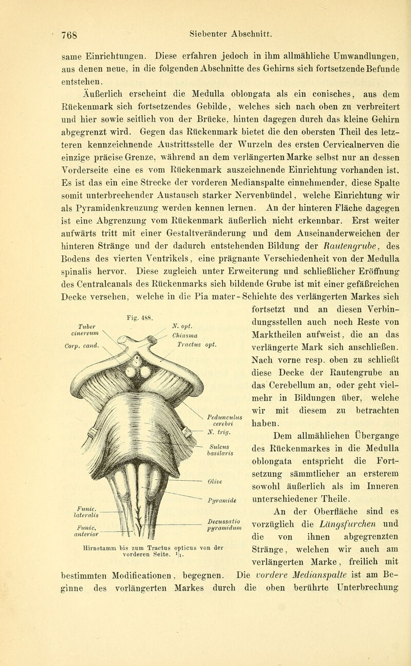 same Einrichtungen. Diese erfahren jedoch in ihm allmähliche Umwandlungen, aus denen neue, in die folgenden Abschnitte des Gehirns sich fortsetzende Befunde entstehen. Äußerlich erscheint die Medulla oblongata als ein conisches, aus dem Rückenmark sich fortsetzendes Gebilde, welches sich nach oben zu verbreitert und hier sowie seitlich von der Brücke, hinten dagegen durch das kleine Gehirn abgegrenzt wird. Gegen das Rückenmark bietet die den obersten Theil des letz- teren kennzeichnende Austrittsstelle der Wurzeln des ersten Cervicalnerven die einzige präcise Grenze, während an dem verlängerten Marke selbst nur an dessen Vorderseite eine es vom Rückenmark auszeichnende Einrichtung vorhanden ist. Es ist das ein eine Strecke der vorderen Medianspalte einnehmender, diese Spalte somit unterbrechender Austausch starker Nervenbündel, welche Einrichtung wir als Pyramidenkreuzung werden kennen lernen. An der hinteren Fläche dagegen ist eine Abgrenzung vom Rückenmark äußerlich nicht erkennbar. Erst weiter aufwärts tritt mit einer Gestaltveränderung und dem Auseinanderweichen der hinteren Stränge und der dadurch entstehenden Bildung der Rautengrube, des Bodens des vierten Ventrikels, eine prägnante Verschiedenheit von der Medulla spinalis hervor. Diese zugleich unter Erweiterung und schließlicher Eröffnung des Centralcanals des Rückenmarks sich bildende Grube ist mit einer gefäßreichen Decke versehen, welche in die Pia mater-Schichte des verlängerten Markes sich fortsetzt und an diesen Verbin- dungsstellen auch noch Reste von Marktheilen aufweist, die an das verlängerte Mark sich anschließen. Nach vorne resp. oben zu schließt diese Decke der Rautengrube an das Cerebellum an, oder geht viel- mehr in Bildungen über, welche wir mit diesem zu betrachten haben. Dem allmählichen Übergange des Rückenmarkes in die Medulla oblongata entspricht die Fort- setzung sämmtlicher an ersterem sowohl äußerlich als im Inneren unterschiedener Theile. An der Oberfläche sind es vorzüglich die Längsfurchen und die von ihnen abgegrenzten Stränge, welchen wir auch am verlängerten Marke, freilich mit bestimmten Modificationen, begegnen. Die vordere Medianspalte ist am Be- ginne des vorlängerten Markes durch die oben berührte Unterbrechung Corp N. opt. Clnasma actus opt. Funic laterah Funi anteri Pyramide Becussatio pyramidum Hirnstamm Ms zum Tractus opticus von der vorderen Seite. A\.