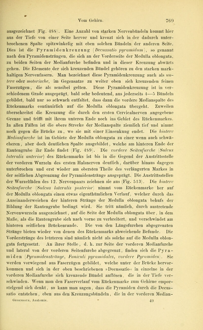 ausgezeiclinet (Fig. 488). Eine Anzahl von starken Nervenbündeln kommt Mer aus der Tiefe von einer Seite hervor und kreuzt sich in der dadurch unter- brochenen Spalte spitzwinkelig mit eben solchen Bündeln der anderen Seite. Dies ist die Pyramidenkreuzung [Decussatio pyramidum], so genannt nach den Pyramidensträngen, die sich an der Vorderseite der Medulla oblongata. zu beiden Seiten der Medianfurche befinden und in dieser Kreuzung abwärts gehen. Die Elemente der sich kreuzenden Bündel gehören zu den starken mark- haltigen Nervenfasern. Man bezeichnet diese Pyramidenkreuzung auch als un- tere oder motorische, im Gegensatze zu weiter oben sich kreuzenden feinen Faserzügen, die als sensibel gelten. Diese Pyramidenkreuzung ist in ver- schiedenem Grade ausgeprägt, bald sehr bedeutend, aus jederseits 4—5 Bündeln gebildet, bald nur so schwach entfaltet, dass dann die vordere Medianspalte des Rückenmarks continuirlich auf die Medulla oblongata tibergeht. Zuweilen überschreitet die Kreuzung die durch den ersten Cervicalnerven angegebene Grenze und trifft mit ihrem unteren Ende noch ins Gebiet des Rückenmarkes. In allen Fällen ist die obere Strecke der Medianspalte ziemlich tief und nimmt noch gegen die Brücke zu, wo sie mit einer Einsenkung endet. Die hintere Medianfurche ist im Gebiete der Medulla oblongata zu einer wenn auch schwä- cheren , aber doch deutlichen Spalte ausgebildet, welche am hinteren Ende der Rautengrube ihr Ende findet (Fig. 489). Die vordere- Seitenfurche [Sulcus lateralis anterior) des Rückenmarks ist bis in die Gegend der Austrittsstelle der vorderen Wurzeln des ersten Halsnerven deutlich, darüber hinaus dagegen unterbrochen und erst wieder am obersten Theile des verlängerten Markes in der seitlichen Abgrenzung der Pyramidenstränge ausgeprägt. Die Austrittsstellen der Wurzelfädeu des 12. Nervenpaars zeichnen sie aus (Fig. 513). Die hintere Seitenfurche [Sulcus lateralis posterior) nimmt vom Rückenmarke her auf der Medulla oblongata einen etwas eigenthümlichen Verlauf, welcher durch das Auseiuanderweichen der hinteren Stränge der Medulla oblongata behufs der Bildung der Rautengrube bedingt wird. Sie tritt nämlich, durch austretende Nervenwurzeln ausgezeichnet, auf die Seite der Medulla oblongata über, in dem Maße, als die Rautengrube sich nach vorne zu verbreitert, und verschwindet am hinteren seitlichen Brückenrande. Die von den Längsfurchen abgegrenzten Stränge bieten wieder von denen des Rückenmarks abweichende Befunde. Die Vorderstränge des letzteren sind nämlich nicht als solche auf die Medulla oblon- gata fortgesetzt. An ihrer Stelle, d. h. zur Seite der vorderen Mediaufurche und lateral von der vorderen Seitenfurche abgegrenzt, finden sich die Pyra- miden [Pyramidenstränge^ Fu7iicidi pyramidales, vordere Pyramiden]. Sie werden vorwiegend aus Faserzügen gebildet, welche unter der Brücke hervor- kommen und sich in der oben beschriebenen »Decussatio« in einzelne in der vorderen Medianfurche sich kreuzende Bündel auflösen, die in der Tiefe ver- schwinden. Wenn man den Faserverlauf vom Rückenmarke zum Gehirne empor- steigend sich denkt, so kann man sagen, dass die Pyramiden durch die Decus- satio entstehen, eben aus den Kreuzungsbündeln, die in der vorderen Median- Gegenkaüe, Anatomie. ' 49