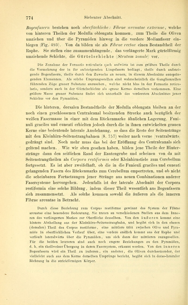 Bogenfasern bestehen noch oberflächliche: Fihrae arcuatae externae, welche von hinteren Theilen der Medulla oblongata kommen, zum Theile die Oliven umziehen und über die Pyramiden hinweg in die vordere Medianfissur ein- biegen (Fig. 493). Von da bilden sie als Fihrae reckte einen Bestandtheil der Raphe. Sie stellen eine zusammenhängende, das verlängerte Mark gürtelförmig umziehende Schichte, die Gürtelschichte [Stratum z-onale] vor. Die Zunahme der Formatio reticularis r.ach aufwärts ist zum größten Theile durch die Vermehrung der in ihr aufsteigenden Längsfasern bedingt, theils durch aufstei- gende Bogenfasern, theils durch den Zuwachs an neuen, in diesem Abschnitte entsprin- genden Elementen. Als solche Ursprungsstellen sind wahrscheinlich die Ganglienzellen führenden Züge grauer Substanz anzusehen , welche nicht blos in der Formatio reticu- - laris, sondern auch in der Gürtelschichte als »graue Kerne« derselben vorkommen. Eine größere Masse grauer Substanz findet sich unterhalb des vordersten Abschnittes jener Schichte vor den Pyramiden. Die hinteren, dorsalen Bestandtheile der Medulla oblongata bleiben an der noch einen geschlossenen Centralcanal besitzenden Strecke auch bezüglich der weißen Fasermasse in einer mit dem Rückenmarke ähnlichen Lagerung. Funi- nuli graciles und cuneati erhielten jedoch durch die in ihnen entwickelten grauen Kerne eine bedeutende laterale Ausdehnung, so dass die Reste der Seitenstränge mit den Kleinhirn-Seitenstrangbahnen (S. 757) weiter nach vorne (ventralwärtsj gedrängt sind. Noch mehr muss das bei der Eröifnung des Centralcanals sich geltend machen. Wie wir oben gesehen haben, bilden jene Theile der Hinter- stränge dann den seitlichen Rand der Rautengrube und scheinen von da mit Seitenstrangtheilen als Corpora restiformia oder Kleinhirnstiele zum Cerebellum fortgesetzt. Es ist aber zweifelhaft, ob die in die Funiculi graciles und cuneati gelangenden Fasern des Rückenmarks zum Cerebellum emportreten, und ob nicht die scheinbaren Fortsetzungen jener Stränge aus neuen Combinationen anderer Fasersysteme hervorgehen. Jedenfalls ist der laterale Abschnitt der Corpora restiformia eine solche Bildung, indem dieser Theil wesentlich aus Bogenfasern sich zusammensetzt. Als solche kommen sowohl die äußeren als die inneren Fibrae arcuatae in Betracht. Durch diese Beziehung zum Corpus restiforme gewinnt das System der Fibrae arcuatae eine besondere Bedeutung. Sie treten an verschiedenen Stellen aus dem Inne- ren des verlängerten Markes zur Oberfläche desselben. Von den äußeren kommt eine hintere Abtheilung aus der Kleinhirn-Seitenstrangbahn, und begibt sich in den oberen (dorsalen) Theil des Corpus restiforme, eine mittlere tritt zwischen Olive und Pyra- mide in oberflächlichen Verlauf über, eine vordere endlich kommt aus der Raphe und verläuft lateralwärts über die Pyramiden, um sich dann der mittleren zuzugesellen. Für die beiden letzteren sind auch noch engere Beziehungen zu den Pyramiden, d. h. ein theilweiser Übergang in deren Fasersystem, erkannt worden. Von den inneren Bogenfasern wird ein Theil zu äußeren , ein anderer, die Oliven durchsetzender, der vielleicht auch aus dem Kerne derselben Ursprünge bezieht, begibt sich in dorso-lateraler Richtung in die strickförmigen Körper.
