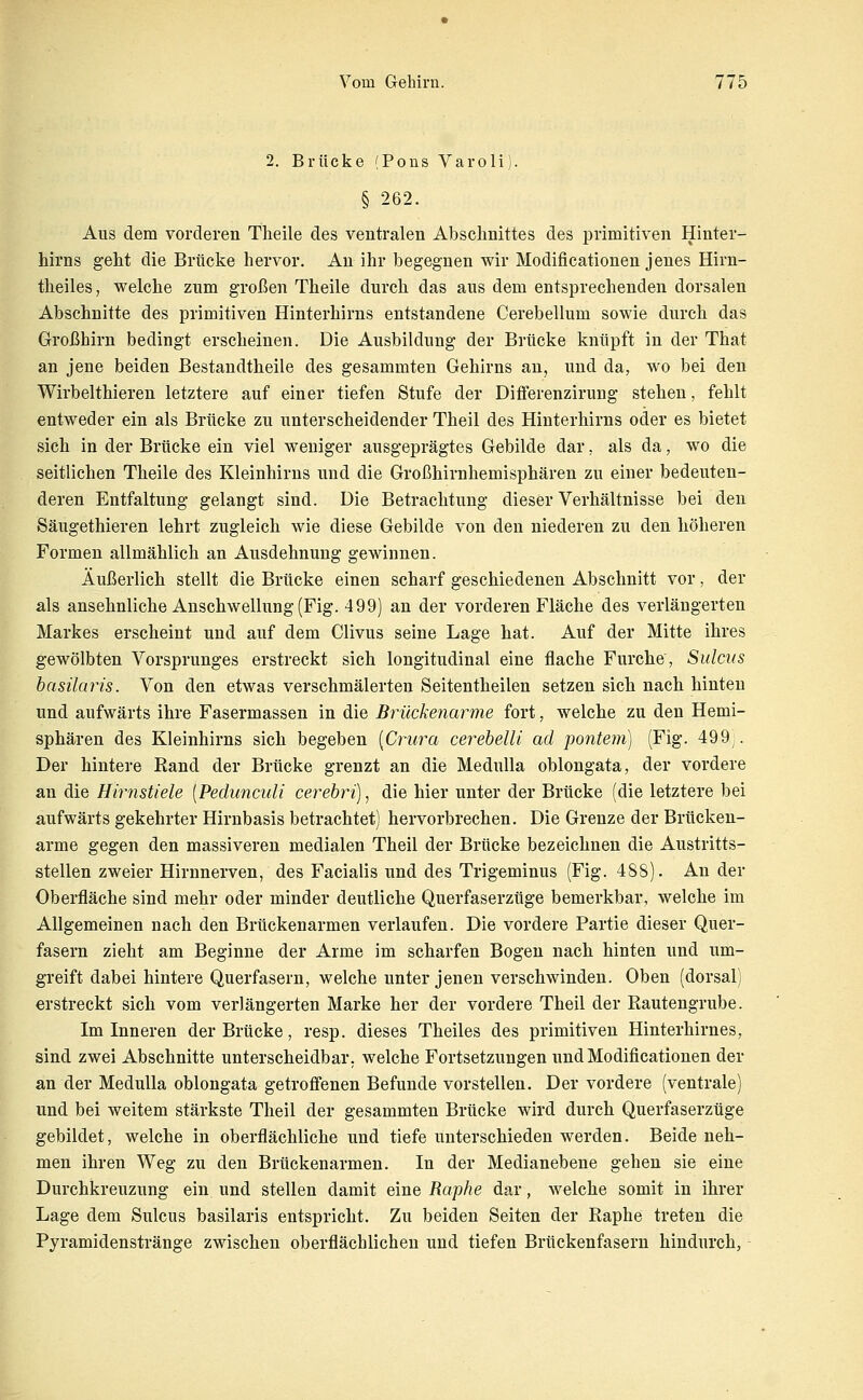 2. Brücke (Pons Varoli). § 262. Aus dem vorderen Theile des ventralen Abschnittes des primitiven Hinter- hii'ns gellt die Brücke hervor. An ihr begegnen wir Modificationen jenes Hirn- theiles, welche zum großen Theile durch das aus dem entsprechenden dorsalen Abschnitte des primitiven Hinterhirns entstandene Cerebellum sowie durch das Großhirn bedingt erscheinen. Die Ausbildung der Brücke knüpft in der That an jene beiden Bestandtheile des gesammten Gehirns an, und da, wo bei den Wirbelthieren letztere auf einer tiefen Stufe der Ditferenzirung stehen, fehlt entweder ein als Brücke zu unterscheidender Theil des Hinterhirns oder es bietet sich in der Brücke ein viel weniger ausgeprägtes Gebilde dar, als da, wo die seitlichen Theile des Kleinhirns und die Großhirnhemisphären zu einer bedeuten- deren Entfaltung gelangt sind. Die Betrachtung dieser Verhältnisse bei den Säugethieren lehrt zugleich wie diese Gebilde von den niederen zu den höheren Formen allmählich an Ausdehnung gewinnen. Äußerlich stellt die Brücke einen scharf geschiedenen Abschnitt vor, der als ansehnliche Anschwellung (Fig. 499) an der vorderen Fläche des verlängerten Markes erscheint und auf dem Clivus seine Lage hat. Auf der Mitte ihres gewölbten Vorsprunges erstreckt sich longitudinal eine flache Furche, Sulcvs basüaris. Von den etwas verschmälerten Seitentheilen setzen sich nach hinten und aufwärts ihre Fasermassen in die Brückenarme fort, welche zu den Hemi- sphären des Kleinhirns sich begeben [Crura cerehelU ad pontem) (Fig. 499^. Der hintere Eand der Brücke grenzt an die MeduUa oblongata, der vordere an die Hirnstiele [Pedunculi cerebri), die hier unter der Brücke (die letztere bei aufwärts gekehrter Hirnbasis betrachtet) hervorbrechen. Die Grenze der Brücken- arme gegen den massiveren medialen Theil der Brücke bezeichnen die Austritts- stellen zweier Hirnnerven, des Facialis und des Trigeminus (Fig. 488). Au der Oberfläche sind mehr oder minder deutliche Querfaserzüge bemerkbar, welche im Allgemeinen nach den Brückenarmen verlaufen. Die vordere Partie dieser Quer- fasern zieht am Beginne der Arme im scharfen Bogen nach hinten und um- greift dabei hintere Querfasern, welche unter jenen verschwinden. Oben (dorsal) erstreckt sich vom verlängerten Marke her der vordere Theil der Rautengrube. Im Inneren der Brücke, resp. dieses Theiles des primitiven Hinterhirnes, sind zwei Abschnitte unterscheidbar. welche Fortsetzungen und Modificationen der an der Medulla oblongata getroffenen Befunde vorstellen. Der vordere (ventrale) und bei weitem stärkste Theil der gesammten Brücke wird durch Querfaserzüge gebildet, welche in oberflächliche und tiefe unterschieden werden. Beide neh- men ihren Weg zu den Brückenarmen. In der Medianebene gehen sie eine Durchkreuzung ein und stellen damit eine Raphe dar, welche somit in ihrer Lage dem Sulcus basilaris entspricht. Zu beiden Seiten der Raphe treten die Pyramidenstränge zwischen oberflächlichen und tiefen Brückenfasern hindurch,