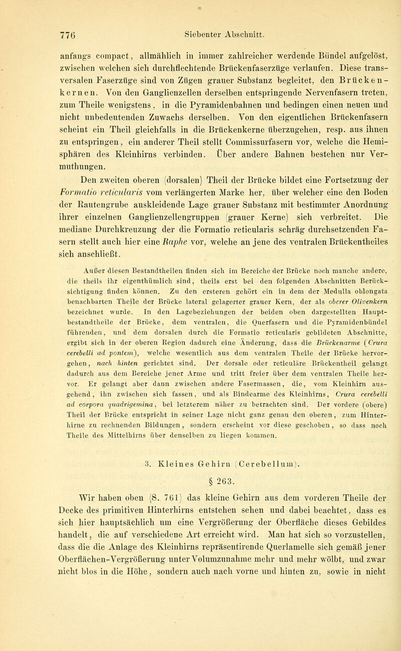 anfangs compact, allmählich in immer zahlreicher werdende Bündel aufgelöst, zwischen welchen sich durchflechtende Biiickenfaserzüge verlaufen. Diese trans- versalen Faserzüge sind von Zügen grauer Substanz begleitet, den Brücken- kernen. Von den Ganglienzellen derselben entspringende Nervenfasern treten, zum Theile wenigstens , in die Pyramidenbahnen und bedingen einen neuen und nicht unbedeutenden Zuwachs derselben. Von den eigentlichen Brückenfasern scheint ein Theil gleichfalls in die Brückenkerne überzugehen, resp. aus ihnen zu entspringen, ein anderer Theil stellt Commissurfasern vor, welche die Hemi- sphären des Kleinhirns verbinden. Über andere Bahnen bestehen nur Ver- muthungen. Den zweiten oberen (dorsalen) Theil der Brücke bildet eine Fortsetzung der Formatio reticularis vom verlängerten Marke her, über welcher eine den Boden der Rautengrube auskleidende Lage grauer Substanz mit bestimmter Anordnung ihrer einzelnen Ganglienzellengruppen (grauer Kerne) sich verbreitet. Die mediane Durchkreuzung der die Formatio reticularis schräg durchsetzenden Fa- sern stellt auch hier eine Raphe vor, welche an jene des ventralen Brückentheiles sich anschließt. Außer diesen Bestandtheilen finden sicli im Bereiche der Brücke noch manche andere, die theils ihr eigenthümlich sind, theils erst bei den folgenden Abschnitten Berück- sichtigung finden können. Zu den ersteren gehört ein in dem der Medulla oblongata benachbarten Theile der Brücke lateral gelagerter grauer Kern, der als oberer Olivenkern bezeichnet wurde. In den Lagebeziehungen der beiden oben dargestellten Haupt- bestandtheile der Brücke, dem ventralen, die Querfasern und die Pyramidenbündel führenden, und dem dorsalen durch die Formatio reticularis gebildeten Abschnitte, ergibt sich in der oberen Region dadurch eine Änderung, dass die Brückenarme (^Crura cerebelli ad ponteni), welche wesentlich aus dem ventralen Theile der Brücke hervor- gehen , nach hinten gerichtet sind. Der dorsale oder reticuläre Brückentheil gelangt dadurch aus dem Bereiche jener Arme und tritt freier über dem ventralen Theile her- vor. Er gelangt aber dann zwischen andere Fasermassen, die, vom Kleinhirn aus- gehend, ihn zwischen sich fassen, und als Bindearme des Kleinhirns, Crura cerebelli ad Corpora quadrigemina, bei letzterem näher zu betrachten sind. Der vordere (obere) Theil der Brücke entspricht in seiner Lage nicht ganz genau den oberen, zum Hinter- hirne zu rechnenden Bildungen, sondern erscheint vor diese geschoben, so dass noch Theile des Mittelhirns über denselben zu liegen kommen. 3. Kleines Gehirn (Cerebellum). § 263. Wir haben oben (S. 761) das kleine Gehirn aus dem vorderen Theile der Decke des primitiven Hinterhirns entstehen sehen und dabei beachtet, dass es sich hier hauptsächlich um eine Vergrößerung der Oberfläche dieses Gebildes handelt, die auf verschiedene Art erreicht wird. Man hat sich so vorzustellen, dass die die Anlage des Kleinhirns repräsentirende Querlamelle sich gemäß jener Oberflächen-Vergrößerung unter Volumznnahme mehr und mehr wölbt, und zwar nicht blos in die Höhe, sondern auch nach vorne und hinten zu, sowie in nicht
