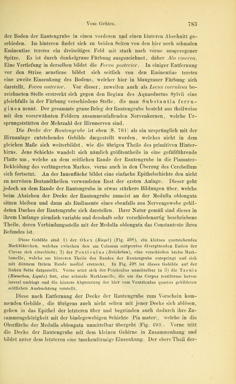 der Boden der Rautengrube in einen vorderen nnd einen hinteren Abschnitt ge- schieden. Im hinteren findet sich zu beiden Seiten von den hier noch schmalen Eminentiae teretes ein dreiseitiges Feld mit stark nach vorne ausgezogener Spitze. Es ist durch dunkelgraue Färbung ausgezeichnet, daher Ala cinerea. Eine Vertiefung in derselben bildet die Fovea posterior. In einiger Entfernung vor den Striae acusticae bildet sich seitlich von den Eminentiae teretes eine zweite Einsenkung des Bodens, welcher hier in blaugrauer Färbung sich darstellt, Fovea anterior. Vor dieser, zuweilen auch als Locus coeruleus be- zeichneten Stelle erstreckt sich gegen den Beginn des Aquaeductus Sylvii eine gleichfalls in der Färbung verschiedene Stelle, die man Substantia ferru- ginea nennt. Der gesammte graue Beleg der Rautengrube besteht aus theilweise mit den vorerwähnten Feldern zusammenfallenden Nervenkernen, welche ür- sprungststätten der Mehrzahl der Hirnnerven sind. Die Decke der Rautengrube ist oben (S, 761) als ein ursprünglich mit der Hirnanlage entstehendes Gebilde dargestellt worden, welches nicht in dem gleichen Maße sich weiterbildet, wie die übrigen Theile des primitiven Hinter- hirns. Jene Schichte wandelt sich nämlich größtentheils in eine gefäßftthrende Platte um , welche an dem seitlichen Rande der Rautengrube in die Piamater- Bekleidung des verlängerten Markes, vorne auch in den Überzug des Cerebellum sich fortsetzt. An der Innenfläche bildet eine einfache Epithelschichte den nicht zu nervösen Bestandtheilen verwendeten Rest der ersten Anlage. Dieser geht jedoch an dem Rande der Rautengrube in etwas stärkere Bildungen über, welche beim Abziehen der Decke der Rautengrube zumeist an der MeduUa oblongata sitzen bleiben und dann als Rudimente eines ebenfalls aus Nervengewebe gebil- deten Daches der Rautengrube sich darstellen. Ihrer Natur gemäß sind dieses in ihrem Umfange ziemlich variable und desshalb sehr verschiedenartig beschriebene Theile, deren Verbindungsstelle mit der Medulla oblongata das Constanteste ihres Befundes ist. Diese Gebilde sind 1) der Ob ex [Riegel') (Fig. 498), ein kleines querstehendes Markblättchen, -STelches zwischen den am Calamus scriptorius divergirenden Enden der Ciavae sich einschiebt; 2) der Ponticulus (^Brückchen), eine verschieden breite Mark- lamelle, welche am hinteren Theile des Randes der Rautengrube entspringt und sich mit dünnem freiem Rande medial erstreckt. In Fig. 498 ist dieses Gebilde auf der linken Seite dargestellt. Vorne setzt sich der Ponticulus unmittelbar in 3) die Taenia {Riemchen, Liguld) fort, eine schmale Marklamelle, die um das Corpus restiforme herum lateral umbiegt und die hintere Abgrenzung der hier vom Ventriculus quartus gebildeten seitlichen Ausbuchtung vorstellt. Diese nach Entfernung der Decke der Rautengrube zum Vorschein kom- menden Gebilde, die übrigens auch nicht selten mit jener Decke sich ablösen, gehen in das Epithel der letzteren über und begründen auch dadurch ihre Zu- sammengehörigkeit mit der bindegewebigen Schichte (Pia mater), welche in die Oberfläche der Medulla oblongata unmittelbar übergeht (Fig. 493). Vorne tritt die Decke der Rautengrube mit dem kleinen Gehirne in Zusammenhang und bildet unter dem letzteren eine taschenförmige Einsenkuns:. Der obere Theil der-