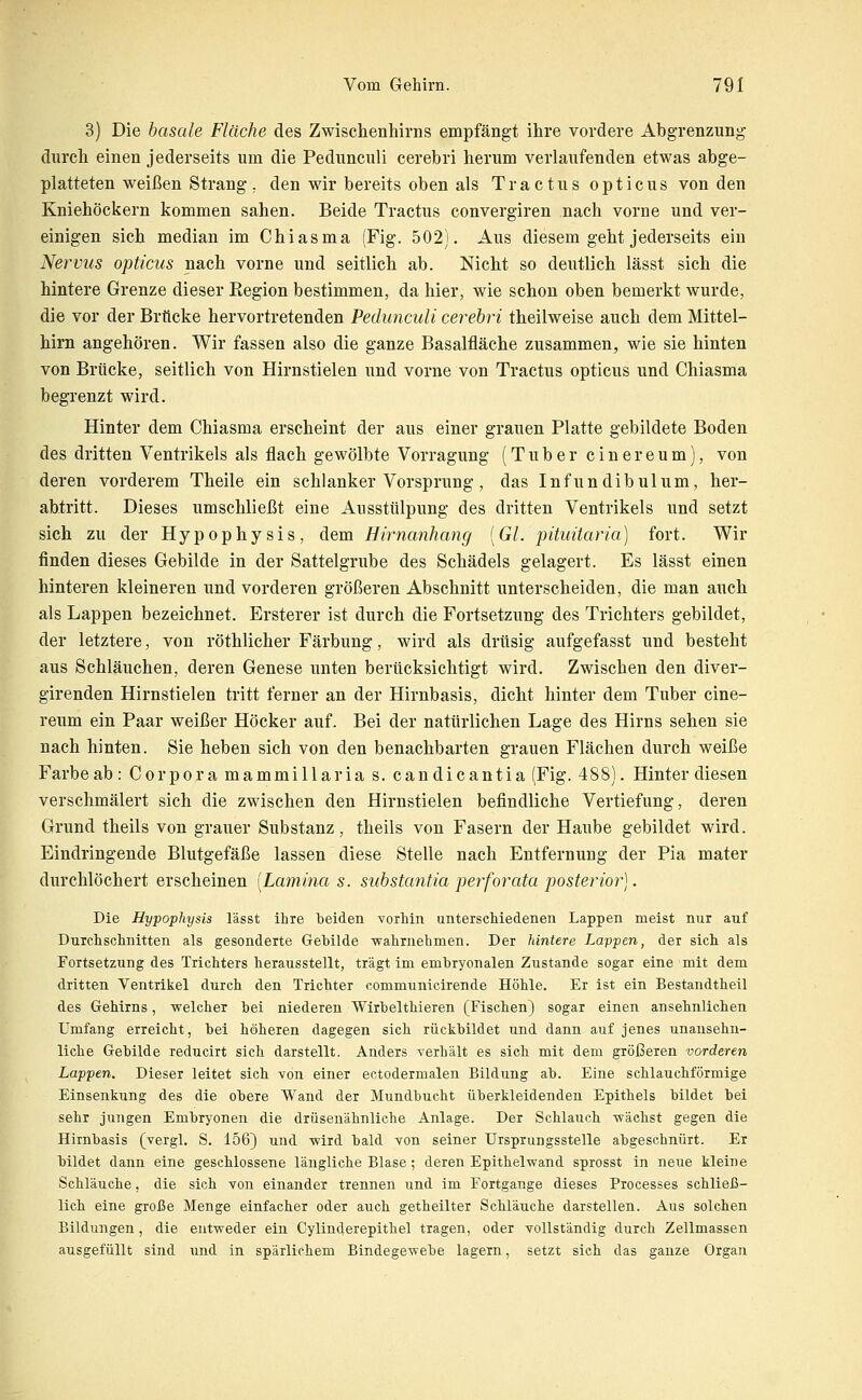3) Die basale Fläche des Zwischenhirns empfängt ihre vordere Abgrenzung durch einen jederseits um die Pedunculi cerebri herum verlaufenden etwas abge- platteten weißen Strang, den wir bereits oben als Tractus opticus von den Kniehöckern kommen sahen. Beide Tractus convergiren nach vorne und ver- einigen sich median im Chiasma (Fig. 502). Aus diesem geht jederseits ein Nervus opticus nach vorne und seitlich ab. Nicht so deutlich lässt sich die hintere Grenze dieser Kegion bestimmen, da hier, wie schon oben bemerkt wurde, die vor der Brücke hervortretenden Pedunculi cerebri theilweise auch dem Mittel- hirn angehören. Wir fassen also die ganze Basalfläche zusammen, wie sie hinten von Brücke, seitlich von Hirnstielen und vorne von Tractus opticus und Chiasma begrenzt wird. Hinter dem Chiasma erscheint der aus einer grauen Platte gebildete Boden des dritten Ventrikels als flach gewölbte Vorragung (Tuber cinereum), von deren vorderem Theile ein schlanker Vorsprung, das Infundibulum, her- abtritt. Dieses umschließt eine Ausstülpung des dritten Ventrikels und setzt sich zu der Hypophysis, dem Hirnanhang [Gl. pituitaria) fort. Wir finden dieses Gebilde in der Sattelgrube des Schädels gelagert. Es lässt einen hinteren kleineren und vorderen größeren Abschnitt unterscheiden, die man auch als Lappen bezeichnet. Ersterer ist durch die Fortsetzung des Trichters gebildet, der letztere, von röthlicher Färbung, wird als drüsig aufgefasst und besteht aus Schläuchen, deren Genese unten berücksichtigt wird. Zwischen den diver- girenden Hirnstielen tritt ferner an der Hirnbasis, dicht hinter dem Tuber cine- reum ein Paar weißer Höcker auf. Bei der natürlichen Lage des Hirns sehen sie nach hinten. Sie heben sich von den benachbarten grauen Flächen durch weiße Farbe ab: Corpora mammillaria s. candicantia (Fig. 488). Hinter diesen verschmälert sich die zwischen den Hirnstielen befindliche Vertiefung, deren Grund theils von grauer Substanz, theils von Fasern der Haube gebildet wird. Eindringende Blutgefäße lassen diese Stelle nach Entfernung der Pia mater durchlöchert erscheinen [Lamina s. substantia perforata posterior]. Die Hypophysis lässt ihre beiden vorMn unterschiedenen Lappen meist nur auf Durchschnitten als gesonderte Gebilde wahrnehmen. Der hintere Lappen, der sich als Fortsetzung des Trichters herausstellt, trägt im embryonalen Zustande sogar eine mit dem dritten Ventrikel durch den Trichter communicirende Höhle. Er ist ein Bestandtheil des Gehirns, welcher bei niederen Wirbelthieren (Fischen) sogar einen ansehnlichen Umfang erreicht, bei höheren dagegen sich rückbildet und dann auf jenes unansehn- liche Gebilde reducirt sich darstellt. Anders verhält es sich mit dem größeren vorderen Lappen. Dieser leitet sich von einer ectodermalen Bildung ab. Eine schlauchförmige Einsenkung des die obere Wand der Mundbucht überkleidendeu Epithels bildet bei sehr jungen Embryonen die drüsenähnliche Anlage. Der Schlauch wächst gegen die Hirnbasis (vergl. S. 156) und wird bald von seiner Ursprungsstelle abgeschnürt. Er bildet dann eine geschlossene längliche Blase ; deren Epithel-wand sprosst in neue kleine Schläuche, die sich von einander trennen und im Fortgange dieses Processes schließ- lich eine große Menge einfacher oder auch getheilter Schläuche darstellen. Aus solchen Bildungen, die entweder ein Cylinderepithel tragen, oder vollständig durch Zellmassen ausgefüllt sind und in spärlichem Bindegewebe lagern, setzt sich das ganze Organ