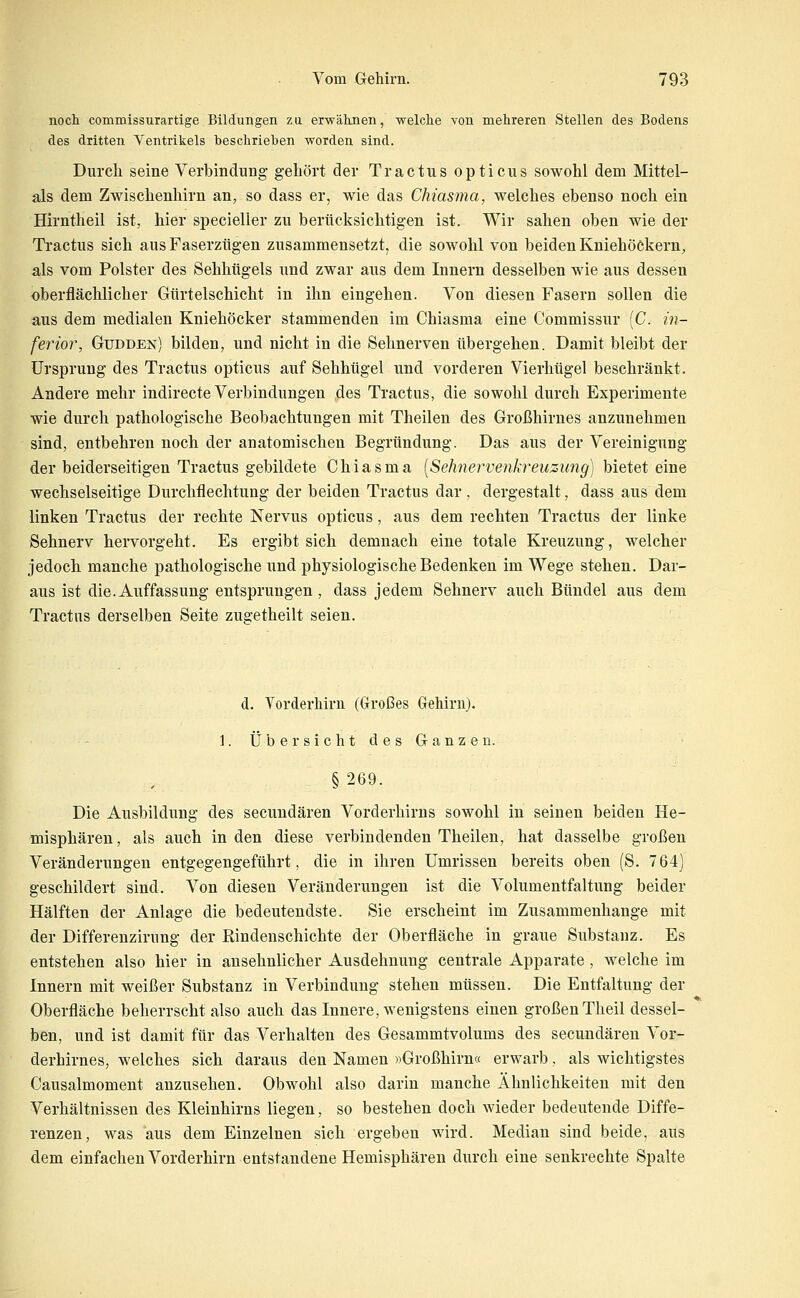 noch commissurartige Bildungen zu erwähnen, -welche von mehreren Stellen des Bodens des dritten Ventrikels beschrieben worden sind. Durch seine Verbindung gehört der Tractus opticus sowohl dem Mittel- als dem Zwischenhirn an, so dass er, wie das Chiasma, welches ebenso noch ein Hirntheil ist, hier specieller zu berücksichtigen ist. Wir sahen oben wie der Tractus sich aus Faserzügen zusammensetzt, die sowohl von beiden KniehöCkern, als vom Polster des Sehhügels und zwar aus dem Innern desselben wie aus dessen oberflächlicher Gürtelschicht in ihn eingehen. Von diesen Fasern sollen die aus dem medialen Kniehöcker stammenden im Chiasma eine Commissur [C. in- ferior, Gudden) bilden, und nicht in die Sehnerven übergehen. Damit bleibt der Ursprung des Tractus opticus auf Sehhtigel und vorderen Vierhügel beschränkt. Andere mehr indirecte Verbindungen des Tractus, die sowohl durch Experimente wie durch pathologische Beobachtungen mit Theilen des Großhirnes anzunehmen sind, entbehren noch der anatomischen Begründung. Das aus der Vereinigung der beiderseitigen Tractus gebildete Chiasma {Sehnervenkreuzung) bietet eine wechselseitige Durchflechtung der beiden Tractus dar, dergestalt, dass aus dem linken Tractus der rechte Nervus opticus, aus dem rechten Tractus der linke Sehnerv hervorgeht. Es ergibt sich demnach eine totale Kreuzung, welcher jedocli manche pathologische und physiologische Bedenken im Wege stehen. Dar- aus ist die.Auffassung entsprungen, dass jedem Sehnerv auch Bündel aus dem Tractus derselben Seite zugetheilt seien. d. Vorderhiru (Großes Gehirn). 1. ÜbersichtdesGanzen. §269. Die Ausbildung des secundären Vorderhirns sowohl in seinen beiden He- misphären, als auch in den diese verbindenden Theilen, hat dasselbe großen Veränderungen entgegengeführt, die in ihren Umrissen bereits oben (S. 764J geschildert sind. Von diesen Veränderungen ist die Volumentfaltung beider Hälften der Anlage die bedeutendste. Sie erscheint im Zusammenhange mit der Differenzirung der Rindenschichte der Oberfläche in graue Substanz. Es entstehen also hier in ansehnlicher Ausdehnung centrale Apparate, welche im Innern mit weißer Substanz in Verbindung stehen müssen. Die Entfaltung der Oberfläche beherrscht also auch das Innere, wenigstens einen großen Theil dessel- ben, und ist damit für das Verhalten des Gesammtvolums des secundären Vor- derhirnes, welches sich daraus den Namen »Großhirn« erwarb, als wichtigstes Causalmomeut anzusehen. Obwohl also darin manche Ähnlichkeiten mit den Verhältnissen des Kleinhirns liegen, so bestehen doch wieder bedeutende Diffe- renzen, was aus dem Einzelnen sich ergeben wird. Median sind beide, aus dem einfachen Vorderhirn entstandene Hemisphären durch eine senkrechte Spalte