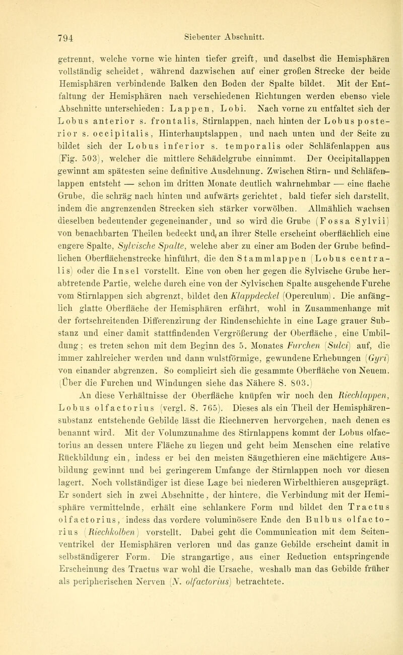 getrennt, welche vorne wie hinten tiefer greift, und daselbst die Hemisphären vollständig scheidet, während dazwischen auf einer großen Strecke der beide Hemisphären verbindende Balken den Boden der Spalte bildet. Mit der Ent- faltung der Hemisphären nach verschiedenen Richtungen werden ebenso viele Abschnitte unterschieden: Lappen, Lobi. Nach vorne zu entfaltet sich der Lobus anterior s. frontalis, Stirnlappen, nach hinten der Lobus poste- rior s. occipitalis, Hinterhauptslappen, und nach unten und der Seite zu bildet sich der Lobus inferior s. temporalis oder Schläfenlappen aus (Fig. 503), welcher die mittlere Schädelgrube einnimmt. Der Occipitallappen gewinnt am spätesten seine definitive Ausdehnung. Zwischen Stirn- und Schläfen- lappen entsteht — schon im dritten Monate deutlich wahrnehmbar — eine flache Grube, die schräg nach hinten und aufwärts gerichtet, bald tiefer sich darstellt, indem die angrenzenden Strecken sich stärker vorwölben. Allmählich wachsen dieselben bedeutender gegeneinander, und so wird die Grube (Fossa Sylvii) von benachbarten Theilen bedeckt und^ an ihrer Stelle erscheint oberflächlich eine engere Spalte, Sylvische Spalte, welche aber zu einer am Boden der Grube befind- lichen Oberflächenstrecke hinführt, die den Stammlappen (Lobus centra- 1 i s I oder die Insel vorstellt. Eine von oben her gegen die Sylvische Grube her- abtretende Partie, welche durch eine von der Sylvischen Spalte ausgehende Furche vom Stirnlappen sich abgrenzt, bildet den Klappdeckel (Operculum). Die anfäng- lich glatte Oberfläche der Hemisphären erfährt, wohl in Zusammenhange mit der fortschreitenden Difi'erenzirung der Rindenschichte in eine Lage grauer Sub- stanz und einer damit stattfindenden Vergrößerung der Oberfläche, eine Umbil- dung ; es treten schon mit dem Beginn des 5. Monates Furchen iSiilci) auf, die immer zahlreicher werden und dann wulstförmige, gewundene Erhebungen [Gyri) von einander abgrenzen. So complicirt sich die gesammte Oberfläche von Neuem. (Über die Furchen und Windungen siehe das Nähere S. 803.) An diese Verhältnisse der Oberfläche knüpfen wir noch den Riechlappen, Lobus olfactorius (vergl. S. 765). Dieses als ein Theil der Hemisphären- substanz entstehende Gebilde lässt die Riechnerven hervorgehen, nach denen es benannt wird. Mit der Volumzunahme des Stirnlappens kommt der Lobus olfac- torius an dessen untere Fläche zu liegen und geht beim Menschen eine relative Rückbildung ein, indess er bei den meisten Säugethieren eine mächtigere Aus- bildung gewinnt und bei geringerem Umfange der Stirnlappen noch vor diesen lagert. Noch vollständiger ist diese Lage bei niederen Wirbelthieren ausgeprägt. Er sondert sich in zwei Abschnitte, der hintere, die Verbindung mit der Hemi- sphäre vermittelnde, erhält eine schlankere Form und bildet den Tractus olfactorius, indess das vordere voluminösere Ende den Bulbus olfacto- rius [Riechkolben) vorstellt. Dabei geht die Communication mit dem Seiten- ventrikel der Hemisphären verloren und das ganze Gebilde erscheint damit in selbständigerer Form. Die strangartige, aus einer Reduction entspringende Erscheinung des Tractus war wohl die Ursache, weshalb man das Gebilde früher als peripherischen Nerven (V. olfactorius) betrachtete.