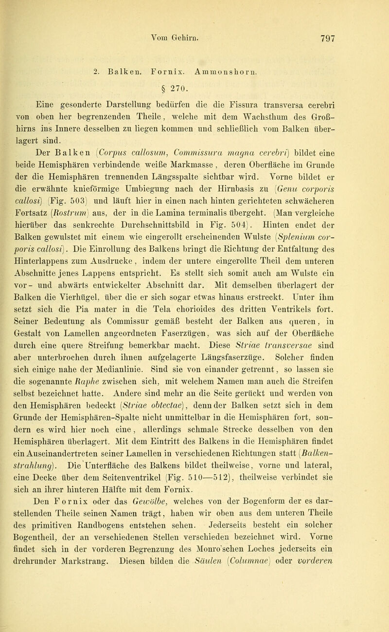2. Balken. Fornix. Ammonshorn. § 270. Eine gesonderte Darstellung bedürfen die die Fissura transversa cerebri von oben her begrenzenden Theile, welclie mit dem Wachsthum des Groß- hirns ins Innere desselben zu liegen kommen und schließlich vom Balken über- lagert sind. Der Balken [Corpus callosum, Commissura magna cerebri) bildet eine beide Hemisphären verbindende weiße Markmasse , deren Oberfläche im Grunde der die Hemisphären trennenden Längsspalte sichtbar wird. Vorne bildet er die erwähnte knieförmige ümbiegung nach der Hirnbasis zu [Genu corporis callosi) (Fig. 503) und läuft hier in einen nach hinten gerichteten schwächeren Fortsatz [Rostrum] aus, der in die Lamina terminalis übergeht. (Man vergleiche hierüber das senkrechte Durchschnittsbild in Fig. 504). Hinten endet der Balken gewulstet mit einem wie eingerollt erscheinenden Wulste [Splenium cor- poris callosi). Die Einrollung des Balkens bringt die Kichtung der Entfaltung des Hinterlappens zum Ausdrucke, indem der untere eingerollte Theil dem unteren Abschnitte jenes Lappens entspricht. Es stellt sich somit auch am Wulste ein vor- und abwärts entwickelter Abschnitt dar. Mit demselben überlagert der Balken die Vierhügel, über die er sich sogar etwas hinaus erstreckt. Unter ihm setzt sich die Pia mater in die Tela chorioides des dritten Ventrikels fort. Seiner Bedeutung als Commissur gemäß besteht der Balken aus queren, in Gestalt von Lamellen angeordneten Faserzügen, was sich auf der Oberfläche durch eine quere Streifung bemerkbar macht. Diese Striae transversae sind aber unterbrochen durch ihnen aufgelagerte Längsfaserzüge. Solcher finden sich einige nahe der Medianlinie. Sind sie von einander getrennt, so lassen sie die sogenannte Raphe zwischen sich, mit welchem Namen man auch die Streifen selbst bezeichnet hatte. Andere sind mehr an die Seite gerückt und werden von den Hemisphären bedeckt [Striae obtectae), denn der Balken setzt sich in dem Grunde der Hemisphären-Spalte nicht unmittelbar in die Hemisphären fort, son- dern es wird hier noch eine, allerdings schmale Strecke desselben von den Hemisphären überlagert. Mit dem Eintritt des Balkens in die Hemisphären findet ein Auseinandertreten seiner Lamellen in verschiedenen Richtungen statt [Balken- strahlung). Die Unterfläche des Balkens bildet theilweise, vorne und lateral, eine Decke über dem Seitenventrikel (Fig. 510—512), theilweise verbindet sie sich an ihrer hinteren Hälfte mit dem Fornix. Den Fornix oder das Gewölbe, welches von der Bogenform der es dar- stellenden Theile seinen Namen trägt, haben wir oben aus dem unteren Theile des primitiven Randbogens entstehen sehen. Jederseits besteht ein solcher Bogentheil, der an verschiedenen Stellen verschieden bezeichnet wird. Vorne findet sich in der vorderen Begrenzung des Monro'schen Loches jederseits ein drehrunder Markstrang. Diesen bilden die Säulen [Columnae) oder vorderen