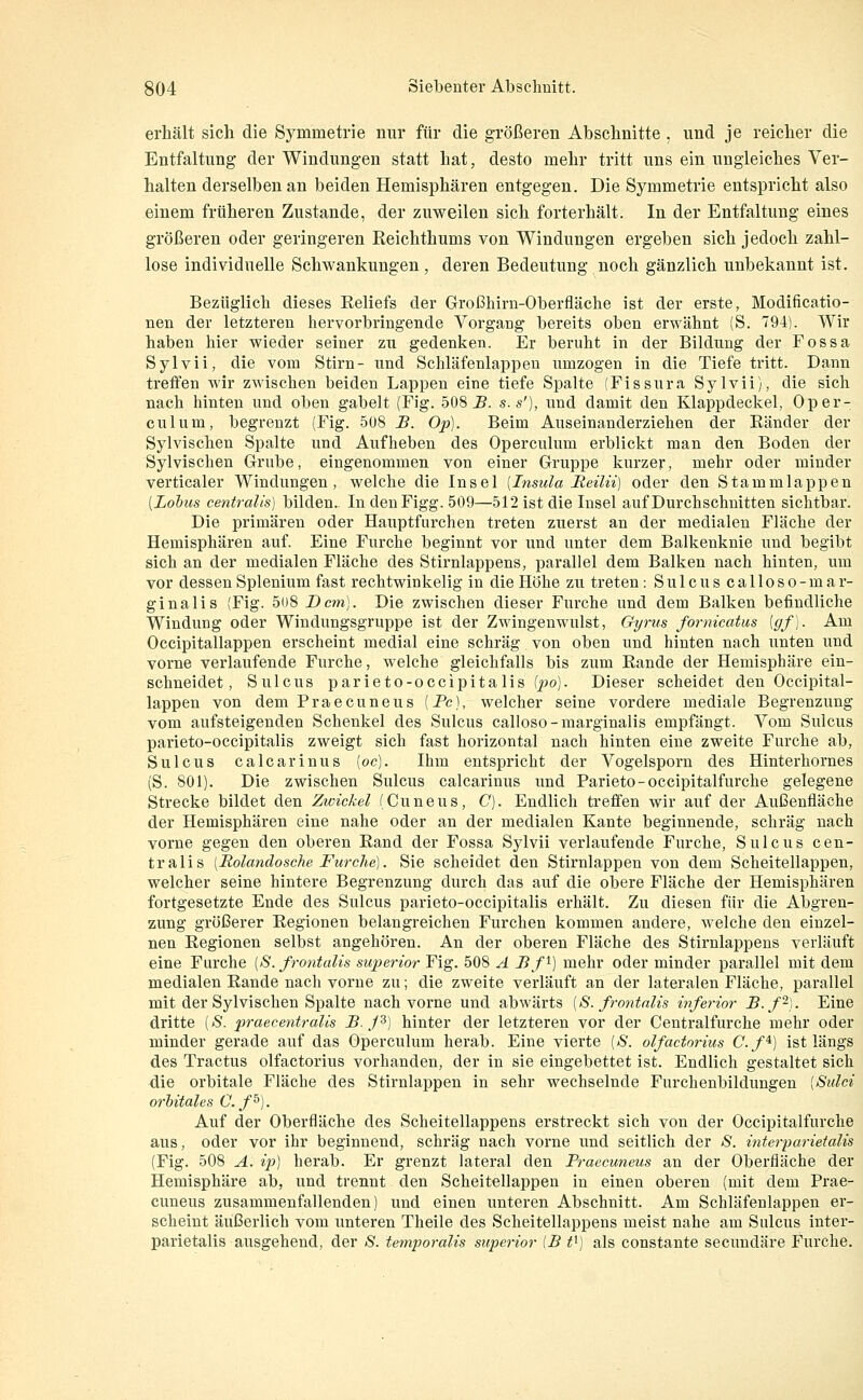 erhält sich die Symmetrie nur für die größeren Abschnitte . und je reicher die Entfaltung der Windungen statt hat, desto mehr tritt uns ein ungleiches Ver- halten derselben an beiden Hemisphären entgegen. Die Symmetrie entspricht also einem früheren Zustande, der zuweilen sich forterhält. In der Entfaltung eines größeren oder geringeren Reichthums von Windungen ergeben sich jedoch zahl- lose individuelle Schwankungen, deren Bedeutung noch gänzlich unbekannt ist. Bezüglich dieses Reliefs der Großhirn-Oberfläche ist der erste, Modificatio- nen der letzteren hervorbringende Vorgang bereits oben erwähnt (S. T94). Wir haben hier wieder seiner zu gedenken. Er beruht in der Bildung der Fossa Sylvii, die vom Stirn- und Schläfenlappen umzogen in die Tiefe tritt. Dann treffen wir zwischen beiden Lappen eine tiefe Spalte (Fissura Sylvii), die sich nach liinten und oben gabelt (Fig. 508 J5. s. s'), und damit den Klappdeckel, Oper- culum, begrenzt (Fig. 508 B. Op). Beim Auseinanderziehen der Ränder der Sylvischen Spalte und Aufheben des Operculum erblickt man den Boden der Sylvischen Grube, eingenommen von einer Gruppe kurzer, mehr oder minder verticaler Windungen, welche die Insel [Insula Reilii) oder den Stammlappen [Lohns centralis) bilden. In denFigg. 509—512 ist die Insel auf Durchschnitten sichtbar. Die primären oder Hauptfnrchen treten zuerst an der medialen Fläche der Hemisphären auf. Eine Furche beginnt vor und unter dem Balkenknie und begibt sich an der medialen Fläche des Stirnlappens, parallel dem Balken nach hinten, um vor dessen Splenium fast rechtwinkelig in die Höhe zu treten: Sulcus calloso-mar- ginalis (Fig. 5o8 Dem). Die zwischen dieser Furche und dem Balken befindliche Windung oder Windungsgruppe ist der Zwingenwulst, Gyrus fornicatus [gf]. Am Occipitallappen erscheint medial eine schräg von oben und hinten nach unten und vorne verlaufende Furche, welche gleichfalls bis zum Rande der Hemisphäre ein- schneidet, Sulcus parieto-occipitalis [po]. Dieser scheidet den Occipital- lappen von dem Praecuneus [Fe], welcher seine vordere mediale Begrenzung vom aufsteigenden Schenkel des Sulcus calloso-marginalis empfängt. Vom Sulcus parieto-occipitalis zweigt sich fast horizontal nach hinten eine zweite Furche ab, Sulcus calcarinus [oc]. Ihm entspricht der Vogelsporn des Hinterhornes (S. 801). Die zwischen Sulcus calcarinus und Parieto-occipitalfurche gelegene Strecke bildet den Zwickel (Cuneus, C). Endlich treffen wir auf der Außenfläche der Hemisphären eine nahe oder an der medialen Kante beginnende, schräg nach vorne gegen den oberen Rand der Fossa Sylvii verlaufende Furche, Sulcus cen- tralis [Rolandosche Furche). Sie scheidet den Stirnlappen von dem Scheitellappen, welcher seine hintere Begrenzung durch das auf die obere Fläche der Hemisphären fortgesetzte Ende des Sulcus parieto-occipitalis erhält. Zu diesen für die Abgren- zung größerer Regionen belangreichen Furchen kommen andere, welche den einzel- nen Regionen selbst angehören. An der oberen Fläche des Stirnlappens verläuft eine Furche [S. frontalis superior Fig. 508 A Bf^) mehr oder minder parallel mit dem medialen Rande nach vorne zu; die zweite verläuft an der lateralen Fläche, parallel mit der Sylvischen Spalte nach vorne und abwärts [S. frontalis inferior B.f~]. Eine dritte [S. praecentralis B. J^) hinter der letzteren vor der Centralfurche mehr oder minder gerade auf das Operculum herab. Eine vierte [S. olfactorius C.f^) ist längs des Tractus olfactorius vorhanden, der in sie eingebettet ist. Endlich gestaltet sich die orbitale Fläche des Stirnlappen in sehr wechselnde Furchenbildungen [Sulci orUtales C.f^). Auf der Oberfläche des Scheitellappens erstreckt sich von der Occipitalfurche aus, oder vor ihr beginnend, schräg nach vorne und seitlich der S. inter-parietalis (Fig. 508 A. ip] herab. Er grenzt lateral den Praecuneus an der Oberfläche der Hemisphäre ab, und trennt den Scheitellappen in einen oberen (mit dem Prae- cuneus zusammenfallenden) und einen unteren Abschnitt. Am Schläfenlappen er- scheint äußerlich vom unteren Theile des Scheitellappens meist nahe am Sulcus inter- parietalis ausgehend, der S. temiyoralis superior IB t^] als constante secundäre Furche.