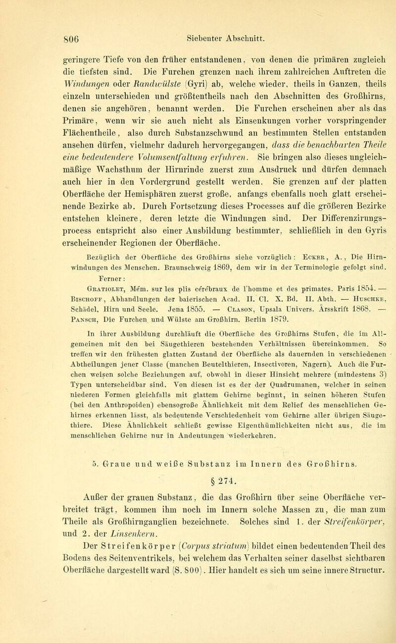 geringere Tiefe von den früher entstandenen, von denen die primären zugleicli die tiefsten sind. Die Furchen grenzen nach ihrem zahlreichen Auftreten die Windungen oder Randivülste (Gyri) ab, welche wieder, theils in Ganzen, theils einzeln unterschieden und größtentheils nach den Abschnitten des Großhirns, denen sie angehören, benannt werden. Die Furchen erscheinen aber als das Primäre, wenn wir sie auch nicht als Einsenkuugen vorher vorspringender Flächentheile, also durch Sabstanzschwund an bestimmten Stellen entstanden ansehen dürfen, vielmehr dadurch hervorgegangen, dass die benachbarten Theile eine bedeutendere Volumsentfaltung erfuhren. Sie bringen also dieses ungleich- mäßige Wachsthum der Hirnrinde zuerst zum Ausdruck und dürfen demnach auch hier in den Vordergrund gestellt werden. Sie grenzen auf der platten Oberfläche der Hemisphären zuerst große, anfangs ebenfalls noch glatt erschei- nende Bezirke ab. Durch Fortsetzung dieses Processes auf die größeren Bezirke entstehen kleinere, deren letzte die Windungen sind. Der Differenziruugs- process entspricht also einer Ausbildung bestimmter, schließlich in den Gyris erscheinender Regionen der Oberfläche. Bezüglich der Oberfläche des Großhirns siehe vorzüglich : Eckbe, , A., Die Hirn- ■windungen des Menschen. Braunschweig 1869, dem wir in der Terminologie gefolgt sind. Ferner: Gratiolet, Mem. sur les plis cerebraux de Thomme et des primates. Paris 1854. — Bischoff, Abhandlungen der baierischen Acad. II. Cl. X. Bd. II. Abth. — Huschke, Schädel, Hirn und Seele. Jena 1855. — Clason, Upsala Univers. Arsskrift 1868. — Pansch, Die Furchen und Wülste am Großhirn. Berlin 1879. In ihrer Ausbildung durchläuft die Oberfläche des Großhirns Stufen, die im All- gemeinen mit den bei Säugethieren bestehenden Verhältnissen übereinkommen. So treffen wir den frühesten glatten Zustand der Oberfläche als dauernden in verschiedenen Abtheilungen jener Classe (manchen Beutelthieren, Insectivoren, Nagern). Auch die Fur- chen weisen solche Beziehungen auf, obwohl in dieser Hinsicht mehrere (mindestens 3) Typen unterscheidbar sind. Von diesen ist es der der Quadrumanen, welcher in seinen niederen Formen gleichfalls mit glattem Gehirne beginnt, in seinen höheren Stufen (bei den Anthropoiden) ebensogroße Ähnlichkeit mit dem Relief des menschlichen Ge- hirnes erkennen lässt, als bedeutende Verschiedenheit vom Gehirne aller übrigen Säuge- thiere. Diese Ähnlichkeit schließt gewisse Eigenthümlichkeiten nicht aus, die im menschlichen Gehirne nur in Andeutungen wiederkehren. 5. Graue und weiße Substanz im Innern des Großhirns. §274. Außer der grauen Substanz, die das Großhirn über seine Oberfläche ver- breitet trägt, kommen ihm noch im Innern solche Massen zu, die man zum Theile als Großhirnganglien bezeichnete. Solches sind 1. der Streifenkörper, und 2. der Linsenhern. Der Str ei fenkör per [Corpus striatuni) bildet einen bedeutendenTheil des Bodens des Seitenventrikels, bei welchem das Verhalten seiner daselbst sichtbaren Oberfläche dargestellt ward (S. 800). Hier handelt es sich um seine innere Structur.