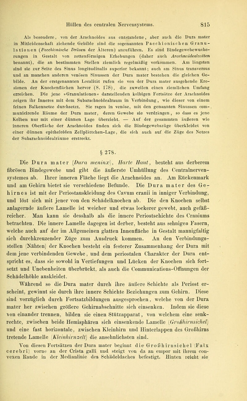 Als 'besondere, -von der Arachnoides aus entstandene, al)er auch die Dura mater in Mitleidenscliaft ziehende Gebilde sind die sogenannten Paechionisclien Granu- lationen {PaccMonische Drüsen der Älteren) anzuführen. Es sind Bindegewebewuche- rungen in Gestalt von zottenförmigen Erhebungen (daher auch Arachnoidealzotten benannt), die an bestimmten Stellen ziemlich regelmäßig vorkommen. Am längsten sind sie zur Seite des Sinus longitudinalis superior bekannt; auch am Sinus transversus und an manchen anderen venösen Sinussen der Dura mater bestehen die gleichen Ge- bilde. An der erstgenannten Localität rufen sie von der Dura mater ausgehende Ero- sionen der Knochenflächen hervor (S. 178), die zuweilen einen ziemlichen Umfang erreichen. Die jene »Granulationen« darstellenden kolbigen Fortsätze der Arachnoides zeigen ihr Inneres mit dem Subarachnoidealraum in Verbindung, wie dieser von einem feinen Balkennetze durchsetzt. Sie ragen in venöse, mit den genannten Sinussen com- municirende Räume der Dura mater, deren Gewebe sie verdrängen, so dass es jene Kolben nur mit einer dünnen Lage überzieht. — Auf der gesammten äußeren wie inneren Oberfläche der Arachnoides finden sich die Bindegewebszüge überkleidet von einer dünnen epitheloiden Zellplättchen-Lage, die sich auch auf die Züge des Netzes der Subarachnoidealränme erstreckt. § 278. Die Dura mater [Dura meninx), Harte Haut, besteht aus derberem fibrösen Bindegewebe und gibt die äußerste Umhüllung des Centralnerven- systemes ab. Ihrer inneren Fläche liegt die Arachnoides an. Am Rückenmark und am Gehirn bietet sie verschiedene Befunde. Die Dura mater des Ge- hirnes ist mit der Periostauskleidung des Cavum cranii in inniger Verbindung, und löst sich mit jener von den Schädelknochen ab. Die den Knochen selbst anlagernde äußere Lamelle ist weicher und etwas lockerer gewebt, auch gefäß- reicher. Man kann sie desshalb als die innere Periostschichte des Craniums betrachten. Die innere Lamelle dagegen ist derber, besteht aus sehnigen Fasern, welche auch auf der im Allgemeinen glatten Innenfläche in Gestalt mannigfaltig sich durchkreuzender Züge zum Ausdruck kommen. An den Verbindungs- stellen (Nähten) der Knochen besteht ein festerer Zusammenhang der Dura mit dem jene verbindenden Gewebe, und dem periostalen Charakter der Dura ent- spricht es, dass sie sowohl in Vertiefungen und Lücken der Knochen sich fort- setzt und Unebenheiten überbrückt, als auch die Communications-Öffnungen der Schädelhöhle auskleidet. Während so die Dura mater durch ihre äußere Schichte als Periost er- scheint, gewinnt sie durch ihre innere Schichte Beziehungen zum Gehirn. Diese sind vorzüglich durch Fortsatzbildungen ausgesprochen, welche von der Dura mater her zwischen größere Gehirnabschnitte sich einsenken. Indem sie diese von einander trennen, bilden sie einen Stützapparat, von welchem eine senk- rechte, zwischen beide Hemisphären sich einsenkende Lamelle {Großhirnsichel) und eine fast horizontale, zwischen Kleinhirn und Hinterlappen des Großhirns tretende Lamelle [Kleinhirnzelt] die ansehnlichsten sind. Von diesen Fortsätzen der Dura mater beginnt die Großhirnsichel (Falx cerebri) vorne an der Crista galli und steigt von da an empor mit ihrem con- vexen Eande in der Medianlinie des Schädeldaches befestigt. Hinten reicht sie