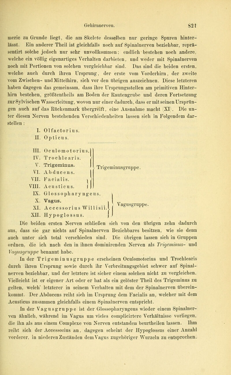 > Trigeminusgruppe. merie zu Grunde liegt, die am Skelete desselben nur geringe Spuren hinter- lässt. Ein anderer Theil ist gleichfalls noch auf Spinalnerven beziehbar, reprä- sentirt solche jedoch nur sehr unvollkommen; endlich bestehen noch andere, welche ein völlig eigenartiges Verhalten darbieten, und weder mit Spinalnerven noch mit Portionen von solchen vergleichbar sind. Das sind die beiden ersten, welche auch durch ihren Ursprung, der erste vom Vorderhirn, der zweite vom Zwischen- und Mittelhirn, sich vor den übrigen auszeichnen. Diese letzteren haben dagegen das gemeinsam, dass ihre Ursprungsstellen am primitiven Hinter- hirn bestehen, größtentheils am Boden der Rautengrube und deren Fortsetzung zur Sylvischen Wasserleitung, wovon nur einer dadurch, dass er mit seinen Ursprün- gen auch auf das Rückenmark übergreift, eine Ausnahme macht (XI). Die un- ter diesen Nerven bestehenden Verschiedenheiten lassen sich in Folgendem dar- stellen : I. Olfactorius. 11. Opticus. III. Oculomotorius.l IV. Trochlearis. , V. Trigeminus. | VI. Abducens. 1 VII. Facialis. ^ , Vni. Acusticus. i j IX. Glossopharyngeus. X. Vagus. XI. Accessorius Willisii. XII. Hypoglossus. Die beiden ersten Nerven schließen sich von den übrigen zehn dadurch aus, dass sie gar nichts auf Spinalnerven Beziehbares besitzen, wie sie denn auch unter sich total verschieden sind. Die übrigen lassen sich in Gruppen ordnen, die ich nach den in ihnen dominirenden Nerven als Trigeminus- und Vagusgruppe benannt habe. In der Trigeminusgruppe erscheinen Oculomotorius und Trochlearis durch ihren Ursprung sowie durch ihr Verbreitungsgebiet schwer auf Spinal- nerven beziehbar, und der letztere ist sicher einem solchen nicht zu vergleichen. Vielleicht ist er eigener Art oder er hat als ein gelöster Theil des Trigeminus zu gelten, welch' letzterer in seinem Verhalten mit dem der Spinalnerven überein- kommt. Der Abducens reiht sich im Ursprung dem Facialis an, welcher mit dem Acusticus zusammen gleichfalls einem Spinalnerven entspricht. In der Vagusgruppe ist der Glossopharyngeus wieder einem Spinalner- ven ähnlich, während im Vagus um vieles complicirtere Verhältnisse vorliegen, die ihn als aus einem Complexe von Nerven entstanden beurtheilen lassen. Ihm reiht sich der Accessorius an, dagegen scheint der Hypoglossus einer Anzahl vorderer, in niederen Zuständen dem Vagus zugehöriger Wurzeln zu entsprechen.