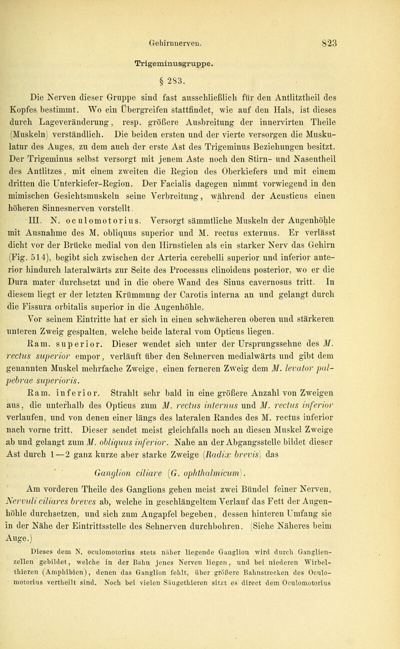 Trigeminusgruppe. § 283. Die Nerven dieser Gruppe sind fast ausscUießlicli für den Antlitztlieil des Kopfes bestimmt. Wo ein Übergreifen stattfindet, wie auf den Hals, ist dieses durch Lageveränderung, resp. größere Ausbreitung der innervirten Theile (Muskeln) verständlich. Die beiden ersten und der vierte versorgen die Musku- latur des Auges, zu dem auch der erste Ast des Trigeminus Beziehungen besitzt. Der Trigeminus selbst versorgt mit jenem Aste noch den Stirn- und Nasentheil des Antlitzes, mit einem zweiten die Region des Oberkiefers und mit einem dritten die Unterkiefer-Region. Der Facialis dagegen nimmt vorwiegend in den mimischen Gesichtsmuskeln seine Verbreitung, während der Acusticus einen höheren Sinnesnerven vorstellt. III. N. oculomotorius. Versorgt sämmtliche Muskeln der Augenhöhle mit Ausnahme des M. obliquus superior und M. rectus externus. Er verlässt dicht vor der Brücke medial von den Hirnstielen als ein starker Nerv das Gehirn (Fig. 514), begibt sich zwischen der Arteria cerebelli superior und inferior ante- rior hindurch lateralwärts zur Seite des Processus clinoideus posterior, wo er die Dura mater durchsetzt und in die obere Wand des Sinus cavernosus tritt. In diesem liegt er der letzten Krümmung der Carotis interna an und gelangt durch die Fissura orbitalis superior in die Augenhöhle. Vor seinem Eintritte hat er sich in einen schwächeren oberen und stärkeren unteren Zweig gespalten, welche beide lateral vom Opticus liegen. Ram. superior. Dieser wendet sich unter der ürsprungssehne des M. rectus superior empor, verläuft über den Sehnerven medialwärts und gibt dem genannten Muskel mehrfache Zweige, einen ferneren Zweig dem M. levator pal- pebrae superioris. Ram. inferior. Strahlt sehr bald in eine größere Anzahl von Zweigen aus, die unterhalb des Opticus zum M. rectus internus und M. rectus inferior verlaufen, und von denen einer längs des lateralen Randes des M. rectus inferior nach vorne tritt. Dieser sendet meist gleichfalls noch an diesen Muskel Zweige ab und gelangt zumif. obliquus inferior. Nahe an der Abgangsstelle bildet dieser Ast durch 1—2 ganz kurze aber starke Zweige [Radix brevis) das Ganglion ciliare [G. ophthalmicum). Am vorderen Theile des Ganglions gehen meist zwei Bündel feiner Nerven, Nervuli ciliares breves ab, welche in geschlängeltem Verlauf das Fett der Augen- höhle durchsetzen, und sich zum Augapfel begeben, dessen hinteren Umfang sie in der Nähe der Eintrittsstelle des Sehnerven durchbohren. (Siehe Näheres beim Auge.) Dieses dem N. oculomotorius stets nälier liegende Gaüglion -wird durch Ganglien- zellen gebildet, welche in der Bahn jenes Nerven liegen, und bei niederen Wirbel- thieren (Amphibien), denen das Ganglion fehlt, über größere Bahnstrecken des Oculo- motorius vertheilt sind. Noch bei vielen Säugethieren sitzt es direct dem Oculomotorius