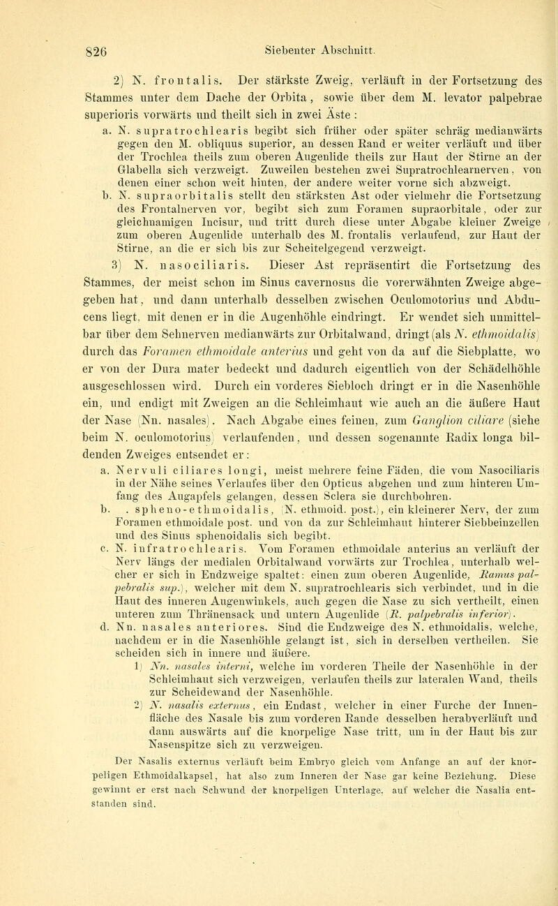 2) N. frontalis. Der stärkste Zweig, verläuft in der Fortsetzung des Stammes unter dem Dache der Orbita, sowie über dem M. levator palpebrae superioris vorwärts und theilt sicli in zwei Äste : a. N. supratroclilearis begibt sich früher oder später schräg medianwärts gegen den M. obliqiuis superior, an dessen Rand er weiter verläuft und über der Trochlea theils zum oberen Augenlide theils zur Haut der Stirne an der Glabella sich verzweigt. Zuweilen bestehen zwei Supratrochlearnerven, von denen einer schon weit hinten, der andere weiter vorne sich abzweigt. b. N. supraorbitalis stellt den stärksten Ast oder vielmehr die Fortsetzung des Frontaluerven vor, begibt sich zum Foramen supraorbitale, oder zur gleichnamigen Incisur, und tritt durch diese unter Abgabe kleiner Zweige zum oberen Augenlide unterhalb des M. frontalis verlaufend, zur Haut der Stirne, an die er sich bis zur Scheitelgegend verzweigt. 3) N. nasociliaris. Dieser Ast repräsentirt die Fortsetzung des Stammes, der meist schon im Sinus cavernosus die vorerwähnten Zweige abge- geben hat, und dann unterhalb desselben zwischen Oculomotorius und Abdu- cens liegt, mit denen er in die Augenhöhle eindringt. Er wendet sich unmittel- bar über dem Sehnerven medianwärts zur Orbitalwand, dringt (als N. ethmoidalis] durch das Foramen etkmoidale anterius und geht von da auf die Siebplatte, wo er von der Dura mater bedeckt und dadurch eigentlich von der Schädelhöhle ausgeschlossen wird. Durch ein vorderes Siebloch dringt er in die Nasenhöhle ein, und endigt mit Zweigen an die Schleimhaut wie auch an die äußere Haut der Nase (Nn. nasales). Nach Abgabe eines feinen, zum Ganglion ciliare (siehe beim N. oculomotoriuS; verlaufenden, und dessen sogenannte Radix longa bil- denden Zweiges entsendet er: a. Nervuli ciliares longi, meist mehrere feine Fäden, die vom Nasociliaris in der Nähe seines Verlaufes über den Opticus abgehen und zum hinteren Um- fang des Augapfels gelangen, dessen Sclera sie durchbohren. b. . spheno-e thmoidalis, (N. ethmoid. post.), ein kleinerer Nerv, der zum Foramen ethmoidale post. und von da zur Schleimhaut hinterer Siebbeinzellen und des Sinus sphenoidalis sich begibt. c. N. infratr 0 chleari s. Vom Foramen ethmoidale anterius an verläuft der Nerv längs der medialen Orbitalwand vorwärts zur Trochlea, imterhalb wel- cher er sich in Endzweige spaltet: einen zum oberen Augenlide, Mamus pal-^ pebralis sup.), welcher mit dem N. supratrochlearis sich verbindet, und in die Haut des inneren Augenwinkels, auch gegen die Nase zu sich vertheilt, einen unteren zum Thränensack und untern Augenlide [R. paljiebralis inferior). d. Nn. nasales anteriores. Sind die Endzweige des N. ethmoidalis, welche, nachdem er in die Nasenhöhle gelangt ist, sich in derselben vertheilen. Sie scheiden sich in innere und äußere. 1) Xn. nasales interni, welche im vorderen Theile der Nasenhöhle in der Sehleimhaut sich verzweigen, verlaufen theils zur lateralen Wand, theils zur Scheidewand der Nasenhöhle. 2) N. nasalis externus, ein Endast, welcher in einer Furche der Innen- fläche des Nasale bis zum vorderen Rande desselben herabverläuft und dann auswärts auf die knorpelige Nase tritt, um in der Haut bis zur Nasenspitze sich zu verzweigen. Der Nasalis externus verläuft beim Embryo gleicb vom Anfange an auf der knor- peligen Etbmoidalkapsel, bat also zum Inneren der Nase gar keine Beziebung. Diese geveinnt er erst nacb Scbwund der knorpeligen Unterlage, auf vrelcber die Nasalia ent- standen sind.