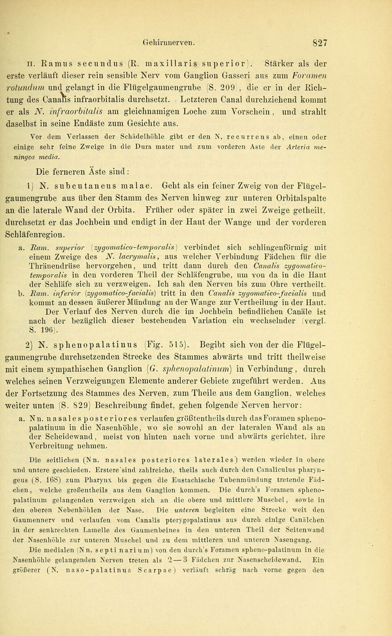 II. Ramiis seciiudus (R. maxillaris snperiori. Stärker als der erste verläuft dieser rein sensible Nerv vom Ganglion Gasseri ans zum Foramen rotundum und gelangt in die Flügelgaumengrube (S. 209 , die er in der Ricli- tung des Canaus infraorbitalis durchsetzt. Letzteren Canal durchziehend kommt er als N. infraorhitalis am gleichnamigen Loche zum Vorschein, und strahlt daselbst in seine Endäste zum Gesichte aus. Vor dem Verlassen der Schädelhöhle gibt er den N. recurrens ab, einen oder einige sehr feine Zweige in die Dura mater und zum vorderen Aste der Arteria me- ningea media. Die ferneren Äste sind: 1) N. subcutanensmalae. Geht als ein feiner Zweig von der Fltigel- gaumengrube aus über den Stamm des Nerven hinweg zur unteren Orbitalspalte an die laterale Wand der Orbita. Früher oder später in zwei Zweige getheilt, durchsetzt er das Jochbein und endigt in der Haut der Wange und der vorderen Schläfenregion. a. JRmn. sujjerior [zygomatico-temporalis) verbindet sich schlingenförmig mit einem Zweige des N. lacrymalis, aus welcher Verbindung Fädchen für die Thränendrüse hervorgehen, und tritt dann durch den Canalis zygomatico- temporalis in den vorderen Theil der Schläfengrube, um von da in die Haut der Schläfe sich zu verzweigen. Ich sah den Nerven bis zum Ohre vertheilt. b. Mam. inferior [zygomatico-facialis) tritt in den Canalis zygon\atico-facialis und kommt an dessen äußerer Mündung an der Wange zur Vertheilung in der Haut. Der Verlauf des Nerven durch die im Jochbein befindlichen Canäle ist nach der bezüglich dieser bestehenden Variation ein wechselnder (vergl. S. 196). 2) N. sphenopalatinus (Fig. 515). Begibt sich von der die Flügel- gaumengrube durchsetzenden Strecke des Stammes abwärts und tritt theilweise mit einem sympathischen Ganglion (G. sphetiopcdatinimi) in Verbindung, durch welches seinen Verzweigungen Elemente anderer Gebiete zugeführt werden. Aus der Fortsetzung des Stammes des Nerven, zum Theile aus dem Ganglion, welches weiter unten (S. 829) Beschreibung findet, gehen folgende Nerven hervor: a. Nn. nasalesposteriores verlaufen größtentheils durch das Foramen spheno- palatinum in die Nasenhöhle, wo sie sowohl an der lateralen Wand als an der Scheidewand, meist von hinten nach vorne und abwärts gerichtet, ihre Verbreitung nehmen. Die seitlichen (Nn. nasales posteriores laterales) werden wieder in obere und untere geschieden. Erstere'sind zahlreiche, theils auch durch den Canaliculus pharyn- geus (S. 168} zum Pharynx bis gegen die Eustachische Tubenmündung tretende Fäd- chen, welche großentheils aus dem Ganglion kommen. Die dureh's Foramen spheno- palatinum gelangenden verzweigen sich an die obere und mittlere Muschel, sowie in den oberen Nebenhöhlen der Nase. Die unteren begleiten eine Strecke weit den Gaumennerv und verlaufen vom Canalis pterygopalatinus aus durch einige Canälchen in der senkrechten Lamelle des Gaumenbeines in den unteren Theil der Seitenwand der Nasenhöhle zur unteren Muschel und zu dem mittleren und unteren Nasengang. Die medialen (Nn. septi narium) von den dureh's Foramen spheuo-palatinum in die Nasenhöhle gelangenden Nerven treten als 2—3 Fädchen zur Nasenscheidewand. Ein größerer (N. naso-palatinus Scarpae) verläuft schräg nach vorne gegen den