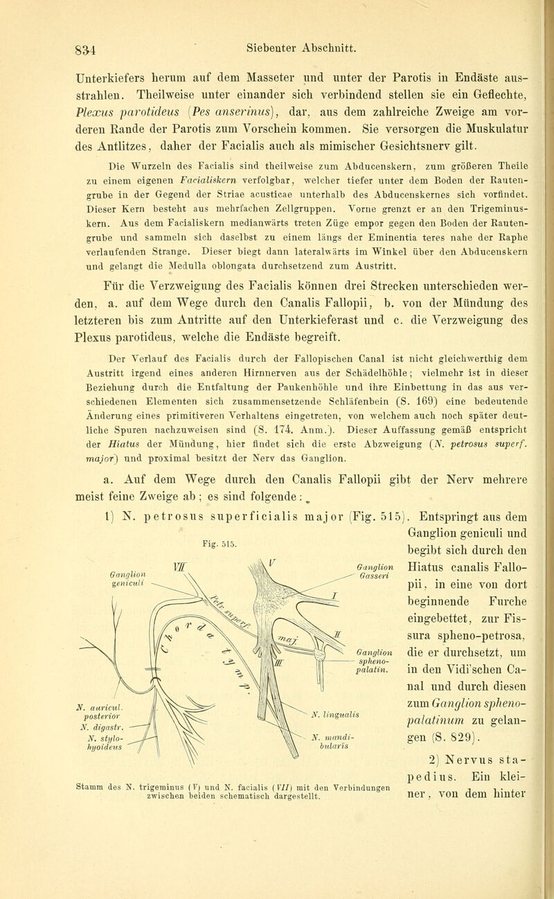 SU Unterkiefers herum auf dem Masseter und unter der Parotis in Endäste aus- strahlen. Theilweise unter einander sich verbindend stellen sie ein Geflechte, Plexus parotideus [Pes anserinus), dar, aus dem zahlreiche Zweige am vor- deren Rande der Parotis zum Vorschein kommen. Sie versorgen die Muskulatur des Antlitzes, daher der Facialis auch als mimischer Gesichtsnerv gilt. Die Wurzeln des Facialis sind theilweise zum Abducenskern, zum größeren Theile zu einem eigenen Facialiskern verfolgbar, welcher tiefer unter dem Boden der Rauten- grube in der Gegend der Striae acusticae unterhalb des Abducenskernes sich vorfindet. Dieser Kern besteht aus mehrfachen Zellgruppen. Vorne grenzt er an den Trigeminus- kern. Aus dem Facialiskern medianwärts treten Züge empor gegen den Boden der Rauten- grube und sammeln sich daselbst zu einem längs der Eminentia teres nahe der Raphe verlaufenden Strange. Dieser biegt dann lateralwärts im Winkel über den Abducenskern und gelangt die Medulla oblongata durchsetzend zum Austritt. Für die Verzweigung des Facialis können drei Strecken unterschieden wer- den, a. auf dem Wege durch den Canalis Fallopii, b. von der Mündung des letzteren bis zum Antritte auf den Unterkieferast und c. die Verzweigung des Plexus parotideus, welche die Endäste begreift. Der Verlauf des Facialis durch der Fallopischen Canal ist nicht gleichwerthig dem Austritt irgend eines anderen Hirnnerven aus der Schädelhöhle; vielmehr ist in dieser Beziehung durch die Entfaltung der Paukenhöhle und ihre Einbettung in das aus ver- schiedenen Elementen sich zusammensetzende Schläfenbein (S. 169) eine bedeutende Änderung eines primitiveren Verhaltens eingetreten, von welchem auch noch später deut- liche Spuren nachzuweisen sind (S. 174. Anm.j. Dieser Auffassung gemäß entspricht der Hiatus der Mündung, hier findet sich die erste Abzweigung (iV. petrosus superf. major) und proximal besitzt der Nerv das Ganglion. a. Auf dem Wege durch den Canalis Fallopii gibt der Nerv mehrere meist feine Zweige ab ; es sind folgende:. 1) N. petrosus superficialis major (Fig. 515) Fig. 515. Ganglion splteno- palatin. iV. lingualis N. mandi- bidaris Stamm des N. trigeminus (Vj und N. facialis (VII) mit den Verbindungen zwisclien beiden schematisch dargestellt. . Entspringt aus dem Ganglion geniculi und begibt sich durch den Hiatus canalis Fallo- pii, in eine von dort beginnende Furche eingebettet, zur Fis- sura spheno-petrosa, die er durchsetzt, um in den Vidi'schen Ca- nal und durch diesen zum Ganglion spheno- palatinum zu gelan- gen (S. 829). 2) Nervus sta- pedius. Ein klei- ner , von dem hinter