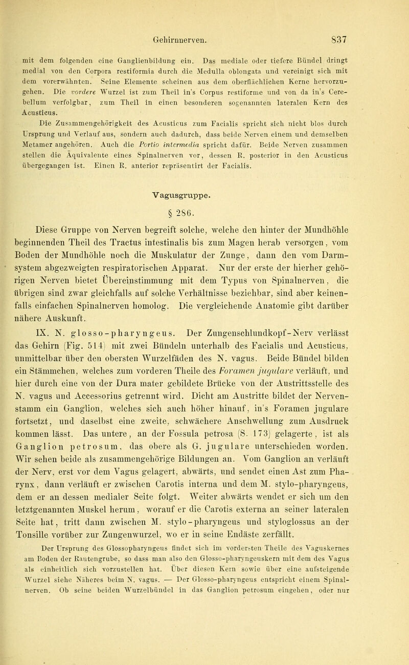 mit dem folgenden eine Ganglienbildung ein. Das mediale oder tiefere Bündel dringt medial von den Corpora restiformia durch die Medulla oblongata und vereinigt sich mit dem vorerwähnten. Seine Elemente scheinen aus dem oberflächlichen Kerne hervorzu- gehen. Die vordere Wurzel ist zum Theil in's Corpus restiforme und von da in's Cere- bellum verfolghar, zum Theil in einen besonderen sogenannten lateralen Kern des Acusticus. Die Zusammengehörigkeit des Acusticus zum Facialis spricht sich nicht blos durch Ursprung und Verlauf aus, sondern auch dadurch, dass beide Nerven einem und demselben Metamer angehören. Auch die Portio intermedia spricht dafür. Beide Nerven zusammen stellen die Äquivalente eines Spinalnerven vor, dessen R. posterior in den Acusticus übergegangen ist. Einen R. anterior repräsentirt der Facialis. Vagusgruppe. § 286. Diese Gruppe von Nerven begreift solche, welche den hinter der Mundhöhle beginnenden Theil des Tractus intestinalis bis zum Magen herab versorgen, vom Boden der Mundhöhle noch die Muskulatur der Zunge, dann den vom Darm- system abgezweigten respiratorischen Apparat. Nur der erste der hierher gehö- rigen Nerven bietet Übereinstimmung mit dem Typus von Spinalnerven, die übrigen sind zwar gleichfalls auf solche Verhältnisse beziehbar, sind aber keinen- falls einfachen Spinalnerven homolog. Die vergleichende Anatomie gibt darüber nähere Auskunft. IX. N. glosso-pharyngeus. Der Zungenschlundkopf-Nerv verlässt das Gehirn (Fig. 514) mit zwei Bündeln unterhalb des Facialis und Acusticus, unmittelbar über den obersten Wurzelfäden des N. vagus. Beide Bündel bilden ein Stämmchen, welches zum vorderen Theile des Foramen jugulare verläuft, und hier durch eine von der Dura mater gebildete Brücke von der Austrittsstelle des N. vagus und Accessorius getrennt wird. Dicht am Austritte bildet der Nerven- stamm ein Ganglion, welches sich auch höher hinauf, in's Foramen jugulare fortsetzt, und daselbst eine zweite, schwächere Anschwellung zum Ausdruck kommen lässt. Das untere, an der Fossula petrosa (S. 173) gelagerte, ist als Ganglion petrosum, das obere als G. jugulare unterschieden worden. Wir sehen beide als zusammengehörige Bildungen an. Vom Ganglion an verläuft der Nerv, erst vor dem Vagus gelagert, abwärts, und sendet einen Ast zum Pha- rynx , dann verläuft er zwischen Carotis interna und dem M. stylo-pharyngeus, dem er an dessen medialer Seite folgt. Weiter abwärts wendet er sich um den letztgenannten Muskel herum, worauf er die Carotis externa an seiner lateralen Seite hat, tritt dann zwischen M. stylo-pharyngeus und styloglossus an der Tonsille vorüber zur Zungenwurzel, wo er in seine Endäste zerfällt. Der Ursprung des Glossopharyngeus findet sich im vordersten Theile des Vaguskernes am Boden der Rautengrube, so dass man also den Glosso-pharyngeuskern mit dem des Vagus als einheitlich sich vorzustellen hat. Über diesen Kern sowie über eine aufsteigende Wurzel siehe Näheres beim N. vagus. .— Der Glosso-pharyngeus entspricht einem Spinal- nerven. Ob seine beiden Wurzelbündel in das Ganglion petrosum eingehen, oder nur