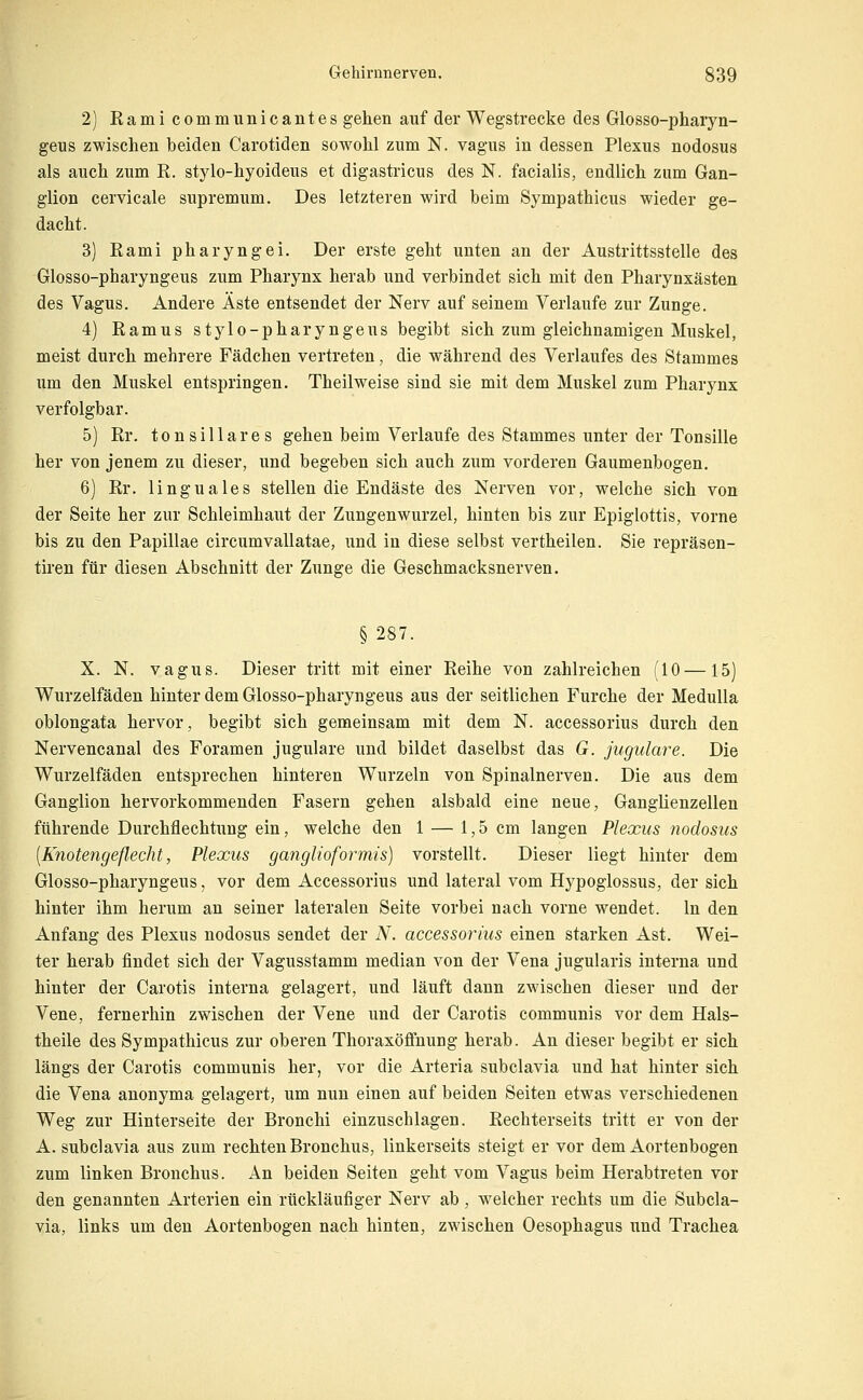 2) Ramicommunicantes gehen auf der Wegstrecke des Glosso-phaiyn- geus zwischen beiden Carotiden sowohl zum N. vagus in dessen Plexus nodosus als auch zum E. stylo-hyoideus et digastricus des N. facialis, endlich zum Gan- glion cervicale supremum. Des letzteren wird beim Sympathicus wieder ge- dacht. 3) Rami pharyngei. Der erste geht unten an der Austrittsstelle des Glosso-pharyngeus zum Pharynx herab und verbindet sich mit den Pharynxästen des Vagus. Andere Äste entsendet der Nerv auf seinem Verlaufe zur Zunge. 4) Ramus stylo-pharyngeus begibt sich zum gleichnamigen Muskel, meist durch mehrere Fädchen vertreten, die während des Verlaufes des Stammes um den Muskel entspringen. Theilweise sind sie mit dem Muskel zum Pharynx verfolgbar. 5) Rr. tonsillares gehen beim Verlaufe des Stammes unter der Tonsille her von jenem zu dieser, und begeben sich auch zum vorderen Gaumenbogen. 6) Rr. linguales stellen die Endäste des Nerven vor, welche sich von der Seite her zur Schleimhaut der Zungenwurzel, hinten bis zur Epiglottis, vorne bis zu den Papulae circumvallatae, und in diese selbst vertheilen. Sie repräsen- tiren für diesen Abschnitt der Zunge die Geschmacksnerven. § 287. X. N. vagus. Dieser tritt mit einer Reihe von zahlreichen (10—15) Wurzelfäden hinter dem Glosso-pharyngeus aus der seitlichen Furche der Medulla oblongata hervor, begibt sich gemeinsam mit dem N. accessorius durch den Nervencanal des Foramen jugulare und bildet daselbst das G. jugulare. Die Wurzelfäden entsprechen hinteren Wurzeln von Spinalnerven. Die aus dem Ganglion hervorkommenden Fasern gehen alsbald eine neue, Ganglienzellen führende Durchflechtung ein, welche den 1 — 1,5 cm langen Plexus nodosus {Knotengeflecht, Plexus ganglioformis) vorstellt. Dieser liegt hinter dem Glosso-pharyngeus, vor dem Accessorius und lateral vom Hypoglossus, der sich hinter ihm herum an seiner lateralen Seite vorbei nach vorne wendet. In den Anfang des Plexus nodosus sendet der N. accessorius einen starken Ast. Wei- ter herab findet sich der Vagusstamm median von der Vena jugularis interna und hinter der Carotis interna gelagert, und läuft dann zwischen dieser und der Vene, fernerhin zwischen der Vene und der Carotis communis vor dem Hals- theile des Sympathicus zur oberen Thoraxöffnung herab. An dieser begibt er sich längs der Carotis communis her, vor die Arteria subclavia und hat hinter sich die Vena anonyma gelagert, um nun einen auf beiden Seiten etwas verschiedenen Weg zur Hinterseite der Bronchi einzuschlagen. Rechterseits tritt er von der A. subclavia aus zum rechten Bronchus, linkerseits steigt er vor dem Aortenbogen zum linken Bronchus. An beiden Seiten geht vom Vagus beim Herabtreten vor den genannten Arterien ein rückläufiger Nerv ab, welcher rechts um die Subcla- via, links um den Aortenbogen nach hinten, zwischen Oesophagus und Trachea