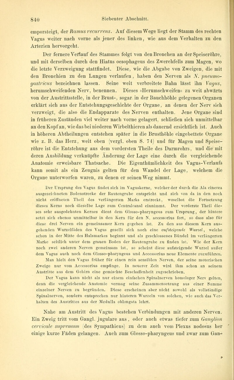 emporsteigt, der Ramus recurrens. Auf diesem Wege liegt der Stamm des rechten Vagus weiter nach vorne als jener des linken, wie aus dem Verhalten zu den Arterien hervorgeht. Der fernere Vefiauf des Stammes folgt von den Bronchen an der Speiseröhre, und mit derselben durch den Hiatus oesophageus des Zwerchfells zum Magen, wo die letzte Verzweigung stattfindet. Diese, wie die Abgabe von Zweigen, die mit den Bronchien zu den Lungen verlaufen, haben den Nerven als N. pneumo- gastricus bezeichnen lassen. Seine weit verbreitete Bahn lässt ihn Vagus, herumschweifenden Nerv, benennen. Dieses »Herumschweifen« zu weit abwärts von der Austrittsstelle, in der Brust-, sogar, in der Bauchhöhle gelegenen Organen erklärt sich aus der Entstehungsgeschichte der Organe, an denen der Nerv sich verzweigt, die also die Endapparate des Nerven enthalten. Jene Organe sind in früheren Zuständen viel weiter nach vorne gelagert, schließen sich unmittelbar an den Kopf an, wie das bei niederen Wirbelthieren als dauernd ersichtlich ist. Auch in höheren Abtheilungen entstehen später in die Brusthöhle eingebettete Organe wie z. B. das Herz, weit oben (vergi. oben S. 74) und für Magen und Speise- röhre ist die Entstehung aus dem vordersten Theile des Darmrohrs, und die mit deren Ausbildung verknüpfte Änderung der Lage eine durch die vergleichende Anatomie erweisbare Thatsache. Die Eigenthümlichkeit des Vagus-Verlaufs kann somit als ein Zeugnis gelten für den Wandel der Lage, welchem die Organe unterworfen waren, zu denen er seinen Weg nimmt. Der Ursprung des Vagus findet sich im Vaguskerne, welcher der durch die Ala cinerea ausgezeichneten Bodenstrecke der Rautengruhe entspricht und sich von da in den noch nicht eröffneten Theil des verlängerten Marks erstreckt, woselbst die Fortsetzung dieses Kerns noch dieselbe Lage zuia Centralcanal einnimmt. Der vorderste Theil die- ses sehr ausgedehnten Kernes dient dem Glosso-pharyngeus zum Ursprung, der hintere setzt sich ebenso unmittelbar in den Kern für den N. accessorius fort, so dass also für diese drei Nerven ein gemeinsamer Kern gegeben ist. Zu den aus diesem Kern aus- gehenden Wurzelfäden des Vagus gesellt sich noch eine aufsteigende Wurzel, welche schon in der Mitte des Halsmarkes beginnt und als geschlossenes Bündel im verlängerten Marke seitlich unter dem grauen Boden der Rautengrube zu finden ist. Wie der Kern noch zwei anderen Nerven gemeinsam ist, so scheint diese aufsteigende Wurzel außer dem Vagus auch noch dem Glosso-pharyngeus und Accessorius neue Elemente zuzuführen. Man hielt den Vagus früher für einen rein sensiblen Nerven, der seine motorischen Zweige nur vom Accessorius empfinge. In neuerer Zeit wird ihm schon an seinem Austritte aus dem Gehirn eine gemischte Beschaffenheit zugeschrieben. Der Vagus kann nicht als nur einem einfachen Spinalnerven homologer Nerv gelten, denn die vergleichende Anatomie vermag seine Zusammensetzung aus einer Summe einzelner Nerven zu begründen. Diese erscheinen aber nicht sowohl als vollständige Spinalnerven, sondern entsprechen nur hinteren Wurzeln von solchen, wie auch das Ver- halten des Austrittes aus der Medulla oblongata lehrt. Nahe am Austritt des Vagus bestehen Verbindungen mit anderen Nerven. Ein Zweig tritt vom Gangl. jugulare aus , oder auch etwas tiefer zum Ganglion cervicale supremum (des Sympathicus) zu dem auch vom Plexus nodosus her einige kurze Fäden gelangen. Auch zum Glosso-pharyngeus und zwar zum Gan- }