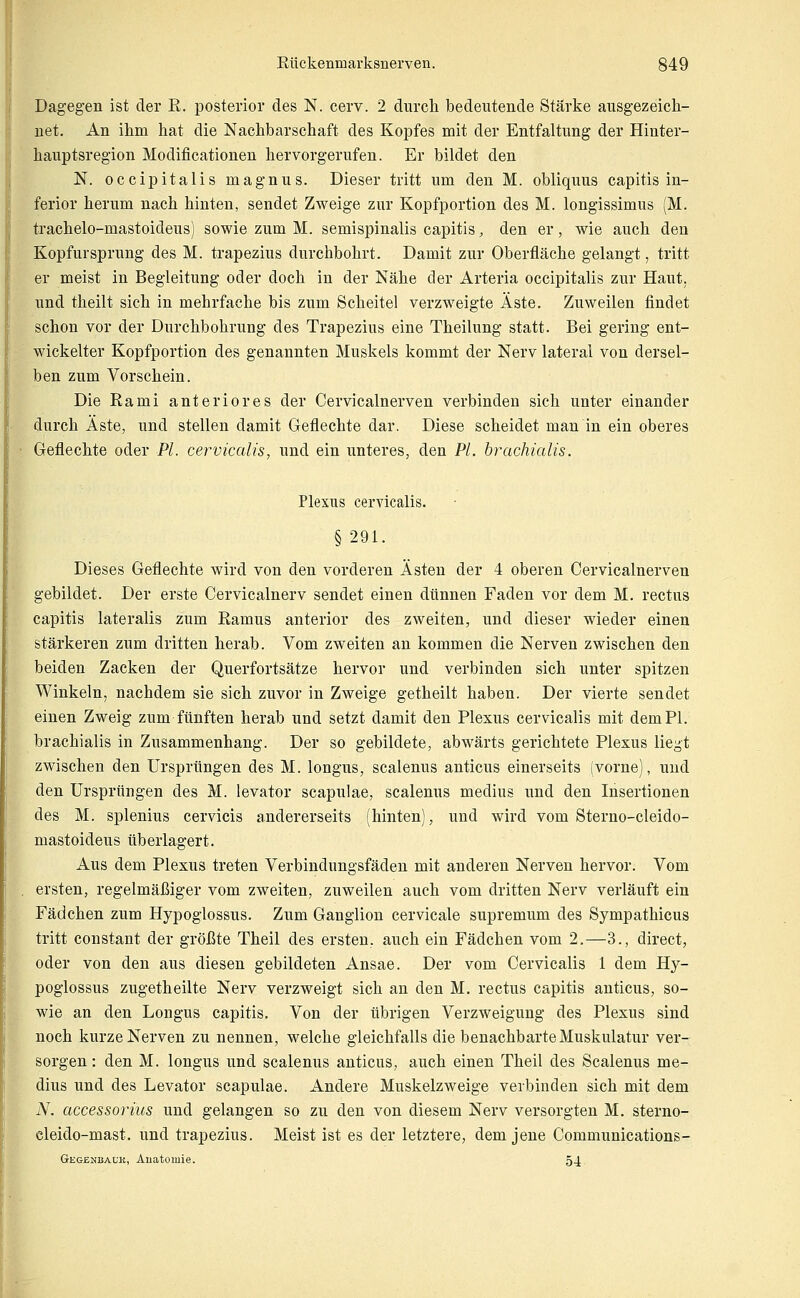 Dagegen ist der E. posterior des N. cerv. 2 diircli bedeutende Stärke ausgezeich- net. An ihm hat die Nachbarschaft des Kopfes mit der Entfaltung der Hinter- hauptsregion Modificationen hervorgerufen. Er bildet den N. occipitalis magnus. Dieser tritt um den M. obliquus capitis in- ferior herum nach hinten, sendet Zweige zur Kopfportion des M. longissimus (M. trachelo-mastoideus) sowie zum M. semispinalis capitis, den er, wie auch den Kopfursprung des M. trapezius durchbohrt. Damit zur Oberfläche gelangt, tritt er meist in Begleitung oder doch in der Nähe der Arteria occipitalis zur Haut, und theilt sich in mehrfache bis zum Scheitel verzweigte Äste. Zuweilen findet schon vor der Durchbohrung des Trapezius eine Theilung statt. Bei gering ent- wickelter Kopfportion des genannten Muskels kommt der Nerv lateral von dersel- ben zum Vorschein. Die Rami anteriores der Cervicalnerven verbinden sich unter einander durch Äste, und stellen damit Geflechte dar. Diese scheidet man in ein oberes Geflechte oder PL cervicalis, und ein unteres, den PL brachialis. Plexus cervicalis. §291. Dieses Geflechte wird von den vorderen Ästen der 4 oberen Cervicalnerven gebildet. Der erste Cervicalnerv sendet einen dünnen Faden vor dem M. rectus capitis lateralis zum Ramus anterior des zweiten, und dieser wieder einen stärkeren zum dritten herab. Vom zweiten an kommen die Nerven zwischen den beiden Zacken der Querfortsätze hervor und verbinden sich unter spitzen Winkeln, nachdem sie sich zuvor in Zweige getheilt haben. Der vierte sendet einen Zweig zum fünften herab und setzt damit den Plexus cervicalis mit dem PI. brachialis in Zusammenhang. Der so gebildete, abwärts gerichtete Plexus liegt zwischen den Ursprüngen des M. longus, scalenus anticus einerseits (vorne), und den Ursprüngen des M. levator scapulae, scalenus medius und den Insertionen des M. splenius cervicis andererseits (hinten), und wird vom Sterno-cleido- mastoideus überlagert. Aus dem Plexus treten Verbindungsfäden mit anderen Nerven hervor. Vom ersten, regelmäßiger vom zweiten, zuweilen auch vom dritten Nerv verläuft ein Fädchen zum Hypoglossus. Zum Ganglion cervicale supremum des Sympathicus tritt constant der größte Theil des ersten, auch ein Fädchen vom 2.—3., direct, oder von den aus diesen gebildeten Ansäe. Der vom Cervicalis 1 dem Hy- poglossus zugetheilte Nerv verzweigt sich an den M. rectus capitis anticus, so- wie an den Longus capitis. Von der übrigen Verzweigung des Plexus sind noch kurze Nerven zu nennen, welche gleichfalls die benachbarte Muskulatur ver- sorgen : den M. longus und scalenus anticus, auch einen Theil des Scalenus me- dius und des Levator scapulae. Andere Muskelzweige verbinden sich mit dem N. accessorius und gelangen so zu den von diesem Nerv versorgten M. sterno- cleido-mast. und trapezius. Meist ist es der letztere, dem jene Commuuications- Gegenbauk, Anatomie. 54■