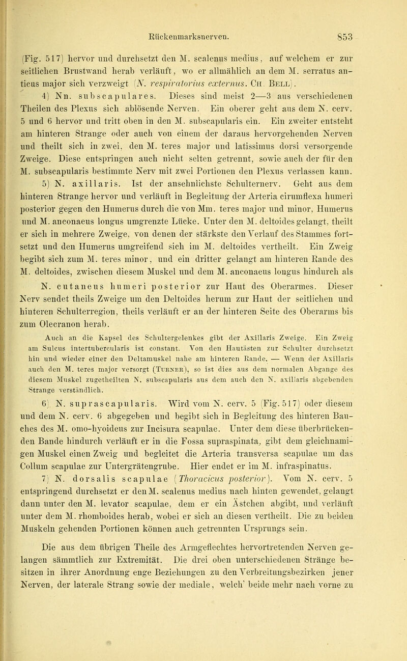 (Fig. 517) hervor und durchsetzt den M. scaleniis medius, auf welchem er zur seitlichen Brustwand herab verläuft, wo er allmählich an dem M. serratus an- ticus major sich verzweigt (A. respiratorius externus. Ch. Bell). 4) Nn. subscapulares. Dieses sind meist 2—3 aus verschiedenen Theilen des Plexus sich ablösende Nerven. Ein oberer geht aus dem N. cerv. 5 und 6 hervor und tritt oben in den M. subscapularis ein. Ein zweiter entsteht am hinteren Strange oder auch von einem der daraus hervorgehenden Nerven und theilt sich in zwei, den M. teres major und latissimus dorsi versorgende Zweige. Diese entspringen auch nicht selten getrennt, sowie auch der für den M. subscapularis bestimmte Nerv mit zwei Portionen den Plexus verlassen kann. 5) N. axillaris. Ist der ansehnlichste Schulternerv. Geht aus dem hinteren Strange hervor und verläuft in Begleitung der Arteria cirumflexa humeri posterior gegen den Humerus durch die von Mm. teres major und minor, Humerus und M. anconaeus longus umgrenzte Lücke. Unter den M. deltoides gelangt, theilt er sich in mehrere Zweige, von denen der stärkste den Verlauf des Stammes fort- setzt und den Humerus umgreifend sich im M. deltoides vertheilt. Ein Zweig begibt sich zum M. teres minor, und ein dritter gelangt am hinteren Rande des M. deltoides, zwischen diesem Muskel und dem M. anconaeus longus hindurch als N. cutaneus humeri posterior zur Haut des Oberarmes. Dieser Nerv sendet theils Zweige um den Deltoides herum zur Haut der seitlichen und hinteren Schulterregion, theils verläuft er an der hinteren Seite des Oberarms bis zum Olecranon herab. Auch an die Kapsel des Schultergelenkes gibt der Axillaris Zweige. Ein Zweig am Sulcus intertubercularis ist constant. Von den Hautästen zur Schulter durchsetzt Mn und wieder einer den Deltamuskel nahe am hinteren Rande. — Wenn der Axillaris auch den M. teres major versorgt (Turner), so ist dies aus dem normalen Abgange des diesem Muskel zugetheilten N. subscapularis aus dem auch den N. axillaris abgebenden Strange Yerst'ändlich. 6) N. suprascapularis. Wird vom N. cerv. 5 (Fig. 517) oder diesem und dem N. cerv. 6 abgegeben und begibt sich in Begleitung des hinteren Bau- ches des M. omo-hyoideus zur Incisura scapulae. Unter dem diese überbrücken- den Bande hindurch verläuft er in die Fossa supraspinata, gibt dem gleichnami- gen Muskel einen Zweig und begleitet die Arteria transversa scapulae um das Collum scapulae zur Untergrätengrube. Hier endet er im M. infraspinatus. 7) N. dorsalis scapulae [Thoracicus posterior). Vom N. cerv. 5 entspringend durchsetzt er denM. scalenus medius nach hinten gewendet, gelangt dann unter den M. levator scapulae, dem er ein Ästchen abgibt, und verläuft unter dem M. rhomboides herab, Avobei er sich an diesen vertheilt. Die zu beiden Muskeln gehenden Portionen können auch getrennten Ursprungs sein. Die aus dem übrigen Theile des Armgeflechtes hervortretenden Nerven ge- langen sämmtlich zur Extremität. Die drei oben unterschiedenen Stränge be- sitzen in ihrer Anordnung enge Beziehungen zu den Verbreituugsbezirken jeuer Nerven, der laterale Strang sowie der mediale, welch' beide mehr nach vorne zu