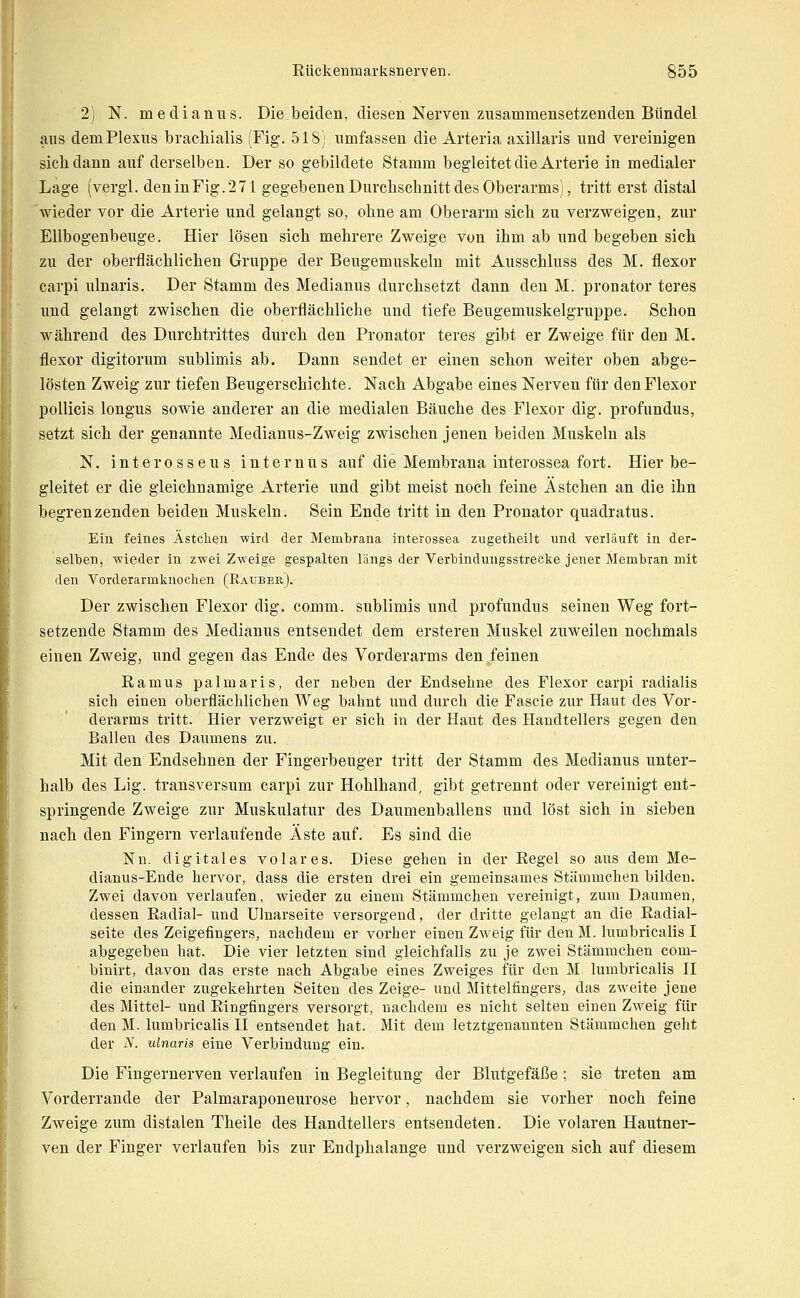 2) N. medianus. Die beiden, diesen Nerven zusammensetzenden Bündel aus dem Plexus brachialis (Fig. 518) umfassen die Arteria axillaris und vereinigen sich dann auf derselben. Der so gebildete Stamm begleitet die Arterie in medialer Lage (vergl. den in Fig.271 gegebenen Durchschnitt des Oberarms), tritt erst distal 'wieder vor die Arterie und gelangt so, ohne am Oberarm sich zu verzweigen, zur Ellbogenbeuge. Hier lösen sich mehrere Zweige von ihm ab und begeben sich zu der oberflächlichen Gruppe der Beugemuskeln mit Ausschluss des M. flexor carpi ulnaris. Der Stamm des Medianus durchsetzt dann den M. pronator teres und gelangt zwischen die oberflächliche und tiefe Beugemuskelgruppe. Schon während des Durchtrittes durch den Pronator teres gibt er Zweige für den M. flexor digitorum sublimis ab. Dann sendet er einen schon weiter oben abge- lösten Zweig zur tiefen Beugerschichte. Nach Abgabe eines Nerven für den Flexor poUicis longus sowie anderer an die medialen Bäuche des Flexor dig. profundus, setzt sich der genannte Medianus-Zweig zwischen jenen beiden Muskeln als N. interosseus internus auf die Membrana interossea fort. Hier be- gleitet er die gleichnamige Arterie und gibt meist noch feine Ästchen an die ihn begrenzenden beiden Muskeln. Sein Ende tritt in den Pronator quadratus. Ein feines Ästclien wird der Membrana interossea zugetheilt und verläuft in der- selben, wieder in zwei Zweige gespalten längs der Verbindungsstrecke jener Membran mit den Vorderarmknochen (Räuber). Der zwischen Flexor dig. comm. sublimis und profundus seinen Weg fort- setzende Stamm des Medianus entsendet dem ersteren Muskel zuweilen nochmals einen Zweig, und gegen das Ende des Vorderarms den feinen Kam US palmar is, der neben der Endsehne des Flexor carpi radialis sich einen oberflächlichen Weg bahnt und durch die Fascie zur Haut des Vor- derarms tritt. Hier verzweigt er sich in der Haut des Handtellers gegen den Ballen des Daumens zu. Mit den Endsehnen der Fingerbeuger tritt der Stamm des Medianus unter- halb des Lig. transversum carpi zur Hohlhand, gibt getrennt oder vereinigt ent- springende Zweige zur Muskulatur des Daumenballens und löst sich in sieben nach den Fingern verlaufende Äste auf. Es sind die Nn. digitales volares. Diese gehen in der Eegel so aus dem Me- dianus-Ende hervor, dass die ersten drei ein gemeinsames Stämmchen bilden. Zwei davon verlaufen, wieder zu einem Stämmchen vereinigt, zum Daumen, dessen Radial- und Ulnarseite versorgend, der dritte gelangt an die Radial- seite des Zeigefingers, nachdem er vorher einen Zweig für den M. lumbricalis I abgegeben hat. Die vier letzten sind gleichfalls zu je zwei Stämmchen com- binirt, davon das erste nach Abgabe eines Zweiges für den M. lumbricalis II die einander zugekehrten Seiten des Zeige- und Mittelfingers, das zweite jene des Mittel- und Ringfingers versorgt, nachdem es nicht selten einen Zweig für den M. lumbricalis II entsendet hat. Mit dem letztgenannten Stämmchen geht der N. ulnaris eine Verbindung ein. Die Fingernerven verlaufen in Begleitung der Blutgefäße; sie treten am Vorderrande der Palmaraponeurose hervor, nachdem sie vorher noch feine Zweige zum distalen Theile des Handtellers entsendeten. Die volaren Hautner- ven der Finger verlaufen bis zur Endphalange und verzweigen sich auf diesem