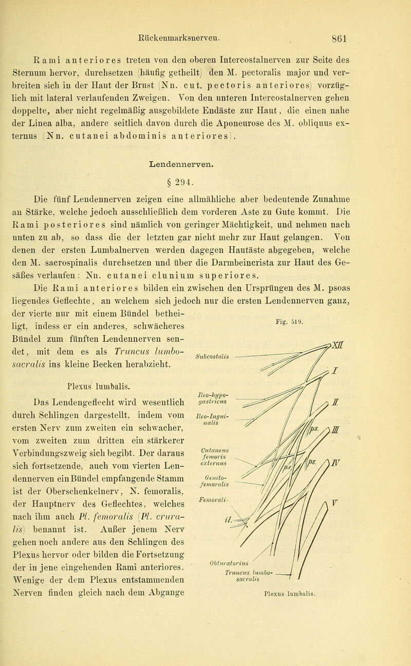 Rami anteriores treten von den oberen Intercostalnerven zur Seite des Sternum hervor, durchsetzen (häufig- getheilt) den M. pectoralis major und ver- breiten sich in der Haut der Brust (Nn. cut. pectoris anteriores) vorzüg- lich mit lateral verlaufenden Zweigen. Von den unteren Intercostalnerven gehen doppelte, aber nicht regelmäßig ausgebildete Endäste zur Haut, die einen nahe der Linea alba, andere seitlich davon durch die Aponeurose des M. obliquus ex- ternus (Nn. cutanei abdominis anteriores). L endennerven. § 294. Fig. 519. Siibcostalis Die fünf Lendennerven zeigen eine allmähliche aber bedeutende Zunahme au Stärke, welche jedoch ausschließlich dem vorderen Aste zu Gute kommt. Die Rami posteriores sind nämlich von geringer Mächtigkeit, und nehmen nach unten zu ab, so dass die der letzten gar nicht mehr zur Haut gelangen. Von denen der ersten Lumbalnerven werden dagegen Hautäste abgegeben, welche den M. sacrospinalis durchsetzen und über die Darmbeincrista zur Haut des Ge- säßes verlaufen : Nn. cutanei clunium superiores. Die Rami anteriores bilden ein zwischen den Ursprüngen des M. psoas liegendes Geflechte, an welchem sich jedoch nur die ersten Lendennerven ganz, der vierte nur mit einem Bündel bethei- ligt, indess er ein anderes, schwächeres Bündel zum fünften Lendennerven sen- det, mit dem es als Truncus lumbo- sacralis ins kleine Becken herabzieht. Plexus lumbalis. Das Lendengeflecht wird wesentlich durch Schlingen dargestellt, indem vom ersten Nerv zum zweiten ein schwacher, vom zweiten zum dritten ein stärkerer Verbindungszweig sich begibt. Der daraus sich fortsetzende, auch vom vierten Len- dennerven ein Bündel empfangende Stamm ist der Oberschenkelnerv, N. femoralis, der Hauptnerv des Geflechtes, welches nach ihm auch PL femoralis [PI. crura- lis] benannt ist. Außer jenem Nerv gehen noch andere aus den Schlingen des Plexus hervor oder bilden die Fortsetzung der in jene eingehenden Rami anteriores. Wenige der dem Plexus entstammenden Nerven finden gleich nach dem Abgange Ohturatorius Truncus lumbo sacralis Plexus lumbalis.