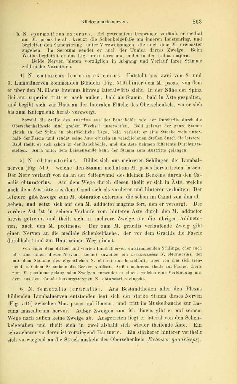 b. N. spermaticus externus. Bei getrenntem Ursprünge verläuft er medial am M. psoas herab, kreuzt die Schenkelgefäße am inneren Leistenring, und begleitet den Samenstrang, unter Verzweigungen, die auch dem M. cremaster zugehen. Im Scrotum sendet er auch der Tunica dartos Zweige. Beim Weibe begleitet er das Lig. uteri teres und endet in den Labia majora. Beide Nerven bieten vorzüglich in Abgang und Verlauf ihrer Stämme zahlreiche Varietäten. 4) N. ciitaneiis femoris externus. Entsteht aus zwei vom 2. und 3. Lumbalnerven kommenden Bündeln (Fig. 519) hinter dem M. psoas, von dem er über den M.iliacus internus hinweg lateralwärts zieht. In der Nähe der Spina ilei ant. superior tritt er nach außen, bald als Stamm, bald in Äste gespalten, und begibt sich zur Haut an der lateralen Fläche des Oberschenkels, wo er sich bis zum Kniegelenk herab verzweigt. Sowohl die Stelle des Austritts aus der Bauchhöhle wie der Durchtritt durch die Oherschenkelfascie sind großem Wechsel unterworfen. Bald gelangt der ganze Stamm gleich an der Spina in oberflächliche Lage, bald verläuft er eine Strecke weit unter- halb der Fascie und sendet seine Äste einzeln an verschiedenen Stellen durch die letztere. Bald theilt er sich schon in der Bauchhöhle, und die Aste nehmen differente Durchtritts- stellen. Auch unter dem Leistenbande kann der Stamm zum Austritte gelangen. 5) N. obturatorius. Bildet sich aus mehreren Schlingen der Lumbal- nerven (Fig. 519), welche den Stamm medial am M. psoas hervortreten lassen. Der Nerv verläuft von da an der Seitenwand des kleinen Beckens durch den Ca- nalis obturatorius. Auf dem Wege durch diesen theilt er sich in Äste, welche nach dem Austritte aus dem Canal sich als vorderer und hinterer verhalten. Der letztere gibt Zweige zum M. obturator externus, die schon im Canal von ihm ab- gehen, und setzt sich auf den M. adductor magnus fort, den er versorgt. Der vordere Ast ist in seinem Verlaufe vom hinteren Aste durch den M. adductor brevis getrennt und theilt sich in mehrere Zweige für die übrigen Adducto- ren, auch den M. pectineus. Der zum M. gracilis verlaufende Zweig gibt einen Nerven an die mediale Schenkelfläche, der vor dem Gracilis die Fascie durchbohrt und zur Haut seinen Weg nimmt. Von einer dem dritten und vierten Lumbalnerven entstammenden Schlinge, oder auch blos aus einem dieser Nerven, kommt zuweilen ein accessorischer N. obturatorius, der mit dem Stamme des eigentlichen N. obturatorius herabläuft, aber von ihm sich tren- nend, vor dem Schambein das Becken verlässt. Außer mehreren theils zur Fascie, theils zum M. pectineus gelangenden Zweigen entsendet er einen, welcher eine Verbindung mit dem aus dem Canale hervorgetretenen N. obturatorius eingeht. 6) N. femoralis (cruralis). Aus Bestandtheilen aller den Plexus bildenden Lumbalnerven entstanden legt sich der starke Stamm dieses Nerven (Fig. 519) zwischen Mm. psoas und iliacus, und tritt im Muskelbauche zur La- cuna musculorum hervor. Außer Zweigen zum M. iliacus gibt er auf seinem Wege nach außen keine Zweige ab. Ausgetreten liegt er lateral von den Schen- kelgefäßen und theilt sich in zwei alsbald sich wieder theilende Äste. Ein schwächerer vorderer ist vorwiegend Hautnerv. Ein stärkerer hinterer vertheilt sich vorwiegend au die Streckmuskeln des Oberschenkels [Extensor quadriceps).