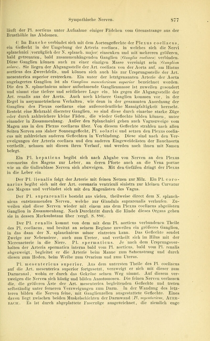 läuft der PL aorticus unter Aufnahme einiger Fädchen vom Grenzstrange aus der Brusthöhle ins Abdomen. 4) Im Bauche verbindet sich mit dem Aortengeflechte der Plexus coeliacus, ein G-eflecht in der Umgebung der Arteria coeliaca, in welches sich die Nervi splanchnici (vorzüglich der N. splanch. major) einsenken und mit mehreren größeren, bald getrennten, bald zusammenhängenden Ganglien [GancjUa coeliaca) verbinden. Diese Ganglien können auch zu einer einzigen Masse vereinigt sein [Ganglion solare). Sie liegen der Abgangsstelle der Art. coeliaca von der Aorta auf, am Hiatus aorticus des Zwerchfells, und können sich auch bis zur Ursprungsstelle der Art. mesenterica superior erstrecken. Ein unter der letztgenannten Arterie der Aorta angelagertes Ganglion ist als Ganglion mesentericum superior bezeichnet worden. Die den N. splanchnicus minor aufnehmende Ganglienmasse ist zuweilen gesondert und nimmt eine tiefere und seitlichere Lage ein, bis gegen die Abgangsstelle der Art. renalis aus der Aorta. Auch noch kleinere Ganglien kommen vor, in der Eegel in assymmetrischem Verhalten, wie denn in der gesammten Anordnung der Ganglien des Plexus coeliacus eine außerordentliche Mannigfaltigkeit herrscht. Besteht eine Mehrzahl discreter Ganglien, so sind diese durch einzelne starke Züge oder durch zahlreichere kleine Fäden, die wieder Geflechte bilden können, unter einander in Zusammenhang. Außer den Splanchnici gehen auch Vaguszweige vom Magen aus in den Plexus coeliacus über. Von diesem Geflechte strahlen nach allen Seiten Nerven aus (daher Sonnengeflecht, PI. solaris) und setzen den Plexus coelia- cus mit zahlreichen anderen Geflechten in Verbindung. Diese sind nach den Ver- zweigungen der Arteria coeliaca und den anderen Eingeweideästen der Bauchaorta vertheilt, nehmen mit diesen ihren Verlauf, und werden nach ihnen mit Namen belegt. Ein PI. hepaticus begibt sich nach Abgabe von Nerven an den Plexus coronarius des Magens zur Leber, an deren Pforte auch an die Vena portae wie an die Gallenblase Nerven sich abzweigen. Mit den Gefäßen dringt der Plexus in die Leber ein. Der PI. lienalis folgt der Arterie mit feinen Netzen zur Milz. Ein PI, coro- narius begibt sich mit der Art. coronaria ventriculi sinistra zur kleinen Curvatur des Magens und verbindet sich mit den Magenästen des Vagus. Der PI. suprarenalis besteht aus vielen, theilweise direct dem N. splanch- nicus entstammenden Nerven, welche zur Glandula suprarenalis verlaufen. Zu- weilen sind diese Nerven wieder mit einem aus dem Plexus coeliacus abgelösten Ganglion in Zusammenhang. Nach Durchtritt durch die Einde dieses Organs gehen sie in dessen Marksubstanz über (vergl. S. 880). Der PI. renalis kommt von dem mit dem PI. aorticus verbundenen Theile des PI. coeliacus, und besitzt an seinem Beginne zuweilen ein größeres Ganglion, in das dann der N. splanchnicus minor eintreten kann. Das Geflechte sendet Zweige zur Nebenniere, auch zum Ureter, und vertheilt sich im Hilus mit der Nierenarterie in die Niere. PI. spermaticus. Je nach dem Ursprungsver- halten der Arteria spermatica interna bald vom PI. aorticus, bald vom PI. renalis abgezweigt, begleitet er die Arterie beim Manne zum Salnenstrang und durch diesen zum Hoden, beim Weibe zum Ovarium und zum Uterus. PI. mesentericus superior. Aus dem untersten Theile des PI. coeliacus auf die Art. mesenterica superior fortgesetzt, verzweigt er sich mit dieser zum Darmcanal, wohin er durch das Gekröse seinen Weg nimmt. Auf diesem ver- zweigen die Nerven sich häufig und bilden Anastomosen. Die feinen Nerven verlassen die, die größeren Äste der Art. mesenterica begleitenden Geflechte und treten selbständig unter ferneren Verzweigungen zum Darm. In der Wandung des letz- teren bilden die Nerven feine, mit Ganglienzellen ausgestattete Geflechte. Eines davon liegt zwischen beiden Muskelschichten der Darmwand (P/. »»yenfmct^s, Auer- bach). Es ist durch abgeplattete Faserzüge ausgezeichnet, die ziemlich enge