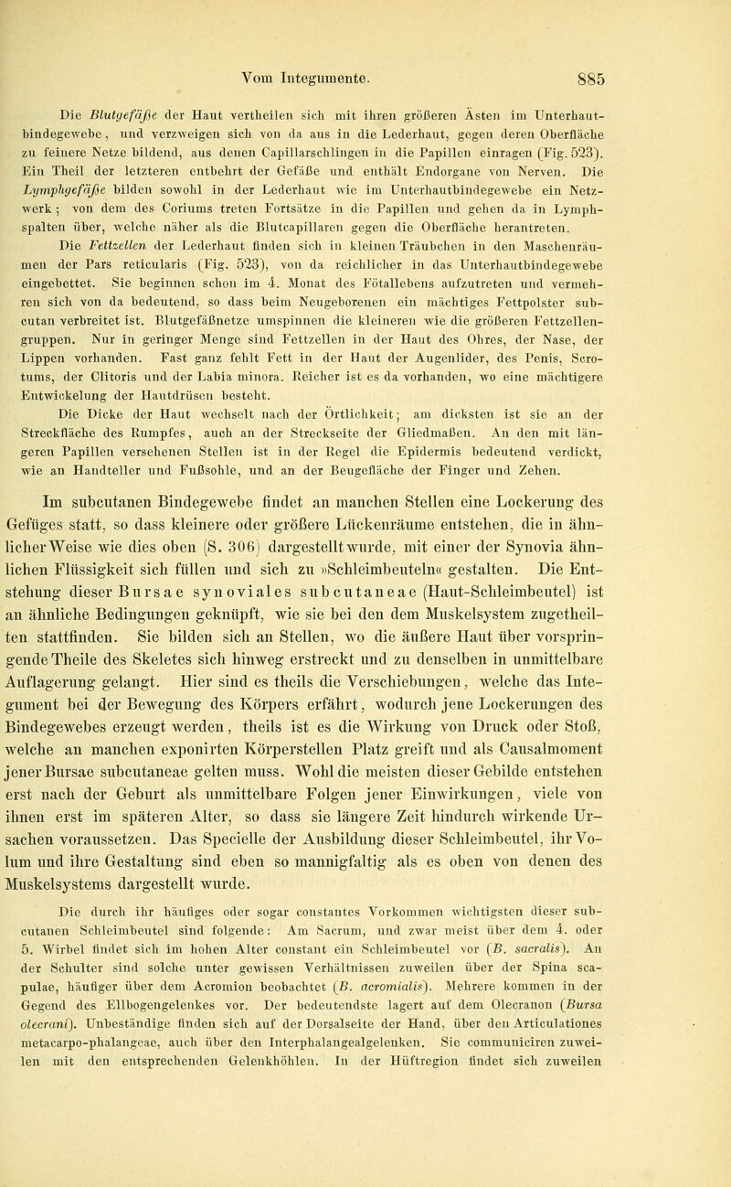 Die Blutgefäße der Haut vertheilen sich mit iliren größereu Asten im Unterhaut- bindegewebe , und verzweigen sich von da aus in die Lederhaut, gegen deren Oberfläche zu feinere Netze bildend, aus denen Capillarschlingen in die Papillen einragen (Fig. 523). Ein Theil der letzteren entbehrt der Gefäße und enthält Endorgane von Nerven. Die Lymphgefäße bildeiv sowohl in der Lederhaut wie im Unterhautbindegewebe ein Netz- werk ; von dem des Coriums treten Fortsätze in die Papillen und gehen da in Lymph- spalten über, welche näher als die Blutcapillaren gegen die Oberfläche herantreten. Die FettzeUen der Lederhaut finden sich in kleinen Träubchen in den Maschenräu- men der Pars reticularis (Fig. 523}, von da reichlicher in das Uuterhautbindegewebe eingebettet. Sie beginnen schon im 4. Monat des Fötallebens aufzutreten und vermeh- ren sich von da bedeutend, so dass beim Neugeborenen ein mächtiges Fettpolster sub- cutan verbreitet ist. Blutgefäßnetze umspinnen die kleineren wie die größeren Fettzellen- gruppen. Nur in geringer Menge sind Fettzellen in der Haut des Ohres, der Nase, der Lippen vorhanden. Fast ganz fehlt Fett in der Haut der Augenlider, des Penis, Scro- tums, der Clitoris und der Labia minora. Reicher ist es da vorhanden, wo eine mächtigere Entwickelung der Havitdrüsen besteht. Die Dicke der Haut wechselt nach der Ortlichkeit; am dicksten ist sie an der Streckfläche des Rumpfes, auch an der Streckseite der Gliedmaßen. An den mit län- geren Papillen versehenen Stellen ist in der Regel die Epidermis bedeutend verdickt, wie an Handteller und Fußsohle, und an der Beugefläche der Finger und Zehen. Im subcutanen Bindegewebe findet an manchen Stellen eine Lockerung des Gefüges statt, so dass kleinere oder größere Lückenräume entstehen, die in ähn- licher Weise wie dies oben (S. 306) dargestellt wurde, mit einer der Synovia ähn- lichen Flüssigkeit sich füllen und sich zu »Schleimbeuteln« gestalten. Die Ent- stehung dieser Bursae synoviales subcutaneae (Haut-Schleimbeutel) ist an ähnliche Bedingungen geknüpft, wie sie bei den dem Muskelsystem zugetheil- ten stattfinden. Sie bilden sich an Stellen, wo die äußere Haut über vorsprin- gende Theile des Skeletes sich hinweg erstreckt und zu denselben in unmittelbare Auflagerung gelangt. Hier sind es theils die Verschiebungen, welche das Inte- gument bei der Bewegung des Körpers erfährt, wodurch jene Lockerungen des Bindegewebes erzeugt werden, theils ist es die Wirkung von Druck oder Stoß, welche an manchen exponirten Körperstellen Platz greift und als Causalmoment jener Bursae subcutaneae gelten muss. Wohl die meisten dieser Gebilde entstehen erst nach der Geburt als unmittelbare Folgen jener Einwirkungen, viele von ihnen erst im späteren Alter, so dass sie längere Zeit hindurch wirkende Ur- sachen voraussetzen. Das Specielle der Ausbildung dieser Schleimbeutel, ihr Vo- lum und ihre Gestaltung sind eben so mannigfaltig als es oben von denen des Muskelsystems dargestellt wurde. Die durch ihr häufiges oder sogar constantes Vorkommen wichtigsten dieser sub- cutanen Schleimbeutel sind folgende: Am Sacrum, und zwar meist über dem 4. oder 5. Wirbel findet sich im hohen Alter constant ein Schleimbeutel vor [B. sacralis\ An der Schulter sind solche unter gewissen Verhältnissen zuweilen über der Spina sca- pulae, häufiger über dem Acromion beobachtet (B. acromialis). Mehrere kommen in der Gegend des Ellbogengelenkes vor. Der bedeutendste lagert auf dem Olecranon {Bursa olecrani). Unbeständige finden sich auf der Dorsalseite der Hand, über den Articulationes metacarpo-phalangeae, auch über den Interphalangealgelenken. Sie communiciren zuwei- len mit den entsprechenden Gelenkhöhlen. In der Hüftregion findet sich zuweilen