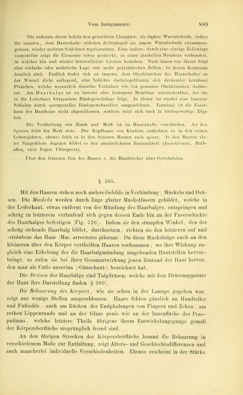 Die äußerste davon behält den primitiven Charakter, als äußere Wurzelscheide, indess die inneren, dem Haarschafte näheren Zellenlagen als innere Wurzelscheide zusammen- gefasst, -wieder mehrere Schichten repräsentiren. Eine äußere, durch eine einzige Zellcnlage vorgestellte zeigt die Elemente etwas gestreckt, zu einer glashellen Memhran verbunden, in welcher hin und wieder intercelluläre Lücken bestehen. Nach innen von dieser folgt eine einfache oder mehrfache Lage von mehr polyedrischen Zellen, in denen Kernreste deutlich sind. Endlich findet sich zu innerst, dem Oberhäutchen des Haarschaftes an der Wurzel dicht anliegend, eine Schichte dachziegelförmig sich deckender kernloser Plättchen, welche wesentlich dasselbe Verhalten wie das genannte Oberhäutchen darbie- tet. Am Haar balge ist zu innerst eine homogene Membran unterscheidbar, der die in die Lederhaut fortgesetzte Bindegewebslage folgt. In dieser ist wieder eine innerste Schichte durch quergestellte Bindegewebszellen ausgezeichnet. Terminal ist die Faser- haut des Haarbalgs nicht abgeschlossen, sondern setzt sich noch in bindegewebige Züge fort. Die Vertheilung von Rinde und Mark ist im Haarschafte verschieden. An den Spitzen fehlt das Mark stets. Die Kopfhaare von Kindern entbehren es in den ersten Lebensjahren, ebenso fehlt es in den feineren Haaren auch später. In den Haaren vie- ler Säugethiere dagegen bildet es den ansehnlichsten Bestandtheil (Insectivoren, Halb- affen, viele Nager, Chiroptera). Über den feineren Bau des Haares s. die Handbücher über Gewebelehre. § 305. Mit den Haaren stehen noch andere Gebilde in Verbindung: Muskeln und Drü- sen. Die Muskeln werden durch Züge glatter Muskelfasern gebildet, welche in der Lederhaut, etwas entfernt von der Mündung des Haarbalges, entspringen und schräg zu letzterem verlaufend sich gegen dessen Ende hin an der Faserschichte des Haarbalges befestigen (Fig. 526). Indem sie den stumpfen Winkel, den der schräg stehende Haarbalg bildet, durchsetzen, richten sie den letzteren auf und »sträuben« das Haar (Mm. arrectores pilorum). Da diese Muskelzüge auch an den kleineren über den Körper vertheilten Haaren vorkommen , wo ihre Wirkung zu- gleich eine Erhebung der die Haarbalgmündung umgebenden Hautstellen hervor- bringt, so rufen sie bei ihrer Gesammtwirkung jenen Zustand der Haut hervor, den man als Cutis anserina (»Gänsehaut«) bezeichnet hat. Die Drüsen der Haarbälge sind Talgdrüsen- welche mit dem Drüsenapparate der Haut ihre Darstellung finden (§ 309). Die Behaarung des Körpers, wie sie schon in der Lanugo gegeben war, zeigt nur wenige Stellen ausgeschlossen. Haare fehlen gänzlich an Handteller und Fußsohle, auch am Rücken der Endphalangen von Fingern und Zehen, am rothen Lippenrande und an der Glans penis wie an der Innenfläche des Prae- putiums, welche letztere Theile übrigens ihrem Entwickelungsgange gemäß der Körperoberfläche ursprünglich fremd sind. An den übrigen Strecken der Körperoberfläche kommt die Behaarung in verschiedenem Maße zur Entfaltung, zeigt Alters- und GeschlechtsditFerenzen und auch mancherlei individuelle Verschiedenheiten. Ebenso erscheint in der Stärke