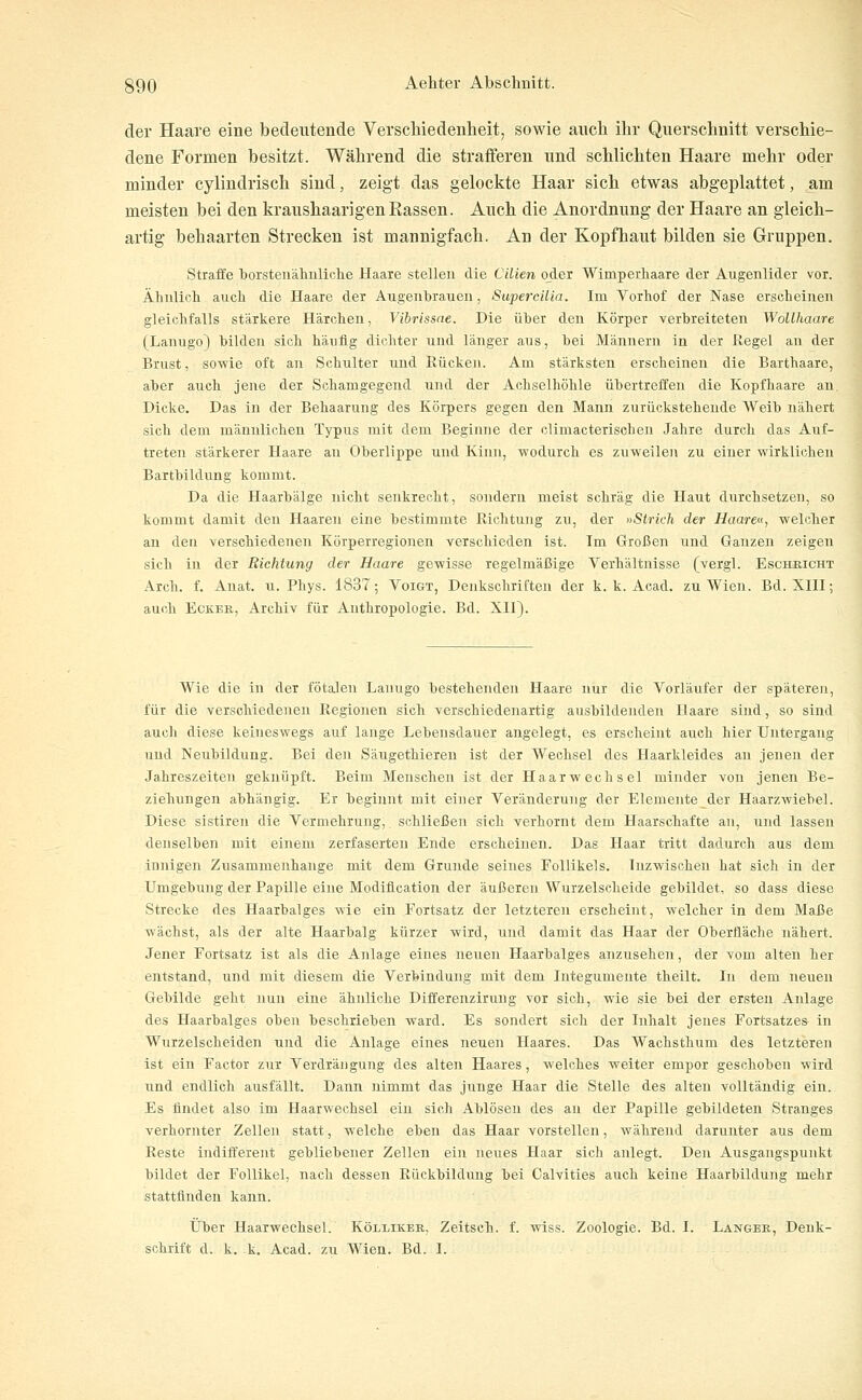 der Haare eine bedeutende Verschiedenheit, sowie auch ihr Querschnitt verschie- dene Formen besitzt. Während die strafferen und schlichten Haare mehr oder minder cylindrisch sind, zeigt das gelockte Haar sich etwas abgeplattet, am meisten bei den kraushaarigen Rassen. Auch die Anordnung der Haare an gleich- artig behaarten Strecken ist mannigfach. An der Kopfhaut bilden sie Gruppen. Straffe borstenähnliche Haare stellen die Cilien oder Wimperhaare der Augenlider vor. Ähnlich auch die Haare der Augenbrauen, SupercUia. Im Vorhof der Nase erscheinen gleichfalls stärkere Härchen, Vibrissae. Die über den Körper verbreiteten Wollhaare (Lanugo) bilden sich häufig dichter und länger aus, bei Männern in der ßegel an der Brust, sowie oft an Schulter und Rücken. Am stärksten erscheinen die Barthaare, aber auch jene der Schamgegend Tind der Achselhöhle übertreffen die Kopfhaare au. Dicke. Das in der Behaarung des Körpers gegen den Mann zurückstehende Weib nähert sich dem männlichen Typus mit dem Beginne der climacterischeu Jahre durch das Auf- treten stärkerer Haare an Oberlippe und Kinn, ■wodurch es zuweilen zu einer wirklichen Bartbildung kommt. Da die Haarbälge nicht senkrecht, sondern meist schräg die Haut durchsetzen, so kommt damit den Haaren eine bestimmte Richtung zu, der »Sirich der Haareu, welcher an den verschiedenen Körperregionen verschieden ist. Im Großen und Ganzen zeigen sich in der Richtung der Haare gewisse regelmäßige Verhältnisse (vergl. Eschkicht Arch. f. Anat. u. Phys. 1837; Voigt, Denkschriften der k. k. Acad. zu Wien. Bd. XIII; auch EcKEB, Archiv für Anthropologie. Bd. XII). Wie die in der fötalen Lanugo bestehenden Haare nur die Vorläufer der späteren, für die verschiedenen Regionen sich verschiedenartig ausbildenden Haare sind, so sind auch diese keineswegs auf lange Lebensdauer angelegt, es erscheint auch hier Untergang und Neubildung. Bei den Säugethieren ist der Wechsel des Haarkleides au jenen der Jahreszeiten geknüpft. Beim Menschen ist der Haarwechsel minder von jenen Be- ziehungen abhängig. Er beginnt mit einer Veränderung der Elemeiite der Haarzwiebel. Diese sistiren die Vermehrung, schließen sich verhornt dem Haarschafte an, und lassen denselben mit einem zerfaserten Ende erscheinen. Das Haar tritt dadurch aus dem innigen Zusammenhange mit dem Grunde seines Follikels. Inzwischen hat sich in der Umgebung der Papille eine Modiflcation der äußeren Wurzelscheide gebildet, so dass diese Strecke des Haarbalges wie ein Fortsatz der letzteren erseheint, welcher in dem Maße wächst, als der alte Haarbalg kürzer wird, und damit das Haar der Oberfläche nähert. Jener Fortsatz ist als die Anlage eines neuen Haarbalges anzusehen, der vom alten her entstand, und mit diesem die Verbindung mit dem Integumeute theilt. In dem neuen Gebilde geht nun eine ähnliche Differenzirung vor sich, wie sie bei der ersten Anlage des Haarbalges oben beschrieben ward. Es sondert sich der Inhalt jenes Fortsatzes in Wurzelscheiden und die Anlage eines neuen Haares. Das Wachsthum des letzteren ist ein Factor zur Verdrängung des alten Haares, welches weiter empor geschoben wird und endlich ausfällt. Dann nimmt das junge Haar die Stelle des alten voUtändlg ein. Es findet also im Haarwechsel ein sich Ablösen des an der Papille gebildeten Stranges verhornter Zellen statt, welche eben das Haar vorstellen, während darunter aus dem Reste indifferent gebliebener Zellen ein neues Haar sich anlegt. Den Ausgangspunkt bildet der Follikel, nach dessen Rückbildung bei Calvities auch keine Haarbildung mehr stattfinden kann. Über Haarwechsel. Köliiker, Zeitsch. f. wiss. Zoologie. Bd. I. Langer, Denk- schrift d. k. k. Acad. zu Wien. Bd. I.