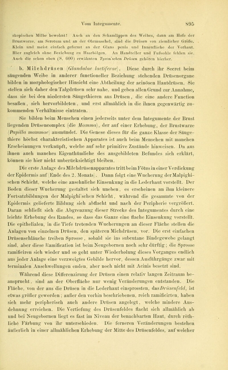skopischen Milbe bewolintl Auch an den Schamlippen des Weibes, dann am Hofe der Brustwarze, am Scrotum und an der Ohrmuschel, sind die Drüsen von ziemlicher Größe. Klein und meist einfach geformt an der Glans peuis und Innenfläche der Vorhaut. Hier zugleich ohne Beziehung zu Haarbälgen. An Handteller und Fußsohle fehlen sie. Auch die schon oben (S. 600) erwähnten Tysonschen Drüsen gehören hierher. b. Milchdrüsen [Glandulae lactlferae). Diese durcli ihr Beeret beim säugenden Weibe in anderer functioneller Beziehung stehenden Drtisenorgane bilden in morphologischer Hinsicht eine Abtheilung der acinösen Hautdrüsen. Sie stellen sich daher den Talgdrüsen sehr nahe, und geben allen Grund zur Annahme, dass sie bei den niedersten Säugethieren aus Drüsen, die eine andere Function besaßen , sich hervorbildeten , und erst allmählich in die ihnen gegenwärtig zu- kommenden Verhältnisse eintraten. Sie bilden beim Menschen einen jederseits unter dem Integumente der Brust liegenden Drüsencomplex (die Mamma), der auf einer Erhebung, der Brustwarze [Pa.pilla manimae) ausmündet. Die Genese dieses für die ganze Klasse der Säuge- thiere höchst charakteristischen Apparates ist auch beim Menschen mit manchen Erscheinungen verknüpft, welche auf sehr primitive Zustände hinweisen. Da aus ihnen auch manches Eigenthümliche des ausgebildeten Befundes sich erklärt, können sie hier nicht unberücksichtigt bleiben. Die erste Anlage des Milchdrüsenapparates tritt beim Fötus in einer Verdickung der Epidermis auf (Ende des 2. Monats). Dann folgt eine Wucherung der Malpighi- schen Schicht, welche eine ansehnliche Einsenkung in die Lederhaut vorstellt. Der Boden dieser Wucherung gestaltet sich uneben, es erscheinen an ihm kleinere Fortsatzbildungen der Malpighi'sehen Schicht, während die gesammte von der Epidermis gelieferte Bildung sich abflacht und nach der Peripherie vergrößert. Daran schließt sich die Abgrenzung dieser Strecke des Integumentes durch eine leichte Erhebung des Randes, so dass das Ganze eine flache Einsenkung vorstellt. Die epithelialen, in die Tiefe tretenden Wucherungen an dieser Fläche stellen die Anlagen von einzelnen Drüsen, den späteren Michdrüsen, vor. Die erst einfachen Drüsenschläuche treiben Sprosse, sobald sie ins subcutane Bindegewebe gelangt sind, aber diese Jiamification ist beim Neugebornen noch sehr dürftig; die Sprosse ramificiren sich wieder und so geht unter Wiederholung dieses Vorganges endlich aus jeder Anlage eine verzweigtes Gebilde hervor, dessen Ausführgänge zwar mit terminalen Anschwellungen enden, aber noch nicht mit Acinis besetzt sind. Während diese Differenzirung der Drüsen einen relativ langen Zeitraum be- ansprucht, sind an der Oberfläche nur wenig Veränderungen entstanden. Die Fläche, von der aus die Drüsen in die Lederhaut einsprossten, äsiS,Drüsenfeld, ist etwas größer geworden; außer den vorhin beschriebenen, reich ramificirten, haben sich mehr peripherisch auch andere Drüsen angelegt, Avelche mindere Aus- dehnung erreichen. Die Vertiefung des Drüsenfeldes flacht sich allmählich ab und bei Neugebornen liegt es fast im Niveau der benachbarten Haut, durch röth- liche Färbung von ihr unterschieden. Die ferneren Veränderungen bestehen äußerlich in einer allmählichen Erhebung der Mitte des Drüsenfeldes, auf welcher