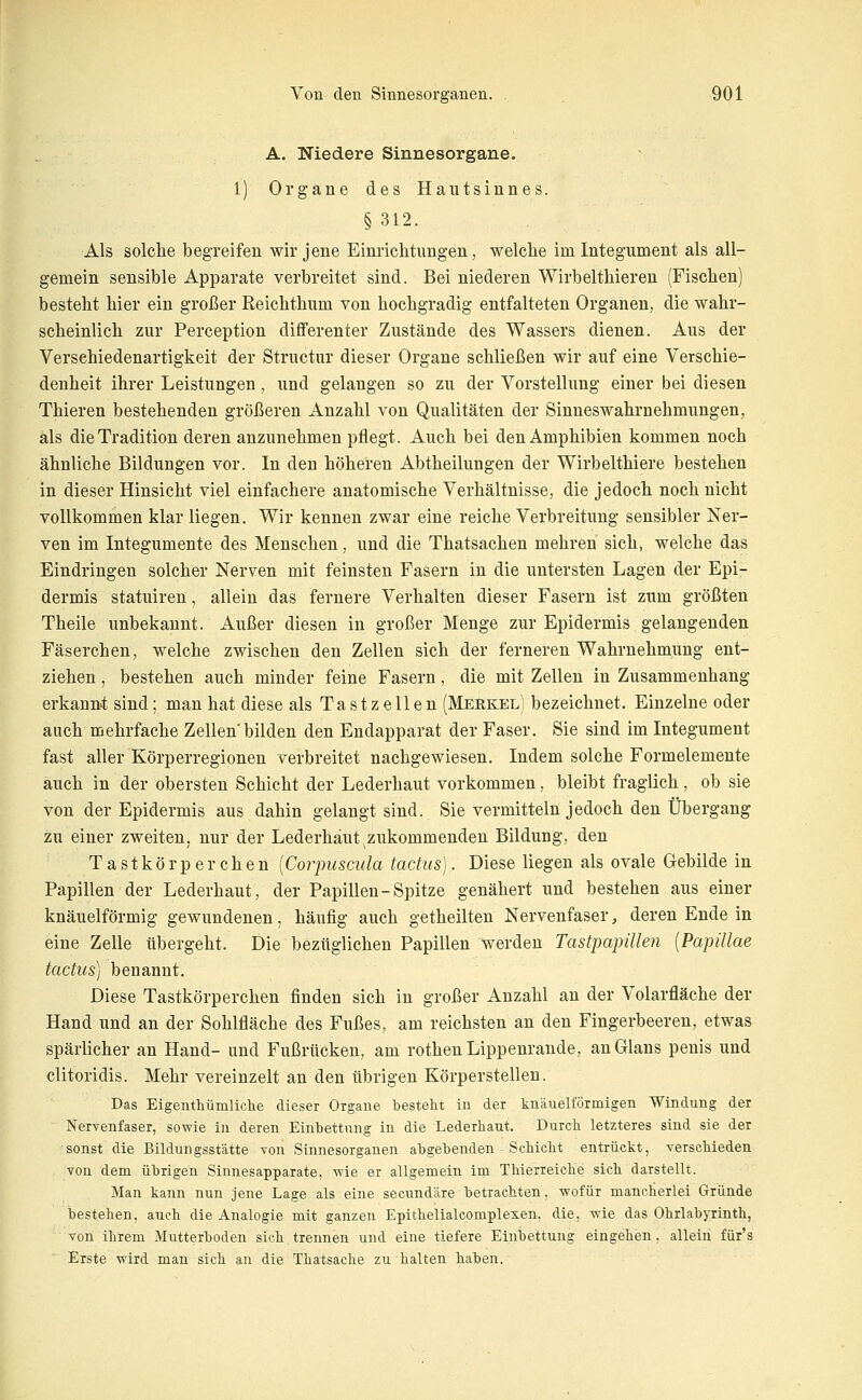 A. Niedere Sinnesorgane. 1) Organe des Hautsinnes. § 312. Als solche begreifen wir jene Einrichtimgen, welche im Integument als all- gemein sensible Apparate verbreitet sind. Bei niederen Wirbelthieren (Fischen) besteht hier ein großer Reichthum von hochgradig entfalteten Organen, die wahr- scheinlich zur Perception differenter Zustände des Wassers dienen. Aus der Verschiedenartigkeit der Structur dieser Organe schließen wir auf eine Verschie- denheit ihrer Leistungen, und gelangen so zu der Vorstellung einer bei diesen Thieren bestehenden größeren Anzahl von Qualitäten der Sinneswahrnehmungen, als die Tradition deren anzunehmen pflegt. Auch bei den Amphibien kommen noch ähnliche Bildungen vor. In den höheren Abtheilungen der Wirbelthiere bestehen in dieser Hinsicht viel einfachere anatomische Verhältnisse, die jedoch noch nicht vollkommen klar liegen. Wir kennen zwar eine reiche Verbreitung sensibler Ner- ven im Integumente des Menschen, und die Thatsachen mehren sich, welche das Eindringen solcher Nerven mit feinsten Fasern in die untersten Lagen der Epi- dermis statuiren, allein das fernere Verhalten dieser Fasern ist zum größten Theile unbekannt. Außer diesen in großer Menge zur Epidermis gelangenden Fäserchen, welche zwischen den Zellen sich der ferneren Wahrnehmung ent- ziehen , bestehen auch minder feine Fasern, die mit Zellen in Zusammenhang erkanu't sind; man hat diese als Ta s t z e 11 e n (Merkel) bezeichnet. Einzelne oder auch mehrfache Zellen bilden den Endapparat der Faser. Sie sind im Integument fast aller Körperregionen verbreitet nachgewiesen. Indem solche Formelemente auch in der obersten Schicht der Lederhaut vorkommen, bleibt fraglich, ob sie von der Epidermis aus dahin gelangt sind. Sie vermitteln jedoch den Übergang zu einer zweiten, nur der Lederhäut zukommenden Bildung, den Tastkörperchen [Corpuscula tactus]. Diese liegen als ovale Gebilde in Papillen der Lederhaut, der Papillen-Spitze genähert und bestehen aus einer knäuelförmig gewundenen, häufig auch getheilten Nervenfaser, deren Ende in eine Zelle übergeht. Die bezüglichen Papillen werden Tastpapillen [Papulae tactiis) benannt. Diese Tastkörperchen finden sich in großer Anzahl an der Volarfläche der Hand und an der Sohlfläche des Fußes, am reichsten an den Fingerbeeren, etwas spärlicher an Hand- und Fußrücken, am rothen Lippenrande, auGlans penis und clitoridis. Mehr vereinzelt an den übrigen Körperstellen. Das Eigenthümliche dieser Organe Ijesteht in der knäuelförmigen Windung der Nervenfaser, sowie in deren Einbettung in die Lederhäut. Durch letzteres sind sie der sonst die Bildungsstätte von Sinnesorganen abgebenden Schicht entrückt, verschieden von dem übrigen Sinnesapparate, -wie er allgemein im Thierreiche sich darstellt. Man kann nun jene Lage als eine secundäre betrachten, -wofür mancherlei Gründe bestehen, auch die Analogie mit ganzen Epithelialcomplexen, die, wie das Ohrlabyrinth, von ihrem Mutterboden sich.trennen und eine tiefere Einbettung eingehen, allein für's Erste wird man sich an die Thatsache zu halten haben.