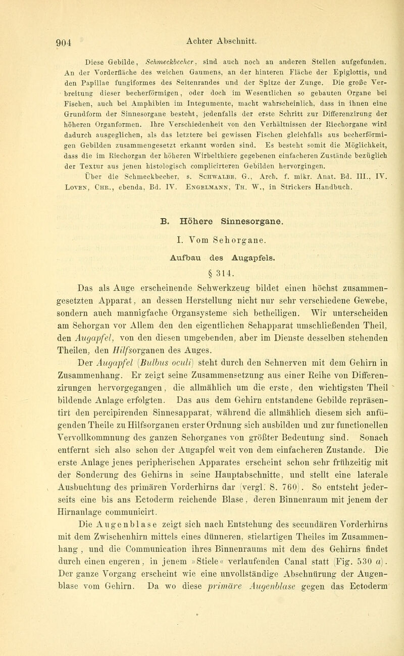 Diese Gebilde, Schmeckbecher, sind auch noch an anderen Stellen aufgefunden. An der Vorderfiäche des weichen Gaumens, an der hinteren Fläche der Epiglottis, und den Paplllae fungiformes des Seitenrandes und der Spitze der Zunge. Die große Ver- breitung dieser becherförmigen, oder doch im Wesentlichen so gebauten Organe bei Fischen, auch bei Amphibien im Integumente, macht wahrscheinlich, dass in ihnen eine Grundform der Sinnesorgane besteht, jedenfalls der erste Schritt zur Differenzirung der höheren Organformen. Ihre Verschiedenheit von den Verhältnissen der Riechorgane wird dadurch ausgeglichen, als das letztere bei gewissen Fischen gleichfalls aus becherförmi- gen Gebilden zusammengesetzt erkannt worden sind. Es besteht somit die Möglichkeit, dass die im Riechorgan der höheren Wirbelthiere gegebenen einfacheren Zustände bezüglich der Textur aus jenen histologisch complicirteren Gebilden hervorgingen. Über die Schmeckbecher, s. Schwalbe, G., Arch. f. mikr. Anat. Bd. III., IV. Loten, Chr., ebenda, Bd. IV. Engelmann, Th. W., in Strickers Handbuch. B. Höhere Sinnesorgane. I. Vom Sehorgane. Aufbau des Augapfels. §314. Das als Auge erscheinende Sehwerkzeug bildet einen höchst zusammen- gesetzten Apparat, an dessen Herstellung nicht nur sehr verschiedene Gewebe, sondern auch mannigfache Organsysteme sich betheiligen. Wir unterscheiden am Sehorgan vor Allem den den eigentlichen Sehapparat umschließenden Theil, den Augapfel, von den diesen umgebenden, aber im Dienste desselben stehenden Theilen, den /////sorganen des Auges. Der Äugapfel [Bulbus oculi) steht durch den Sehnerven mit dem Gehirn in Zusammenhang. Er zeigt seine Zusammensetzung aus einer Reihe von Differen- zirungen hervorgegangen, die allmählich um die erste, den wichtigsten Theil bildende Anlage erfolgten. Das aus dem Gehirn entstandene Gebilde repräsen- tirt den percipirenden Sinnesapparat, während die allmählich diesem sich anfü- genden Theile zu Hilfsorganen erster Ordnung sich ausbilden und zur functionellen Vervollkommnung des ganzen Sehorganes von größter Bedeutung sind. Sonach entfernt sich also schon der Augapfel weit von dem einfacheren Zustande. Die erste Anlage jenes peripherischen Apparates erscheint schon sehr frühzeitig mit der Sonderung des Gehirns in seine Hauptabschnitte, und stellt eine laterale Ausbuchtung des primären Vorderhirns dar (vergl. S. 760). So entsteht jeder- seits eine bis ans Ectoderm reichende Blase, deren Binnenraum mit jenem der Hirnanlage communicirt. Die Augenblase zeigt sich nach Entstehung des secundären Vorderhirns mit dem Zwischenhirn mittels eines dünneren, stielartigen Theiles im Zusammen- hang , und die Communication ihres Binnenraums mit dem des Gehirns findet durch einen engeren, in jenem »Stiele« verlaufenden Canal statt (Fig. 530 a). Der ganze Vorgang erscheint wie eine unvollständige Abschnürung der Augen- blase vom Gehirn. Da wo diese primäre Augenhlase gegen, das Ectoderm