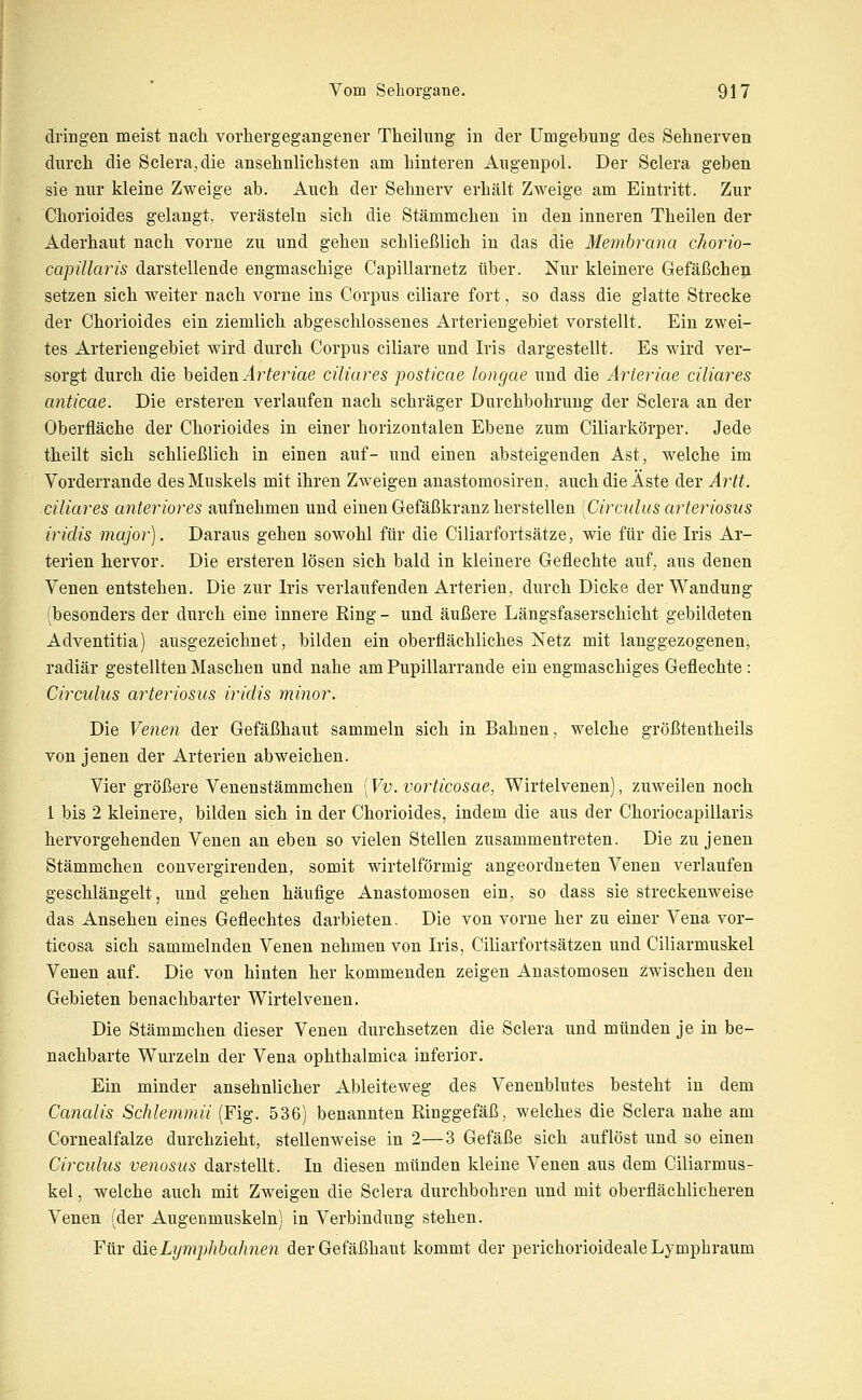 dringen meist nach vorhergegangener Theilung in der Umgebung des Sehnerven durch die Sclera^die ansehnlichsten am hinteren Augenpol. Der Sclera geben sie nur kleine Zweige ab. Auch der Sehnerv erhält Zweige am Eintritt. Zur Chorioides gelangt, verästeln sich die Stämmchen in den inneren Theilen der Aderhaut nach vorne zu und gehen schließlich in das die Membrana chorio- capülaris darstellende engmaschige Capillarnetz über. Nur kleinere Gefäßchen setzen sich weiter nach vorne ins Corpus ciliare fort, so dass die glatte Strecke der Chorioides ein ziemlich abgeschlossenes Arteriengebiet vorstellt. Ein zwei- tes Arteriengebiet wird durch Corpus ciliare und Iris dargestellt. Es wird ver- sorgt durch die beiden ^r^eWae ciliares posticae longae und die Arleriae ciliares anticae. Die ersteren verlaufen nach schräger Durchbohrung der Sclera an der Oberfläche der Chorioides in einer horizontalen Ebene zum Ciliarkörper. Jede theilt sich schließlich in einen auf- und einen absteigenden Ast, welche im Vorderrande des Muskels mit ihren Zweigen anastomosiren, auch die Äste der Artt. ciliares anteriores aufnehmen und einen Gefäßkranz herstellen [Circulus arteriosus iridis major). Daraus gehen sowohl für die Ciliarfortsätze, wie für die Iris Ar- terien hervor. Die ersteren lösen sich bald in kleinere Geflechte auf, aus denen Venen entstehen. Die zur Iris verlaufenden Arterien, durch Dicke der Wandung (besonders der durch eine innere Ring - und äußere Längsfaserschicht gebildeten Adventitia) ausgezeichnet, bilden ein oberflächliches Netz mit langgezogenen, radiär gestellten Maschen und nahe am Pupillarrande ein engmaschiges Geflechte: Circulus arteiiosics iridis minor. Die Venen der Gefäßhaut sammeln sich in Bahnen, welche größtentheils von jenen der Arterien abweichen. Vier größere Venenstämmchen [Vv.vorticosae, Wirtelvenen), zuweilen noch 1 bis 2 kleinere, bilden sich in der Chorioides, indem die aus der Choriocapillaris hervorgehenden Venen an eben so vielen Stellen zusammentreten. Die zu jenen Stämmchen couvergirenden, somit wirteiförmig angeordneten Venen verlaufen geschlängelt, und gehen häufige Anastomosen ein, so dass sie streckenweise das Ansehen eines Geflechtes darbieten. Die von vorne her zu einer Vena vor- ticosa sich sammelnden Venen nehmen von Iris, Ciliarfortsätzen und Ciliarmuskel Venen auf. Die von hinten her kommenden zeigen Anastomosen zwischen den Gebieten benachbarter Wirtelvenen. Die Stämmchen dieser Venen durchsetzen die Sclera und münden je in be- nachbarte Wurzeln der Vena ophthalmica inferior. Ein minder ansehnlicher Ableiteweg des Venenblutes besteht iu dem Canalis Schlemmii (Fig. 536) benannten Binggefäß, welches die Sclera nahe am Cornealfalze durchzieht, stellenweise in 2—3 Gefäße sich auflöst und so einen Circulus venosus darstellt. In diesen münden kleine Venen aus dem Ciliarmus- kel , welche auch mit Zweigen die Sclera durchbohren und mit oberflächlicheren Venen (der Augenmuskeln) in Verbindung stehen. Für diiQLymphbahnen der Gefäßhaut kommt der perichorioideale Lymphraum