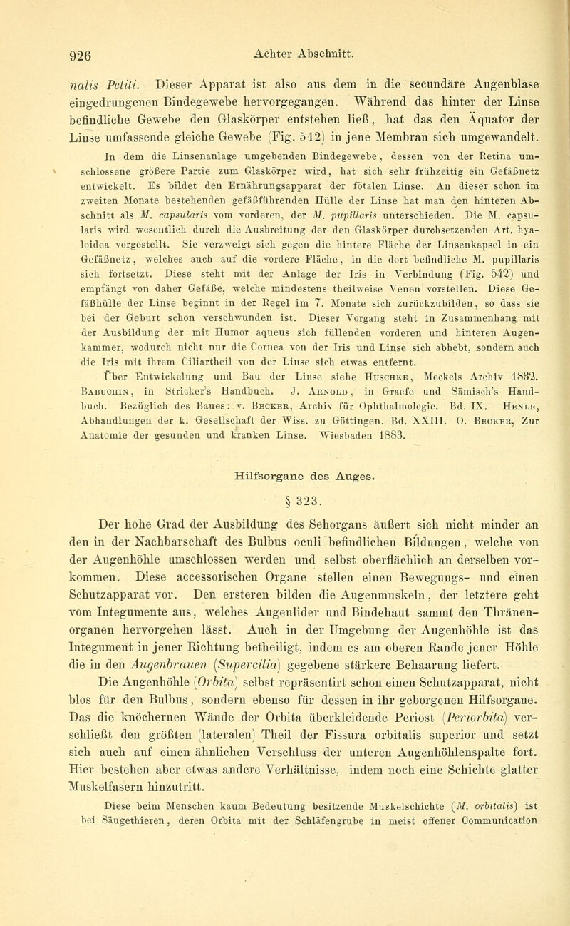 nalis Petiti. Dieser Apparat ist also aus dem in die secundäre Aiigenblase eingedrungenen Bindegewebe hervorgegangen. Während das hinter der Linse befindliche Gewebe den Glaskörper entstehen ließ, hat das den Äquator der Linse umfassende gleiche Gewebe (Fig. 542) in jene Membran sich umgewandelt. In dem die Linsenanlage umgebenden Bindegewebe, dessen von der Retina um- schlossene größere Partie zum Glaskörper -wird, hat sich sehr frühzeitig ein Gefäßnetz entwickelt. Es bildet den Ern'ährungsapparat der fötalen Linse. An dieser schon im zweiten Monate bestehenden gefäßführenden Hülle der Linse hat man den hinteren Ab- schnitt als M. capsularis vom vorderen, der M. pupiUaris unterschieden. Die M. capsu- laris wird wesentlich durch die Ausbreitung der den Glaskörper durchsetzenden Art. hya- loidea vorgestellt. Sie verzweigt sich gegen die hintere Fläche der Linsentapsel in ein Gefäßnetz, welches auch auf die vordere Fläche, in die dort befindliche M. pupillaris sich fortsetzt. Diese steht mit der Anlage der Iris in Yerbindung (Fig. 542) und empfängt von daher Gefäße, welche mindestens theilweise Venen vorstellen. Diese Ge- fäßhülle der Linse beginnt in der Regel im 7. Monate sich zurückzubilden, so dass sie bei der Geburt schon verschwunden ist. Dieser Vorgang steht in Zusammenhang mit der Ausbildung der mit Humor aqueus sich füllenden vorderen und hinteren Augen- kammer, wodurch nicht nur die Cornea von der Iris und Linse sich abhebt, sondern auch die Iris mit ihrem Ciliartheil von der Linse sich etwas entfernt. Über Entwickelung und Bau der Linse siehe Huschke , Meckels Archiv 1832. Babuchin, in Stricker's Handbuch. J. Arnold, in Graefe und Sämisch's Hand- buch. Bezüglich des Baues: v. Becker, Archiv für Ophthalmologie. Bd. IX. Henle, Abhandlungen der k. Gesellschaft der Wiss. zu Göttingen. Bd. XXIII. 0. Becker, Zur Anatomie der gesunden und kranken Linse. Wiesbaden 1883. Hilfsorgane des Auges. § 323. Der hohe Grad der Ausbildung des Sehorgans äußert sich nicht minder an den in der Nachbarschaft des Bulbus oculi befindlichen Bildungen, welche von der Augenhöhle umschlossen werden und selbst oberflächlich an derselben vor- kommen. Diese accessorischen Organe stellen einen Bewegungs- und einen Schutzapparat vor. Den ersteren bilden die Augenmuskeln, der letztere geht vom Integumente aus, welches Augenlider und Bindehaut sammt den Thränen- organen hervorgehen lässt. Auch in der Umgebung der Augenhöhle ist das Integument in jener Richtung betheiligt, indem es am oberen Rande jener Höhle die in den Augenbrauen [Supercüia] gegebene stärkere Beliaarung liefert. Die Augenhöhle [Orbita] selbst repräsentirt schon einen Schutzapparat, nicht blos für den Bulbus, sondern ebenso für dessen in ihr geborgenen Hilfsorgane. Das die knöchernen Wände der Orbita überkleidende Periost [Periorbita] ver- schließt den größten (lateralen) Theil der Fissura orbitalis superior und setzt sich auch auf einen ähnlichen Verschluss der unteren Augenhöhlenspalte fort. Hier bestehen aber etwas andere Verhältnisse, indem noch eine Schichte glatter Muskelfasern hinzutritt. Diese beim Menschen kaum Bedeutung besitzende Muskelschichte (M. orbitalis') ist bei Säugethieren, deren Orbita mit der Schläfengrube in meist offener Communication