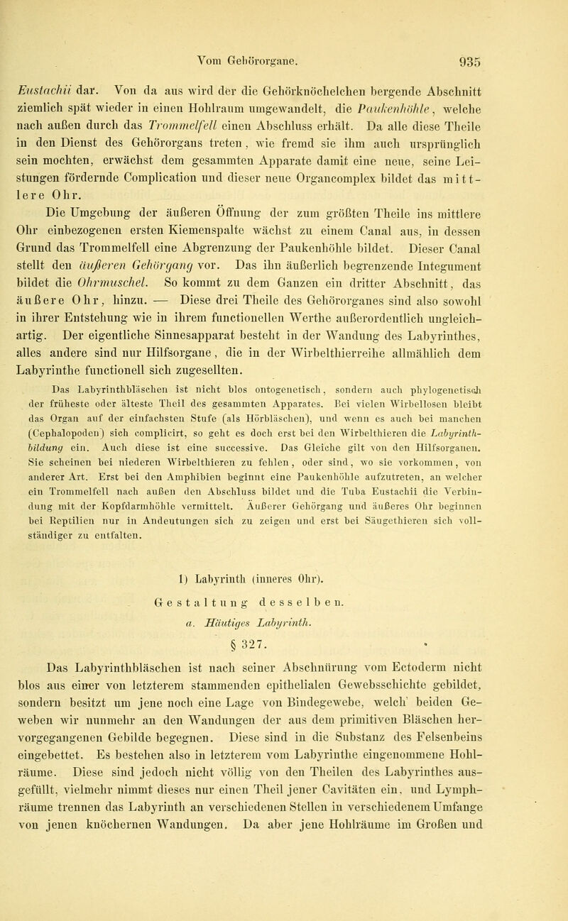 Eustachii dar. Von da aus wird der die Gehörknöchelchen bergende Abschnitt ziemlich spät wieder in einen Hohlraum umgewandelt, die Paukenhöhle, welche nach außen durch das Trommelfell einen Abschluss erhält. Da alle diese Theile in den Dienst des Gehörorgans treten, wie fremd sie ihm auch ursprünglich sein mochten, erwächst dem gesammten Apparate damit eine neue, seine Lei- stungen fördernde Complication und dieser neue Organcomplex bildet das mitt- lere Ohr. Die Umgebung der äußeren Öffnung der zum größten Theile ins mittlere Ohr einbezogenen ersten Kiemenspalte wächst zu einem Canal aus, in dessen Grund das Trommelfell eine Abgrenzung der Paukenhöhle bildet. Dieser Canal stellt den äußeren Gehörgang vor. Das ihn äußerlich begrenzende Integument bildet die Ohrmuschel. So kommt zu dem Ganzen ein dritter Abschnitt, das äußere Ohr, hinzu. — Diese drei Theile des Gehörorganes sind also sowohl in ihrer Entstehung wie in ihrem functionellen Werthe außerordentlich ungleich- artig. Der eigentliche Sinnesapparat besteht in der Wandung des Labyrinthes, alles andere sind nur Hilfsorgane, die in der Wirbelthierreihe allmählich dem Labyrinthe functionell sich zugesellten. Das Labyrinthbläsclien ist nicht blos ontogeiietisch, sondern auch phylogenetisch der früheste oder älteste Theil des gesammten Apparates. Bei vielen Wirheilosen bleibt das Organ auf der einfachsten Stufe (als Hörbläschen), und wenn es auch bei manchen (Cephalopoden) sich complicirt, so geht es doch erst bei den Wirbelthieren die Labyrinth- hildung ein. Auch diese ist eine successive. Das Gleiche gilt von den Hilfsorganen. Sie scheinen bei niederen Wirbelthieren zu fehlen, oder sind, wo sie vorkommen, von anderer Art. Erst bei den Amphibien beginnt eine Paukenhöhle aufzutreten, an welcher ein Trommelfell nach außen den Abschluss bildet und die Tuba Eustachii die Verbin- dung mit der Kopfdarmhöhle vermittelt. Äußerer Gehörgang und äußeres Ohr beginnen bei Reptilien nur in Andeutungen sich zu zeigen und erst bei Säugethieren sich voll- ständiger zu entfalten. 1) Labyrinth (inneres Ohr). Gestaltung desselben. a. Häutiges Labyrinth. § 327. Das Labyrinthbläschen ist nach seiner Abschnürung vom Ectoderm nicht blos aus einer von letzterem stammenden epithelialen Gewebsschichte gebildet, sondern besitzt um jene noch eine Lage von Bindegewebe, welch' beiden Ge- weben wir nunmehr an den Wandungen der aus dem primitiven Bläschen her- vorgegangenen Gebilde begegnen. Diese sind in die Substanz des Felsenbeins eingebettet. Es bestehen also in letzterem vom Labyrinthe eingenommene Hohl- räume. Diese sind jedoch nicht völlig von den Theilen des Labyrinthes aus- gefüllt, vielmehr nimmt dieses nur einen Theil jener Cavitäten ein, und Lymph- räume trennen das Labyrinth an verschiedenen Stellen in verschiedenem Umfange von jenen knöchernen Wandungen. Da aber jene Hohlräume im Großen und