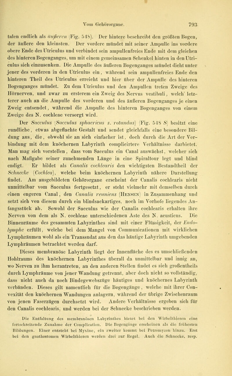 talen endlich als äußeren (Fig. 54S). Der hintere beschreibt den größten Bogen, der äußere den kleinsten. Der vordere mündet mit seiner Ampulle ins vordere obere Ende des Utriculus und verbindet sein ampullenfreies Ende mit dem gleichen des hinteren Bogenganges, um mit einem gemeinsamen Schenkel hinten in den Utri- culus sich einzusenken. Die Ampulle des äußeren Bogenganges mündet dicht unter jener des vorderen in den Utriculus ein, während sein ampullenfreies Ende den hinteren Theil des Utriculus erreicht und hier über der Ampulle des hinteren Bogenganges mündet. Zu dem Utriculus und den Ampullen treten Zweige des Hörnerven, und zwar zu ersterem ein Zweig des Nervus vestibuli, welch' letz- terer auch an die Ampulle des vorderen und des äußeren Bogenganges je einen Zweig entsendet, während die Ampulle des hinteren Bogenganges von einem Zweige des N. Cochleae versorgt wird. Der Sacculus [Sacculus sphaeriais s. rotundus) (Fig. 548 S) besitzt eine rundliche, etwas abgeflachte Gestalt und sendet gleichfalls eine besondere Bil- dung aus, die, obwohl sie an sich einfacher ist, doch durch die Art der Ver- bindung mit dem knöchernen Labyrinth complicirtere Verhältnisse darbietet. Man mag sich vorstellen, dass vom Sacculus ein Canal auswächst, welcher sich nach Maßgabe seiner zunehmenden Länge in eine Spiraltour legt und blind endigt. Er bildet als Canalis cochlearis den wichtigsten Bestandtheil der Schiecke [Cochlea), welche beim knöchernen Labyrinth nähere Darstellung findet. Am ausgebildeten Gehörorgane erscheint der Canalis cochlearis nicht unmittelbar vom Sacculus fortgesetzt, er steht vielmehr mit demselben durch einen engeren Canal, den Canalis reimiens (Hensen) in Zusammenhang und setzt sich von diesem durch ein blindsackartiges, noch im Vorhofe liegendes An- fangsstück ab. Sowohl der Sacculus wie der Canalis cochlearis erhalten ihre Nerven von dem als N. Cochleae unterschiedenen Aste des N. acusticus. Die Binnenräume des gesammten Labyrinthes sind mit einer Flüssigkeit, der Endo- lymphe erfüllt, welche bei dem Mangel von Communicationen mit Avirklichen Lymphräumen wohl als ein Transsudat aus den das häutige Labyrinth umgebenden Lymphräumen betrachtet werden darf. Dieses membranöse Labyrinth liegt der Lmenfläche des es umschließenden Hohlraums des knöchernen Labyrinthes überall da unmittelbar und innig an, wo Nerven zu ihm herantreten, an den anderen Stellen findet es sich großentheils durch Lymphräume von jener Wandung getrennt, aber doch nicht so vollständig, dass nicht auch da noch Bindegewebszüge häutiges und knöchernes Labyrinth verbänden. Dieses gilt namentlich für die Bogengänge, welche mit ihrer Con- vexität den knöchernen Wandungen anlagern, während der übrige Zwischenraum von jenen Faserzügen durchsetzt wird. Andere Verhältnisse ergeben sich für den Canalis cochlearis. und werden bei der Schnecke beschrieben werden. Die Entfaltung des inembranöseii Labyrinthes bietet bei den Wirbelthieren eine fortschreitende Zunahme der Complication. Die Bogengänge erscheinen als die frühesten Bildungen. Einer entsteht bei Myxine, ein zweiter kommt bei Petromyzon hinzu. Erst bei den gnathostomen Wirbelthieren werden drei zur Regel. Auch die Schnecke, resp.