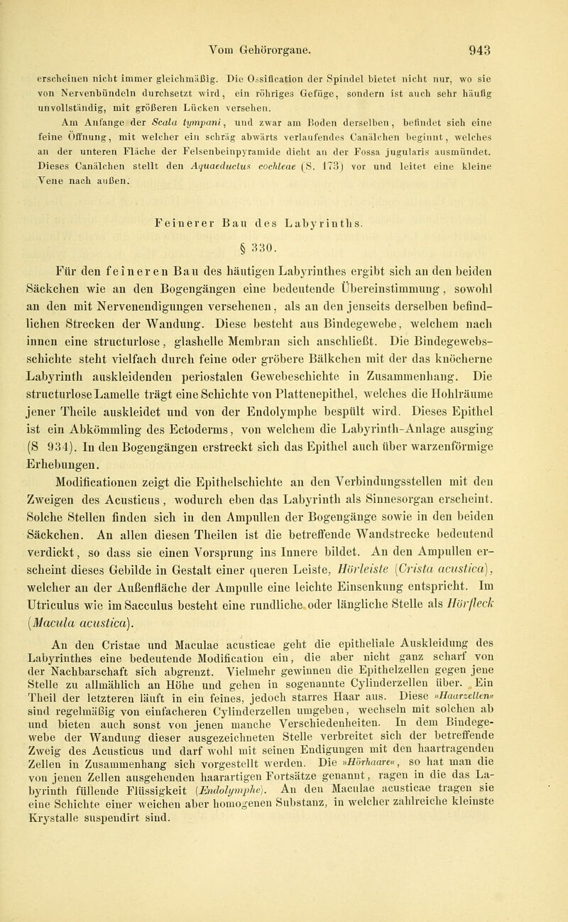 ersclieiuen nicht immer gleichmäßig. Die Oisiflcation der Spindel bietet nicht nur, wo sie von Nervenbündeln durchsetzt wird, ein rühriges Gefüge, sondern ist auch sehr häufig unvollständig, mit größeren Lücken versehen. Am Anfange der Scala tympani, und zwar am Boden derselben, befindet sich eine feine Öffnung, mit welcher ein schräg abwärts verlaufendes Canälchen beginnt, welches an der unteren Fläche der Felseubeinpyramide dicht an der Fossa jugularis ausmündet. Dieses Canälchen stellt den Aquaeductus Cochleae (ß. 173) vor und leitet eine kleine Vene nach außen: Feinerer Bau des Labyrinths. § 330. Für den feineren Bau des häutigen Labyrinthes ergibt sich an den beiden Säckchen wie an den Bogengängen eine bedeutende Übereinstimmung, sowohl an den mit Nervenendigungen versehenen, als an den jenseits derselben befind- lichen Strecken der Wandung. Diese besteht aus Bindegewebe, welchem nach innen eine structmiose, glashelle Membran sich anschließt. Die Bindegewebs- schichte steht vielfach durch feine oder gröbere Bälkchen mit der das knöcherne Labyrinth auskleidenden periostalen Gewebeschichte in Zusammenhang. Die structmiose Lamelle trägt eine Schichte von Plattenepithel, welclies die Hohlräume jener Theile auskleidet und von der Endolymphe bespült wird. Dieses Epithel ist ein Abkömmling des Ectoderms, von welchem die Labyrinth-Anlage ausging (S 934). In den Bogengängen erstreckt sich das Epithel auch über warzenförmige Erhebungen. Modificationen zeigt die Epithelschichte an den Verbindungsstellen mit den Zweigen des Acusticus , wodurch eben das Labyrinth als Sinnesorgan erscheint. Solche Stellen finden sich in den Ampullen der Bogengänge sowie in den beiden Säckchen. An allen diesen Theilen ist die betrefiende Wandstrecke bedeutend verdickt, so dass sie einen Vorsprung ins Innere bildet. An den Ampullen er- scheint dieses Gebilde in Gestalt einer queren Leiste, Hörleiste [Crista acustica), welcher an der Außenfläche der Ampulle eine leichte Einsenkung entspricht. Im Utriculus wie imSacculus besteht eine rundliche oder längliche Stelle als Hör fleck {Macula acustica). An den Cristae und Maculae acusticae geht die epitheliale Auskleidung des Labyrinthes eine bedeutende Modification ein, die aber nicht ganz scharf von der Nachbarschaft sich abgrenzt. Vielmehr gewinnen die Epitbelzellen gegen jene Stelle zu allmählich an Höhe und gehen in sogenannte Cyliuderzellen über. Ein Theil der letzteren läuft in ein feines, jedoch starres Haar aus. Diese »Haarzellen« sind regelmäßig von einfacheren Cylinderzellen umgeben, wechseln mit solchen ab und bieten auch sonst von jenen manche Verschiedenheiten. In dem Bindege- webe der Wandung dieser ausgezeichneten Stelle verbreitet sich der betreffende Zweig des Acusticus und darf wohl mit seinen Endigungen mit den haartragenden Zellen in Zusammenhang sich vorgestellt werden. Die »Hörhaarea, so hat man die von jenen Zellen ausgehenden haarartigen Fortsätze genannt, ragen in die das La- byrinth füllende Flüssigkeit [Endolymphe). An den Maculae acusticae tragen sie eine Schichte einer weichen aber homogenen Substanz, in welcher zahlreiche kleinste Krystalle suspendirt sind.