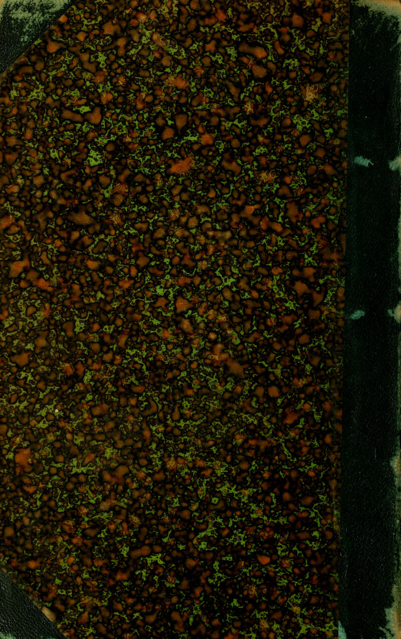 .-Af-^A -•- .4^^ ^.■^♦. -V-Ufci^. ^v^l':}^ i.*.^.